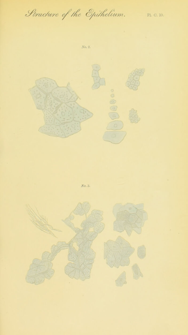 /A ~>/j , . No. -2. No. a.