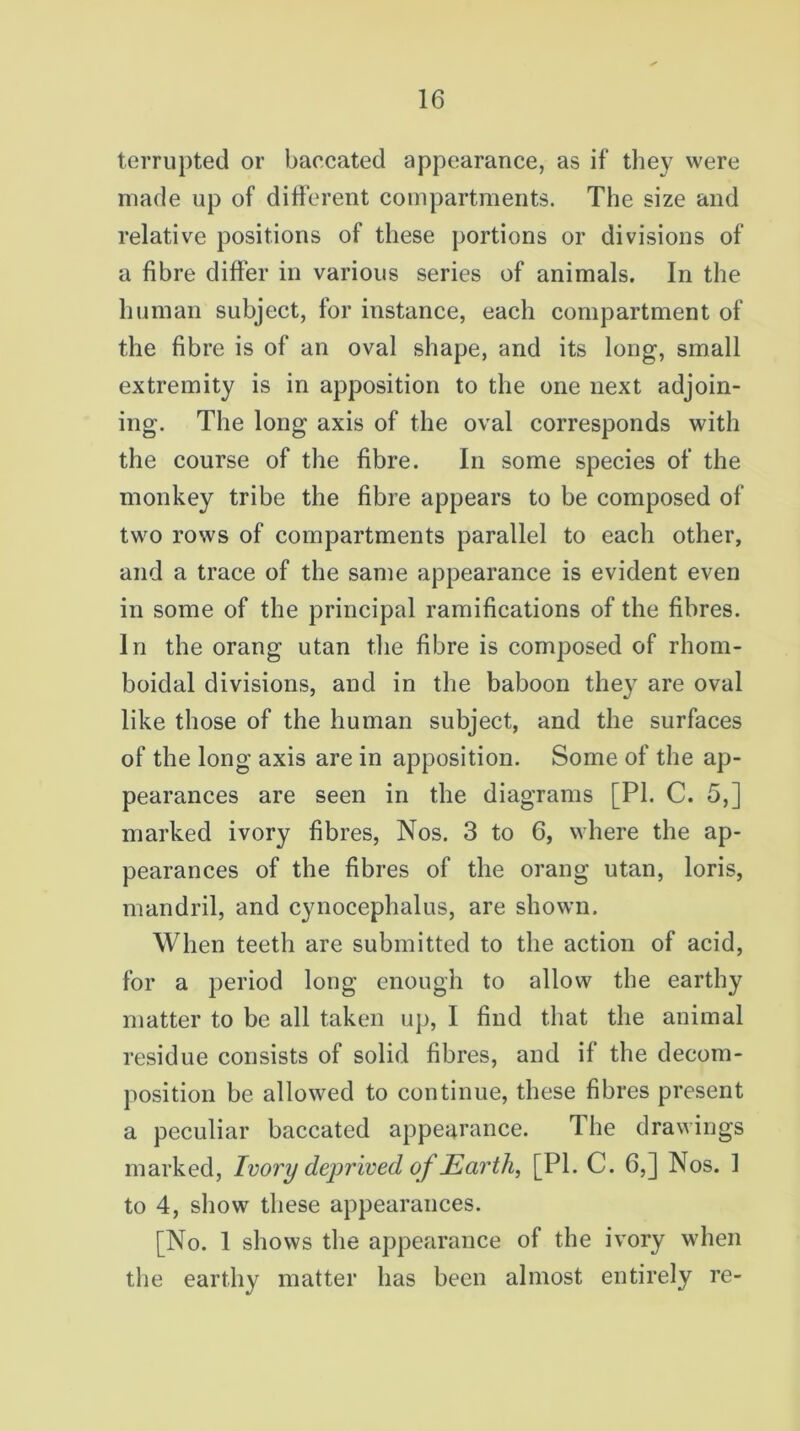 terrupted or baecated appearance, as if they were made up of different compartments. The size and relative positions of these portions or divisions of a fibre differ in various series of animals. In the human subject, for instance, each compartment of the fibre is of an oval shape, and its long, small extremity is in apposition to the one next adjoin- ing. The long axis of the oval corresponds with the course of the fibre. In some species of the monkey tribe the fibre appears to be composed of two rows of compartments parallel to each other, and a trace of the same appearance is evident even in some of the principal ramifications of the fibres. In the orang utan the fibre is composed of rhom- boidal divisions, and in the baboon they are oval like those of the human subject, and the surfaces of the long axis are in apposition. Some of the ap- pearances are seen in the diagrams [PL C. 5,] marked ivory fibres, Nos. 3 to 6, where the ap- pearances of the fibres of the orang utan, loris, mandril, and cynocephalus, are shown. When teeth are submitted to the action of acid, for a period long enough to allow the earthy matter to be all taken up, I find that the animal residue consists of solid fibres, and if the decom- position be allowed to continue, these fibres present a peculiar baecated appearance. The drawings marked, Ivory deprived of Earth, [PI. C. 6,] Nos. 1 to 4, show these appearances. [No. 1 shows the appearance of the ivory when the earthy matter has been almost entirely re-