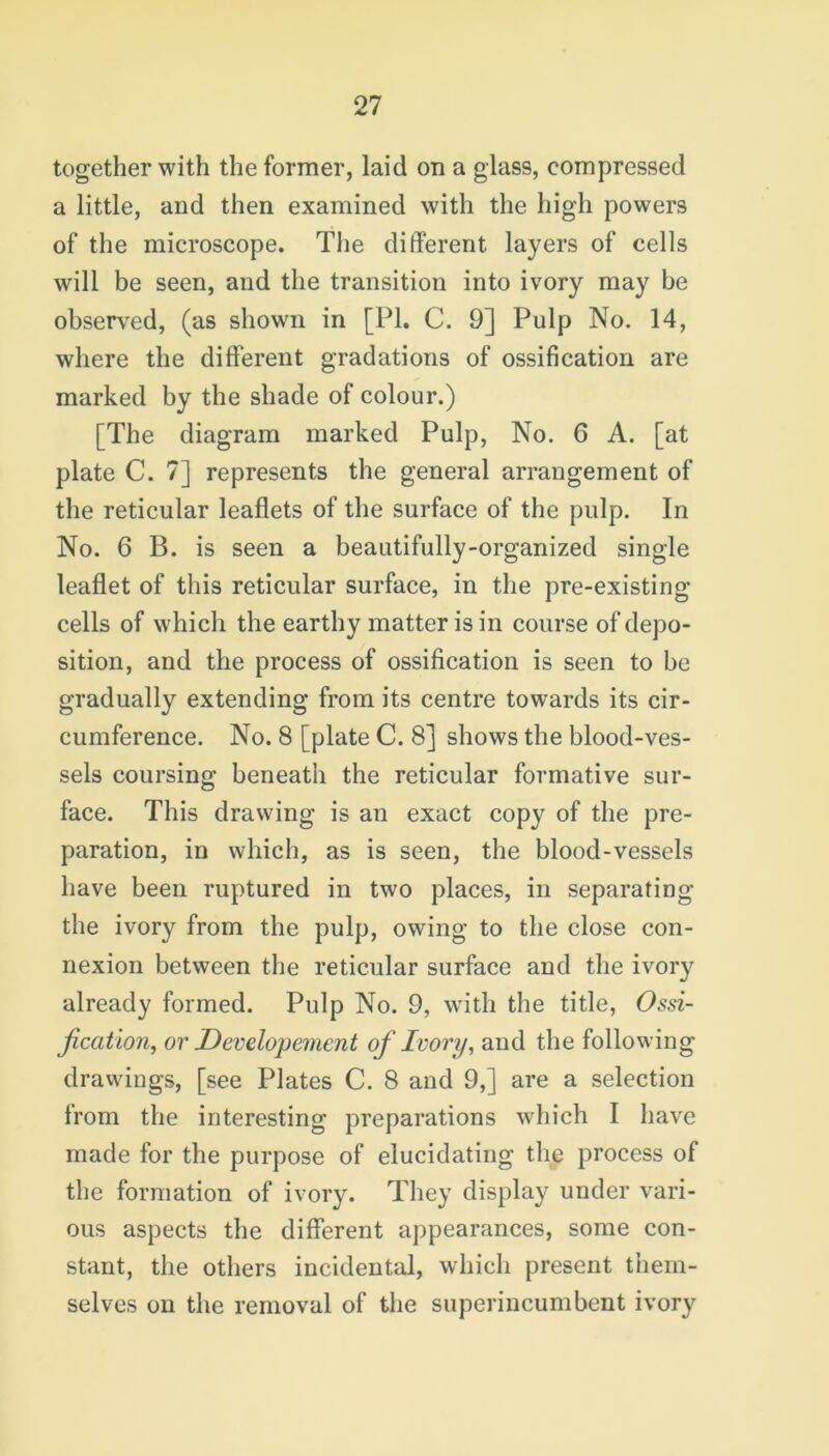 together with the former, laid on a glass, compressed a little, and then examined with the high powers of the microscope. The different layers of cells will be seen, and the transition into ivory may be observed, (as shown in [PI. C. 9] Pulp No. 14, where the different gradations of ossification are marked by the shade of colour.) [The diagram marked Pulp, No. 6 A. [at plate C. 7] represents the general arrangement of the reticular leaflets of the surface of the pulp. In No. 6 B. is seen a beautifully-organized single leaflet of this reticular surface, in the pre-existing cells of which the earthy matter is in course of depo- sition, and the process of ossification is seen to be gradually extending from its centre towards its cir- cumference. No. 8 [plate C. 8] shows the blood-ves- sels coursing beneath the reticular formative sur- face. This drawing is an exact copy of the pre- paration, in which, as is seen, the blood-vessels have been ruptured in two places, in separating the ivory from the pulp, owing to the close con- nexion between the reticular surface and the ivory already formed. Pulp No. 9, with the title, Ossi- fication, or JDevelopement of Ivory, and the following drawings, [see Plates C. 8 and 9,] are a selection from the interesting preparations which I have made for the purpose of elucidating the process of the formation of ivory. They display under vari- ous aspects the different appearances, some con- stant, the others incidental, which present them- selves on the removal of the superincumbent ivory