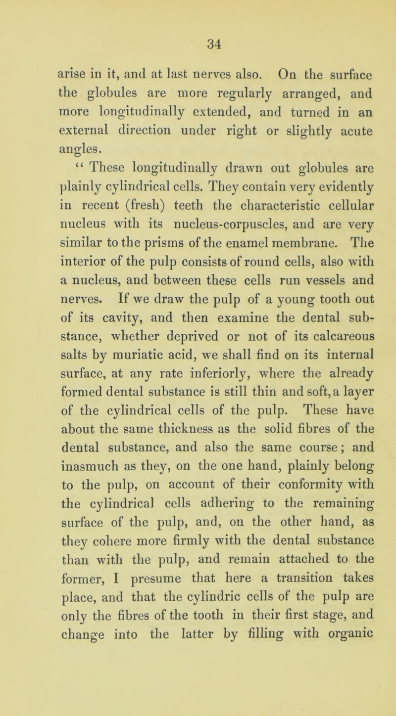 arise in it, and at last nerves also. On the surface the globules are more regularly arranged, and more longitudinally extended, and turned in an external direction under right or slightly acute angles. “ These longitudinally drawn out globules are plainly cylindrical cells. They contain very evidently in recent (fresh) teeth the characteristic cellular nucleus with its nucleus-corpuscles, and are very similar to the prisms of the enamel membrane. The interior of the pulp consists of round cells, also with a nucleus, and between these cells run vessels and nerves. If we draw the pulp of a young tooth out of its cavity, and then examine the dental sub- stance, whether deprived or not of its calcareous salts by muriatic acid, we shall find on its internal surface, at any rate inferiorly, where the already formed dental substance is still thin and soft, a layer of the cylindrical cells of the pulp. These have about the same thickness as the solid fibres of the dental substance, and also the same course; and inasmuch as they, on the one hand, plainly belong to the pulp, on account of their conformity with the cylindrical cells adhering to the remaining surface of the pulp, and, on the other hand, as they cohere more firmly with the dental substance than with the pulp, and remain attached to the former, I presume that here a transition takes place, and that the cylindric cells of the pulp are only the fibres of the tooth in their first stage, and change into the latter by filling with organic