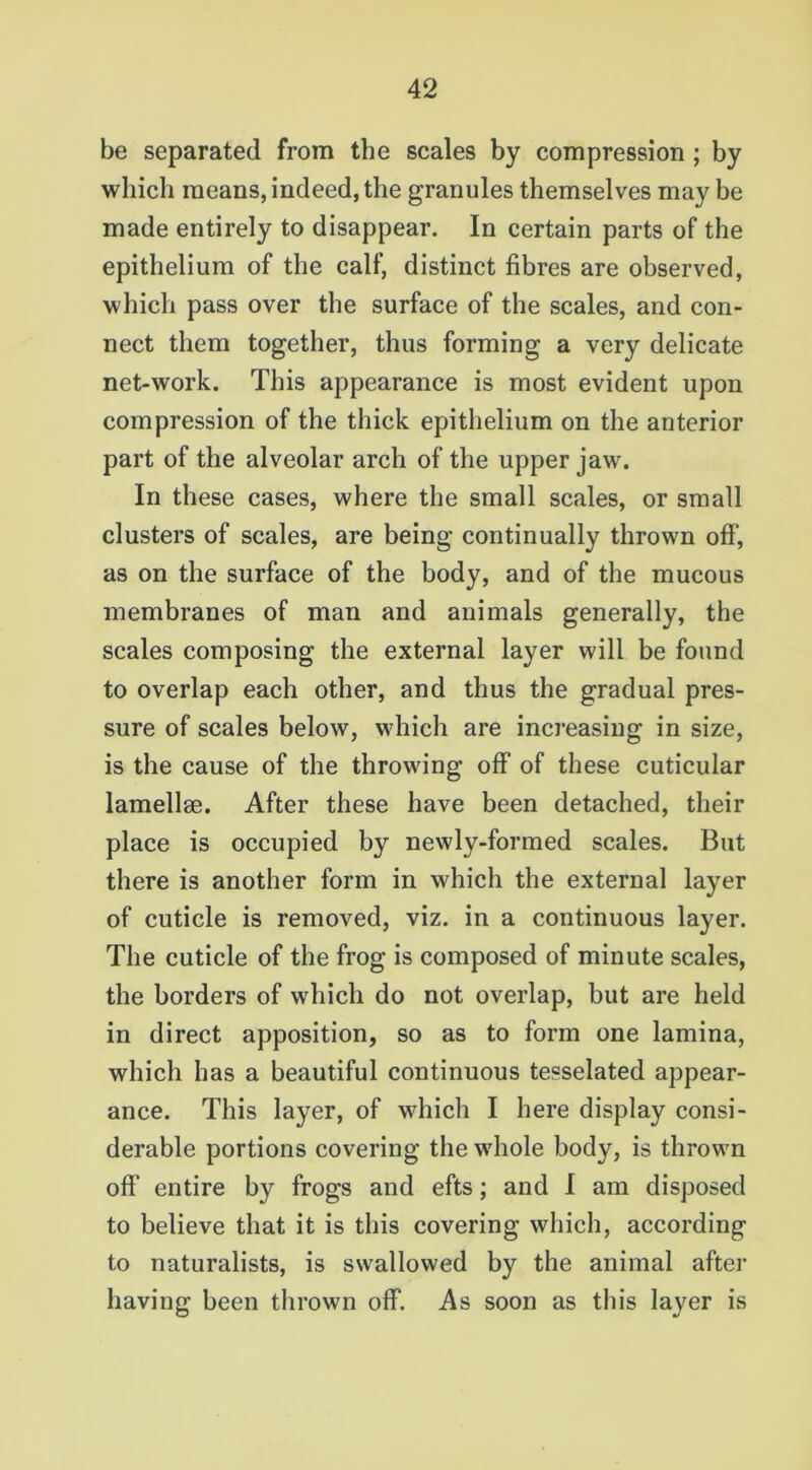 be separated from the scales by compression ; by which means, indeed, the granules themselves may be made entirely to disappear. In certain parts of the epithelium of the calf, distinct fibres are observed, which pass over the surface of the scales, and con- nect them together, thus forming a very delicate net-work. This appearance is most evident upon compression of the thick epithelium on the anterior part of the alveolar arch of the upper jaw. In these cases, where the small scales, or small clusters of scales, are being continually thrown off, as on the surface of the body, and of the mucous membranes of man and animals generally, the scales composing the external layer will be found to overlap each other, and thus the gradual pres- sure of scales below, which are increasing in size, is the cause of the throwing off of these cuticular lamellae. After these have been detached, their place is occupied by newly-formed scales. But there is another form in which the external layer of cuticle is removed, viz. in a continuous layer. The cuticle of the frog is composed of minute scales, the borders of which do not overlap, but are held in direct apposition, so as to form one lamina, which has a beautiful continuous tesselated appear- ance. This layer, of which I here display consi- derable portions covering the whole body, is thrown off entire by frogs and efts; and I am disposed to believe that it is this covering which, according to naturalists, is swallowed by the animal after having been thrown off. As soon as this layer is