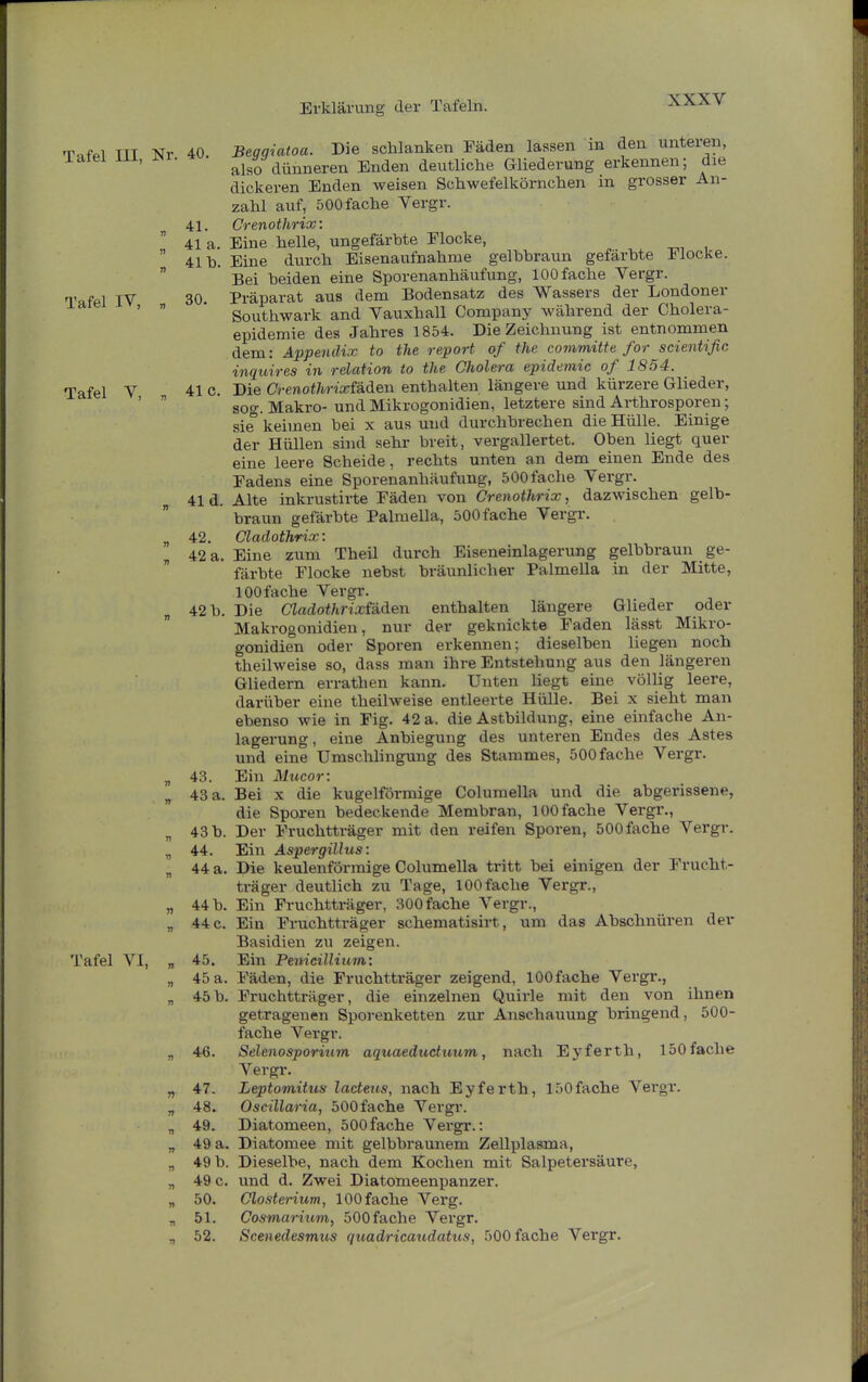 Tnfpl TTI Nr 40. Beggiatoa. Die schlanken Fäden lassen m den unteien, latel üi. JNr. also dünneren Enden deutliche Gliederung erkennen; die dickeren Enden weisen Schwefelkörnchen in grosser An- zahl auf, 500 fache Vergr. 41. Crenothrix: 41 a. Eine helle, ungefärbte Elocke,  41h. Eine durch Eisenaufnahnie gelbbraun gefärbte Elocke.  * Bei beiden eine Sporenanhäufung, 100 fache Yergr. n'afel IV 30 Präparat aus dem Bodensatz des Wassers der Londoner Southwark and Vauxhall Company während der Cholera- epidemie des Jahres 1854. Die Zeichnung ist entnommen dem: Appendix to the report of the commüte for scientific inquires in relation to the Cholera epidemic of 1854. Tafel V 41 c. Die Crenothrixfääen enthalten längere und kürzere Glieder, '  sog. Makro- und Mikrogonidien, letztere sind Arthrosporen; sie keimen bei x aus und durchbrechen die Hülle. Einige der Hüllen sind sehr breit, vergallertet. Oben liegt quer eine leere Scheide, rechts unten an dem einen Ende des Eadens eine Sporenanhäufung, 500fache Vergr. 41 d. Alte inkrustirte Fäden von Crenothrix, dazwischen gelb- braun gefärbte Palmella, 500 fache Vergr. 42. Cladothrix: 42 a. Eine zum Theil durch Eiseneinlagerung gelbbraun ge- färbte Flocke nebst bräunlicher Palmella in der Mitte, 100 fache Vergr. 42 b. Die CladothrixtÄäen enthalten längere Glieder oder Makrogonidien, nur der geknickte Faden läset Mikro- gonidien oder Sporen erkennen; dieselben liegen noch theilweise so, dass man ihre Entstehung aus den längeren Gliedern errathen kann. Unten liegt eine völlig leere, dai'über eine theilweise entleerte Hülle. Bei x sieht man ebenso wie in Fig. 42 a. die Astbildung, eine einfache An- lagerung, eine Anbiegung des unteren Endes des Astes und eine Umschlingung des Stammes, 500 fache Vergr. „ 43. Ein Mucor: „ 43 a. Bei x die kugelförmige Columella und die abgei-issene, die Sporen bedeckende Membran, 100 fache Vergr., „ 43 b. Der Fruchtträger mit den reifen Sporen, 500 fache Vergr. „ 44. Ein Aspergillus: „ 44 a. Die keulenförmige Columella tritt bei einigen der Frucht- träger deutlich zu Tage, lOOfache Vergr., „ 44 b. Ein Fruchtti-äger, 300 fache Vergr., „ 44 c. Ein Fruchtträger schematisirt, um das Abschnüren der Basidien zu zeigen. Tafel VI, „ 45. Ein PenicilUum: „ 45 a. Fäden, die Fruchtträger zeigend, lOOfache Vergr., „ 45b. Fruchtträger, die einzelnen Quirle mit den von ihnen getragenen Sporenketten zur Anschauung bringend, 500- fache Vergr. „ 46. Selenosporium aquaeduduum, nach Eyferth, 150 fache Vergr. „ 47. Leptomitus lacteus, nach Eyferth, 150fache Vei-gr. „ 48. Oscillaria, 500fache Vergr. „ 49. Diatomeen, 500fache Vergr.: „ 49 a. Diatomee mit gelbbraunem Zellplasma, „ 49 b. Dieselbe, nach dem Kochen mit Salpetersäure, „ 49 c. und d. Zwei Diatomeenpanzer. „ 50. Closterium, lOOfache Verg. „ 51. Cosmariiim, 500 fache Vergr. „ 52. Scenedesmus quadricaudatus, 500 fache Vei-gr.