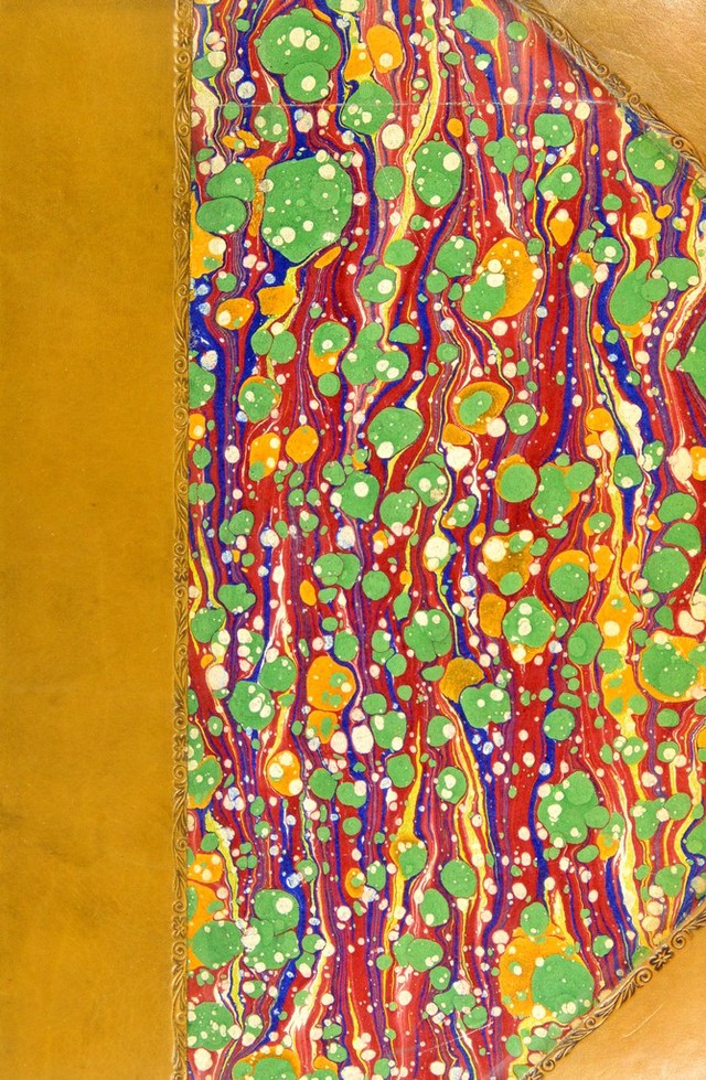 digitised image 1