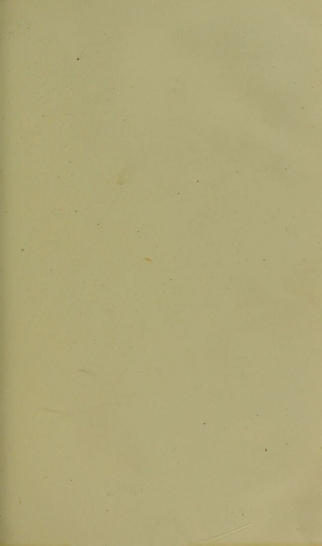 digitised image 3