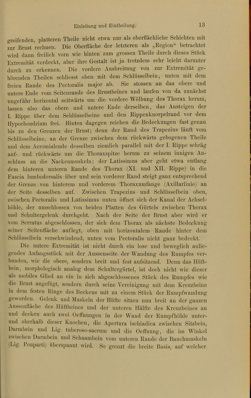 „•reifenden, platteren Tlieile nicht etwa nur als oberflächliche Schichten mit zur Brust rechnen. Die Oberfläche der letzteren als „Region“ betrachtet wird dann freilich vorn wie hinten zum grossen Tlieile durch dieses Stück Extremität verdeckt, aber ihre Gestalt ist ja trotzdem sehr leicht darunter durch zu erkennen. Die vordere Ausbreitung von zur Extremität ge- hörenden Theilen schliesst oben mit dem Schlüsselbein, unten mit dem freien Rande des Pectoralis major ab. Sie stossen an das obere und untere Ende vom Seitenrande des Brustbeines und laufen von da zunächst ungefähr horizontal seitwärts um die vordere Wölbung des Thorax herum, lassen also das obere und untere Ende derselben, das Ansteigen der I. Rippe über dem Schlüsselbeine und den Rippenknorpelrand vor dem Hvpochondrium frei. Hinten dagegen reichen die Bedeckungen fast genau bis zu den Grenzen der Brust; denn der Rand des Trapezius läuft vom Schlüsselbeine, an der Grenze zwischen dem rückwärts gebogenen Tlieile und dem Acromialende desselben ziemlich parallel mit der I. Rippe schräg auf- und rückwärts um die Thoraxspitze herum zu seinem innigen An- schluss an die Nackenmuskeln; der Latissimus aber geht etwa entlang dem hinteren unteren Rande des Thorax (XI. und Xn. Rippe) in die Fascia lumbodorsalis über und sein vorderer Rand steigt ganz entsprechend der Grenze von hinterem und vorderem Thoraxumfange (Axillarlinie) an der Seite desselben auf. Zwischen Trapezius und Schlüsselbein oben, zwischen Pectoralis und Latissimus unten öffnet sich der Kanal der Achsel- höhle, der umschlossen von beiden Platten des Gürtels zwischen Thorax und Schultergelenk durchgeht. Nach der Seite der Brust aber wird er vom Serratus abgeschlossen, der sich dem Thorax als nächste Bedeckung seiner Seitenfläche auflegt, oben mit horizontalem Rande hinter dem Schlüsselbein verschwindend, unten vom Pectoralis nicht ganz bedeckt. Die untere Extremität ist nicht durch ein lose und beweglich anlie- gendes Anfangsstück mit der Aussenseite der Wandung des Rumpfes ver- bunden, wie die obere, sondern breit und fest aufsitzend. Denn das Hüft- bein, morphologisch analog dem Schultergürte], ist doch nicht wie dieser als mobiles Glied an ein in sich abgeschlossenes Stück des Rumpfes wie die Brust angefügt, sondern durch seine Vereinigung mit dem Kreuzbeine in dem festen Ringe des Beckens mit zu einem Stück der Rumpfwandung geworden. Gelenk und Muskeln der Hüfte sitzen nun breit an der ganzen Aussenflächc des Hüftbeines und der unteren Hälfte des Kreuzbeines an und decken auch zwei Oeünungen in der Wand der Rumpf höhle unter- mal oberhalb dieser Knochen, die Apertura ischiadica zwischen Sitzbein, Daimbein und Lig. tuberoso-sacrum und die Oeffhung, die im Winkel zwischen Darmbein und Sehaambein vom unteren Rande der Bauchmuskeln (Lig. Pouparti) überspannt wird. So grenzt die breite Basis, auf welcher