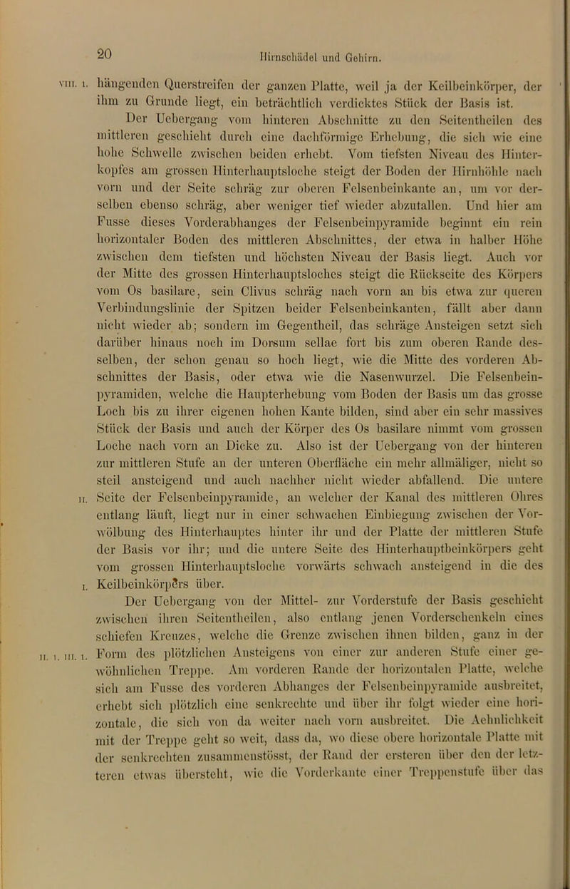 VIII. 1. ii. i. ii. i. in. t. hängenden Querstreifen der ganzen Platte, weil ja der Keilbeinkörper, der ihm zu Grunde liegt, ein beträchtlich verdicktes Stück der Basis ist. Der Ucbergang vom hinteren Abschnitte zu den Seitentheilen des mittleren geschieht durch eine dachförmige Erhebung, die sich wie eine hohe Schwelle zwischen beiden erhebt. Vom tiefsten Niveau des Hinter- kopfes am grossen Hinterhauptsloche steigt der Boden der Hirnhöhle nach vorn und der Seite schräg zur oberen Felsenbeinkante an, um vor der- selben ebenso schräg, aber weniger tief wieder abzulallen. Und hier am Fusse dieses Vorderabhanges der Felsenbeinpyramide beginnt ein rein horizontaler Boden des mittleren Abschnittes, der etwa in halber Höhe zwischen dem tiefsten und höchsten Niveau der Basis liegt. Auch vor der Mitte des grossen Hinterhauptsloches steigt die Rückseite des Körpers vom Os basilare, sein Clivus schräg nach vorn an bis etwa zur queren Verbindungslinie der Spitzen beider Felsenbeinkanten, fällt aber dann nicht wieder ab; sondern im Gegentheil, das schräge Ansteigen setzt sich darüber hinaus noch im Dorsum sellae fort bis zum oberen Rande des- selben, der schon genau so hoch liegt, wie die Mitte des vorderen Ab- schnittes der Basis, oder etwa wie die Nasemvnrzel. Die Felsenbein- pyramiden, welche die Hanpterhebung vom Boden der Basis um das grosse Loch bis zu ihrer eigenen hohen Kante bilden, sind aber ein sehr massives Stück der Basis und auch der Körper des Os basilare nimmt vom grossen Loche nach vorn an Dicke zu. Also ist der Uebergang von der hinteren zur mittleren Stufe an der unteren Oberfläche ein mehr allmäliger, nicht so steil ansteigend und auch nachher nicht wieder abfallend. Die untere Seite der Felsenbeinpyramide, an welcher der Kanal des mittleren Ohres entlang läuft, liegt nur in einer schwachen Einbiegung zwischen der Vor- wölbung des Hinterhauptes hinter ihr und der Platte der mittleren Stufe der Basis vor ihr; und die untere Seite des Hinterhauptbeinkörpers geht vom grossen Hinterhauptsloche vorwärts schwach ansteigend in die des KeilbeinkörpSrs über. Der Uebergang von der Mittel- zur Vorderstufe der Basis geschieht zwischen ihren Seitentheilen, also entlang jenen Vorderschenkeln eines schiefen Kreuzes, welche die Grenze zwischen ihnen bilden, ganz in der Form des plötzlichen Ansteigens von einer zur anderen Stufe einer ge- wöhnlichen Treppe. Am vorderen Rande der horizontalen Platte, welche sich am Fusse des vorderen Abhanges der Felsenbeinpyramide ausbreitet, erhebt sich plötzlich eine senkrechte und über ihr folgt wieder eine hori- zontale, die sieh von da weiter nach vorn ausbreitet. Die Aehnlichkeit mit der Treppe geht so weit, dass da, wo diese obere horizontale Platte mit der senkrechten zusammenstüsst, der Rand der crstcren über den der letz- teren etwas überstellt, wie die Vorderkante einer Treppenstufe über das