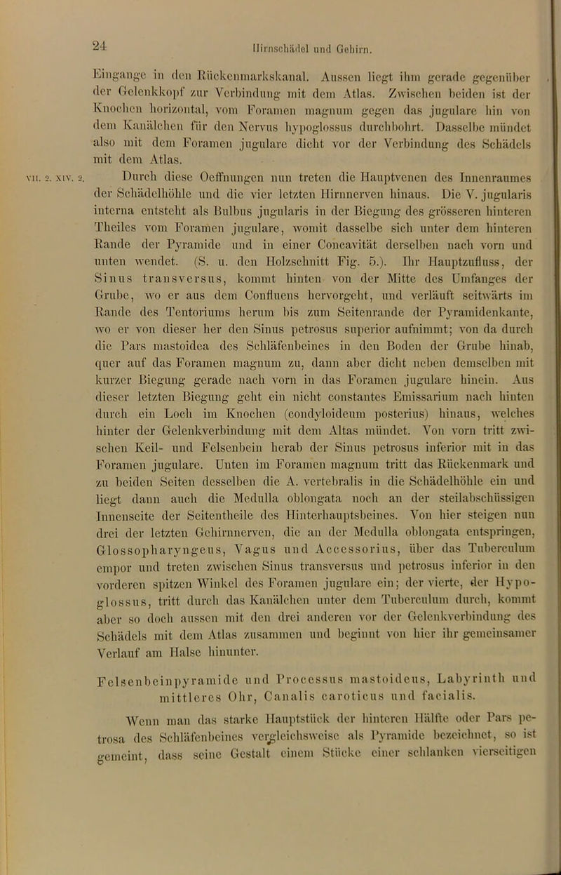 VII. Eingänge in den Rückenmarkskanal. Aussen liegt ihm gerade gegenüber der Gclcnkkopf zur Verbindung mit dem Atlas. Zwischen beiden ist der Knochen horizontal, vom Foramen magnum gegen das jugulare hin von dem Kanälchen für den Nervus hypoglossus durchbohrt. Dasselbe mündet also mit dem Foramen jugulare dicht vor der Verbindung des »Schädels mit dem Atlas. '. xiv. 2. Durch diese 0Öffnungen nun treten die Hauptvenen des Innenraumes der Schädelhöhle und die vier letzten Hirnnerven hinaus. Die V. jugularis interna entsteht als Bulbus jugularis in der Biegung des grösseren hinteren Thcilcs vom Foramen jugulare, womit dasselbe sich unter dem hinteren Rande der Pyramide und in einer Concavität derselben nach vorn und unten wendet. (S. u. den Holzschnitt Fig. 5.). Ihr Hauptzufluss, der Sinus transversus, kommt hinten von der Mitte des Umfanges der Grube, wo er aus dem Confluens hervorgebt, und verläuft seitwärts im Rande des Tentoriums herum bis zum Seitenrande der Pyramidenkante, wo er von dieser her den Sinus petrosus superior aufnimmt; von da durch die Pars mastoidea des Schläfenbeines in den Boden der Grube hinab, quer auf das Foramen magnum zu, dann aber dicht neben demselben mit kurzer Biegung gerade nach vorn in das Foramen jugulare hinein. Aus dieser letzten Biegung geht ein nicht constantes Emissarium nach hinten durch ein Loch im Knochen (condyloideum posterius) hinaus, welches hinter der Gelenkverbindung mit dem Altas mündet. Von vorn tritt zwi- schen Keil- und Felsenbein herab der Sinus petrosus inferior mit in das Foramen jugulare. Unten im Foramen magnum tritt das Rückenmark und zu beiden Seiten desselben die A. vertebralis in die Schädelhöhle ein und liegt dann auch die Medulla oblongata noch an der steilabschüssigen Innenseite der Seitentheile des Hinterhauptsbeines. Von hier steigen nun drei der letzten Gchirnnerven, die an der Medulla oblongata entspringen, Glossopharyngeus, Vagus und Accessorius, über das Tuberculum empor und treten zwischen Sinus transversus und petrosus inferior in den vorderen spitzen Winkel des Foramen jugulare ein; der vierte, der Hypo- glossus, tritt durch das Kanälchen unter dem Tuberculum durch, kommt aber so doch aussen mit den drei anderen vor der Gelenkverbindung des Schädels mit dem Atlas zusammen und beginnt von hier ihr gemeinsamer Verlauf am Halse hinunter. Felsenbeinpyramide und Processus mastoidcus, Labyrinth und mittleres Öhr, Canalis caroticus lind facialis. Wenn man das starke Hauptstück der hinteren Hälfte oder Pars pe- trosa des Schläfenbeines vergleichsweise als Pyramide bezeichnet, so ist gemeint, dass seine Gestalt einem Stücke einer schlanken vierseitigen