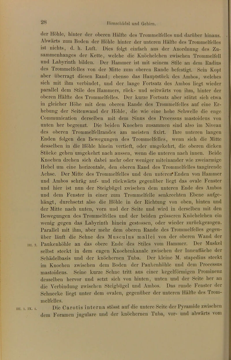 28 der Höhle, hinter der oberen Hälfte des Trommelfelles und darüber hinaus. Abwärts zum Boden der Höhle hinter der unteren Hälfte des Trommelfelles ist nichts, d. li. Luft. Dies folgt einfach aus der Anordnung des Zu- sammenhanges der Kette, welche die Knöchelchen zwischen Trommelfell und Labyrinth bilden. Der Hammer ist mit seinem Stile an dem Radius des Trommelfelles von der Mitte zum oberen Rande befestigt. Sein Kopt aber überragt diesen Rand; ebenso das Hauptstück des Ambos, welches sich mit ihm verbindet, und der lange Fortsatz des Ambos liegt wieder parallel dem Stile des Hammers, rück- und seitwärts von ihm, hinter der oberen Hälfte des Trommelfelles. Der kurze Fortsatz aber stützt sich etwa in gleicher Höhe mit dem oberen Rande des Trommelfelles auf eine Er- hebung der Seitenwand der Höhle, die wie eine hohe Schwelle die enge Communication derselben mit dem Sinus des Processus mastoidcus von unten her begrenzt. Die beiden Knochen zusammen sind also im Niveau des oberen Trommelfellrandes am meisten fixirt. Ihre unteren langen Enden folgen den Bewegungen des Trommelfelles, wenn sich die Mitte desselben in die Höhle hinein vertieft, oder umgekehrt, die oberen dicken Stücke gehen umgekehrt nach aussen, wenn die unteren nach innen. Beide Knochen drehen sich dabei mehr oder weniger miteinander wie zweiarmige Hebel um eine horizontale, den oberen Rand des Trommelfelles tangirende Achse. Der Mit'te des Trommelfelles und den unteren* Enden von Hammer und Ambos schräg auf- und rückwärts gegenüber liegt das ovale Fenster und hier ist nun der Steigbügel zwischen dem unteren Ende des Ambos und dem Fenster in einer zum Trommelfelle senkrechten Ebene aufge- hängt, durchsetzt also die Höhle in der Richtung von oben, hinten und der Mitte nach unten, vorn und der Seite und wird in derselben mit den Bewegungen des Trommelfelles und der beiden grösseren Knöchelchen ein wenig gegen das Labyrinth hinein gestossen, oder wieder zurückgezogen. Parallel mit ihm, aber mehr dem oberen Rande des Trommelfelles gegen- über läuft die Sehne des Musculus mal lei von der oberen Wand der m. 2. Paukenhöhle an das obere Ende des Stiles vom Hammer. Der Muskel selbst steckt in dem engen Knochenkanale zwischen der Innenfläche der Schädelbasis und der knöchernen Tuba. Der kleine M. stapedius steckt im Knochen zwischen dem Boden der Paukenhöhle und dem Processus mastoicleus. Seine kurze Sehne tritt aus einer kegelförmigen Prominenz desselben hervor und setzt sich von hinten, unten und der Seite her an die Verbindung zwischen Steigbügel und Ambos. Das runde Fenster der Schnecke liegt unter dem ovalen, gegenüber der unteren Hälfte des Trom- melfelles. Die Carotis interna stösst auf die untere Seite der Pyramide zwischen dem Foramen jugulare und der knöchernen Tuba, vor- und abwärts vom III. 1. IX. 1.