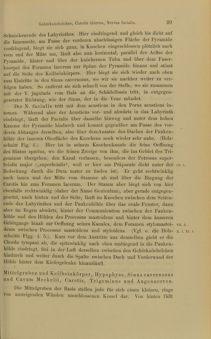 Goliörluiöchelchen, Carotis interna, Nervus facialis. Schneckehende des Labyrinthes. Hier eindringend und gleich bis dicht auf die Innenseite, am Fusse der vorderen abschüssigen Fläche der Pyramide vordringend, biegt sie sich ganz, in Knochen eingeschlossen plötzlich nach vorn und der Mitte um, läuft also nun horizontal, parallel der Achse der Pyramide, hinter und über der knöchernen Tuba und iibci dem laser- knorpel des Foramen laccrum zur Spitze der Pyramide hinaus und stösst auf die Seite des Keilbeinkörpers. Hier biegt sie sich wieder nach oben zum Eintritte in den Sinus cavernosus, wo wir sie nachher weiter zu ver- folgen haben. So entfernt sie sich schnell von der Stelle, wo sie zusammen mit der V. jugularis vom Hals an die. Schädelbasis tritt, in entgegen- gesetzter Richtung, wie der Sinus, der in die Vene mündet. Der N. facialis tritt mit dem acusticus in den Porus acusticus in- ternus. Während aber der Acusticus vor- und abwärts in das Labyrinth eindringt, läuft der Facialis über dasselbe hinweg und unter dem hohen Kamme der Pyramide hindurch und kommt gegenüber am Fusse des vor- deren Abhanges derselben, also über demAnsatze des Daches der Pauken- höhle der inneren Oberfläche des Knochens noch wieder sehr nahe. (Holz- schnitt Fig. 4.). Hier ist in seinem Knoclienkanale die feine Oeffnung des Hiatus spurius, wo die feinen Zweige von ihm, die ins Gebiet des Tri- geminus übergehen, den Kanal verlassen, besonders der Petrosus super- ficialis major („superficialis“, weil er hier am Präparate dicht unter der ni. 1 Bedeckung durch die Dura mater zu finden ist). Er geht rechtwinklig nach innen und der Mitte vom Stamme ab und über die Biegung der Carotis hin zum Foramen lacerum. Der Stamm aber biegt sich von hier ebenfalls rechtwinklig (daher der Name Geniculum), aber gerade entgegen- gesetzt, nach hinten und der Seite, läuft im Knochen zwischen dem Seiten- ende des Labyrinthes und der Paukenhöhle über das ovale Fenster, dann aber im Bogen abwärts, hinter der Communication zwischen der Pauken- höhle und den Höhlen des Processus mastoideus und hinter dem äusseren Gehörgange hinab zur Oeffnung seines Kanales, dem Foramen stylomastoi- vn. deum zwischen Processus mastoideus und styloideus. (Vgl. o. die Holz- x. 1. schnitte E igg. 4. 5.). Kurz vor dem Austritte aus demselben giebt er die Chorda tympani ah, die spitzwinklig nach oben umbiegend in die Pauken- höhle eindringt, frei in der Luft derselben zwischen den Gehörknöchelchen liindui cli und weiter durch die Spalte zwischen Dach und Vorderwand der Höhle hinter dem Kiefergelenke hinausläuft. Mittelgruben und Keilbeinkörper, Hypophyse, Sinus cavernosus und Cavum Meckelii, Carotis, Trigeminus und A ugen nerven. Die Mittelgruben der Basis stellen jede für sich einen kleinen, rings von ^'steigenden Wänden umschlossenen Kessel dar. Von hinten fällt 2. XI. 1.