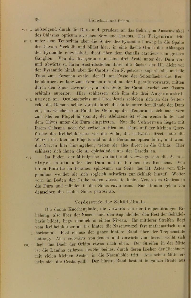 v. l. 2. auf steigend durch die Dura und geradezu an das Gehirn, im Ausscnwiukel des ( hiasma opticum zwischen Nerv und Tractus. Der Trigeminus tritt m. 2. unter dem Tentorium über die Spitze der Pyramide hinweg in die Spalte des Cavum Meckelii und bildet hier, in eine flache Grube des Abhanges der Pyramide eingebettet, dicht über dem Canalis caroticus sein grosses Ganglion. Von da divergiren nun seine drei Aestc unter der Dura vor- und abwärts zu ihren Austrittsstellen durch die Basis: der III. dicht vor der Pyramide hinab über die Carotis, den N. petrosus superficialis und die Tuba zum Foramen ovale, der II. am Fasse der Seitenfläche des Keil- beinkörpers entlang zum Foramen rotundum, der I. gerade vorwärts, mitten durch den Sinus cavernosus, an der Seite der Carotis vorbei zur Fissura orbitalis superior. Hier schliessen sich ihm die drei Augenmuskel- v. 2. nerven an. Oculomotorius und Trochlearis schieben sich an der Seiten- ecke des Dorsum sellae vorbei durch die Falte unter dem Rande der Dura ein, mit welchem der Rand der Oeffnung des Tentoriums sich nach vorn zum kleinen Flügel hinspannt; der Abducens ist schon weiter hinten aut dem Clivus unter die Dura eingetreten. Nur die Sehnerven liegen mit ihrem Chiasma noch frei zwischen Hirn und Dura auf der kleinen Quer- furche des Keilbeinkörpers vor der Sella, die seitwärts direct unter die Wurzel des kleinen Flügels und in die Foramina optica führt, und wenn die Nerven hier hineingehen, treten sie also direct in die Orbita. Hier schliesst sich ihnen die A. ophthalmica aus der Carotis an. v. 2. Im Boden der Mittelgrube verläuft und verzweigt sich die A. me- ningea media unter der Dura und in Furchen des Knochens. Von ihrem Eintritte im Foramen spinosum, zur Seite des III. Astes vom Tri- geminus wendet sie sich sogleich seitwärts zur Schläfe hinauf. Weiter vorn im Boden der Grube treten zerstreute kleine Venen des Gehirns in die Dura und münden in den Sinus cavernosus. Nach hinten gehen von demselben die beiden Sinus petrosi ab. Vorderstufe der Schädelbasis. Die dünne Knochenplatte, die vorwärts von der treppenförmigen Er- hebung, also über der Nasen- und den Augenhöhlen den Rest der Schädel- basis bildet, liegt ziemlich in einem Niveau. Ihr mittlerer Streifen liegt vom Keilbeinkörper an bis hinter die Nasenwurzel fast mathematisch rein i. horizontal. Fast ebenso der ganze hintere Rand über der Treppenstufe entlang. Aber seitwärts von jenem und vorwärts von diesem wölbt sich vn. i. doch das Dach der Orbita etwas nach oben. Der Streifen in der Mitte ist die Lamina cribrosa des Siebbeines, durch deren Löcher der Riechnerv mit vielen kleinen Aesten in die Nasenhöhle tritt. Aus seiner Mitte er- hebt sich die Crista galli. Der hintere Rand besteht in ganzer Breite aus