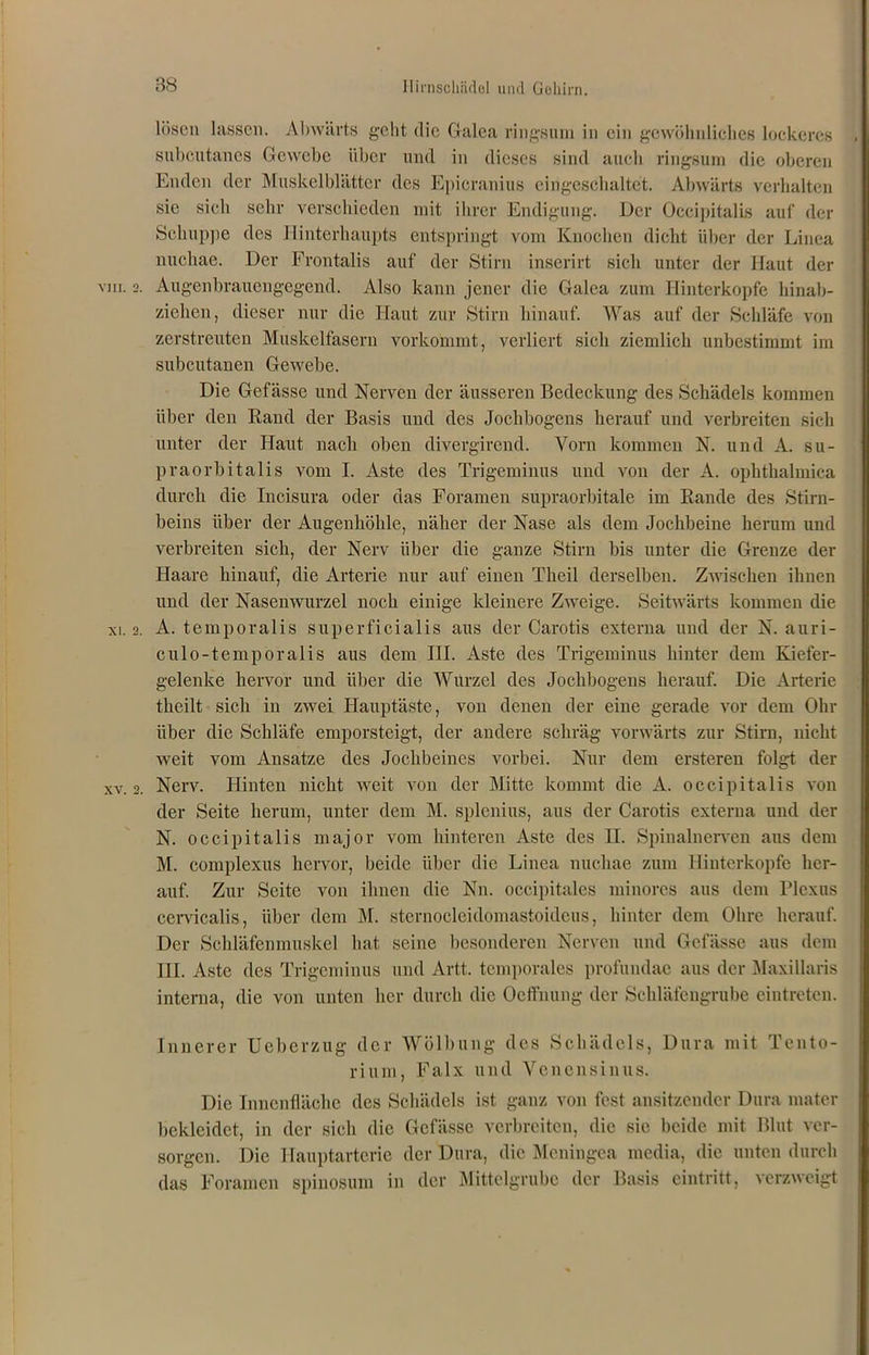 lösen lassen. Abwärts geht die Galea ringsum in ein gewöhnliches lockeres subcutanes Gewebe über und in dieses sind auch ringsum die oberen Enden der Muskelblätter des Epicranius eingeschaltet. Abwärts verhalten sie sich sehr verschieden mit ihrer Endigung. Der Occipitalis auf der Schuppe des Hinterhaupts entspringt vom Knochen dicht über der Linea nuchae. Der Frontalis auf der Stirn inserirt sich unter der Haut der viii. 2. Augenbrauengegend. Also kann jener die Galea zum Hinterkopfe hinab- ziehen, dieser nur die Haut zur Stirn hinauf. Was auf der Schläfe von zerstreuten Muskelfasern vorkommt, verliert sich ziemlich unbestimmt im subcutanen Gewebe. Die Gefässe und Nerven der äusseren Bedeckung des Schädels kommen über den Rand der Basis und des Jochbogens herauf und verbreiten sich unter der Haut nach oben divergirend. Vorn kommen N. und A. su- praorbitalis vom I. Aste des Trigeminus und von der A. ophthalmica durch die Incisura oder das Foramen supraorbitale im Rande des Stirn- beins über der Augenhöhle, näher der Nase als dem Jochbeine herum und verbreiten sich, der Nerv über die ganze Stirn bis unter die Grenze der Haare hinauf, die Arterie nur auf einen Theil derselben. Zwischen ihnen und der Nasenwurzel noch einige kleinere Zweige. Seitwärts kommen die xi. 2. A. temporalis superficialis aus der Carotis externa und der N. auri- culo-temporalis aus dem III. Aste des Trigeminus hinter dem Kiefer- gelenke hervor und über die Wurzel des Jochbogens herauf. Die Arterie theilt sich in zwei Hauptäste, von denen der eine gerade vor dem Ohr über die Schläfe emporsteigt, der andere schräg vorwärts zur Stirn, nicht weit vom Ansätze des Jochbeines vorbei. Nur dem ersteren folgt der xv. 2. Nerv. Hinten nicht weit von der Mitte kommt die A. occipitalis von der Seite herum, unter dem M. splcnius, aus der Carotis externa und der N. occipitalis major vom hinteren Aste des H. Spinalnerven aus dem M. complexus hervor, beide über die Linea nuchae zum Hinterkopfe her- auf. Zur Seite von ihnen die Nn. occipitales minorcs aus dem Plexus ccrvicalis, über dem M. sternocleidomastoideus, hinter dem Ohre herauf. Der Schläfenmuskel hat seine besonderen Nerven und Gefässe aus dem IH. Aste des Trigeminus und Artt. temporales profundae aus der Maxillaris interna, die von unten her durch die Ocffnung der Schläfengrube eintreten. Innerer Uebcrzug der Wölbung des Schädels, Dura mit Tento- rium, Falx und Venensinus. Die Innenfläche des Schädels ist ganz von fest ansitzender Dura mater bekleidet, in der sich die Gefässe verbreiten, die sic beide mit Blut ver- sorgen. Die Hauptarterie der Dura, die Meningea media, die unten durch das Foramen spinosum in der Mittelgrube der Basis eintritt, verzweigt