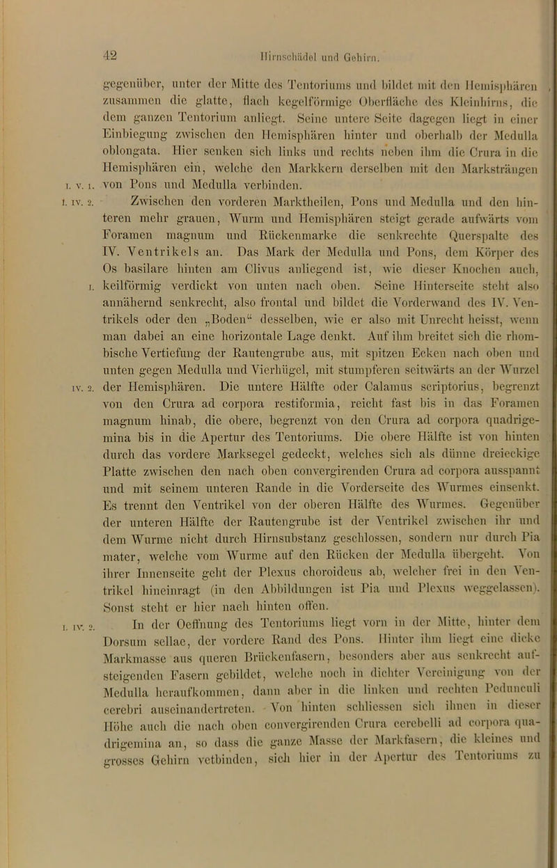 gegenüber, unter der Mitte des Tentoriums und bildet rnit den Hemisphären zusammen die glatte, flach kegelförmige Oberfläche des Kleinhirns, die dem ganzen Tcntorium anliegt. Seine untere Seite dagegen liegt in einer Einbiegung zwischen den Hemisphären hinter und oberhalb der Medulla oblongata. Hier senken sich links und rechts neben ihm die Crura in die Hemisphären ein, welche den Markkern derselben mit den Marksträngen . v. i. von Pons und Medulla verbinden. iv. 2. Zwischen den vorderen Marktheilen, Pons und Medulla und den hin- teren mehr grauen, Wurm und Hemisphären steigt gerade aufwärts vom Foramen magnum und Rückenmarke die senkrechte Querspalte des IV. Ventrikels an. Das Mark der Medulla und Pons, dem Körper des Os basilare hinten am Clivus anliegend ist, wie dieser Knochen auch, i. keilförmig verdickt von unten nach oben. Seine Hinterseite steht also annähernd senkrecht, also frontal und bildet die Vorderwand des IV. Ven- trikels oder den „Boden“ desselben, wie er also mit Unrecht heisst, wenn man dabei an eine horizontale Lage denkt. Auf ihm breitet sich die rhom- bische Vertiefung der Rautengrube aus, mit spitzen Ecken nach oben und unten gegen Medulla und Vierhügel, mit stumpferen seitwärts an der Wurzel iv. 2. der Hemisphären. Die untere Hälfte oder Calamus scriptorius, begrenzt von den Crura ad corpora restiformia, reicht fast bis in das Foramen magnum hinab, die obere, begrenzt von den Crura ad corpora quadrige- mina bis in die Apertur des Tentoriums. Die obere Hälfte ist von hinten durch das vordere Marksegel gedeckt, welches sich als dünne dreieckige Platte zwischen den nach oben convergirenden Crura ad corpora ausspannt und mit seinem unteren Rande in die Vorderseite des Wurmes einsenkt. Es trennt den Ventrikel von der oberen Hälfte des Wurmes. Gegenüber der unteren Hälfte der Rautengrube ist der Ventrikel zwischen ihr und dem Wurme nicht durch Hirnsubstanz geschlossen, sondern nur durch Pia mater, welche vom Wurme auf den Rücken der Medulla übergeht. Von ihrer Innenseite geht der Plexus choroidcus ab, welcher frei in den Ven- trikel hineinragt (in den Abbildungen ist Pia und Plexus weggelassen). Sonst steht er hier naeh hinten offen. iv. o. In der Oeffnung des Tentoriums liegt vorn in der Mitte, hinter dem Dorsum sellac, der vordere Rand des Pons. Hinter ihm liegt eine dicke Markmasse aus queren Brückenfasern, besonders aber aus senkrecht auf- steigenden Fasern gebildet, welche noch in dichter Vereinigung von der Medulla heraufkommen, dann aber in die linken und rechten Pedunculi cerebri auseinandertreten. Von hinten schlicssen sich ihnen in dieser Höhe auch die nach oben convergirenden Crura cerebelli ad corpora qua- drigemina an, so dass die ganze Masse der Markfasern, die kleines und grosses Gehirn vctbiiulen, sicli hier in der Apertur des Tentoriums zu