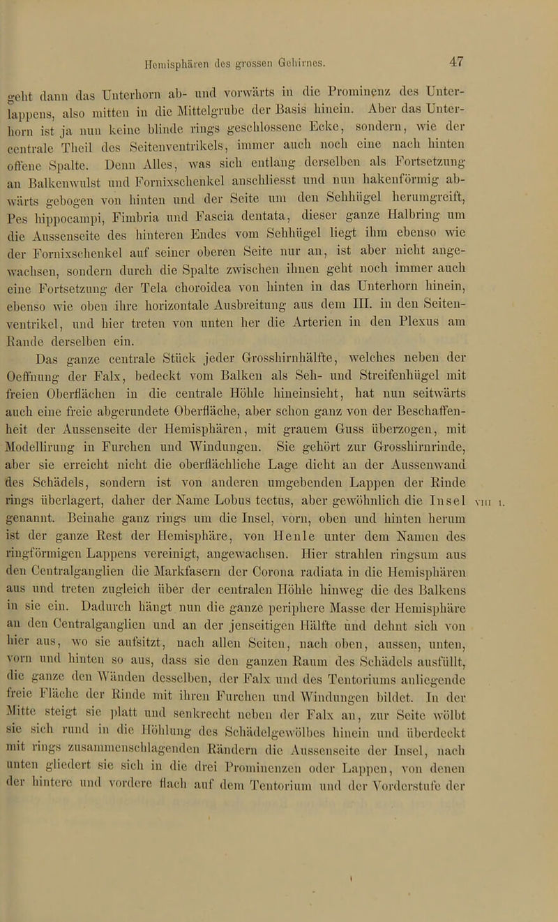 geht dann das Unterhorn ab- und vorwärts in die Prominenz des Unter- lappens, also mitten in die Mittelgrube der Basis hinein. Aber das Unter- horn ist ja nun keine blinde rings geschlossene Ecke, sondern, wie der centrale Theil des Seitenventrikels, immer auch noch eine nach hinten offene Spalte. Denn Alles, was sich entlang derselben als Fortsetzung an Balkenwulst und Fornixsclienkel anschliesst und nun hakenförmig ab- wärts gebogen von hinten und der Seite um den Sehhiigel herumgreift, Pes hippocampi, Fimbria und Fascia dentata, dieser ganze Halbring um die Aussenseite des hinteren Endes vom Sehliügel liegt ihm ebenso wie der Fornixsclienkel auf seiner oberen Seite nur an, ist aber nicht ange- wachsen, sondern durch die Spalte zwischen ihnen geht noch immer auch eine Fortsetzung der Tela choroidea von hinten in das Unterhorn hinein, ebenso wie oben ihre horizontale Ausbreitung aus dem III. in den Seiten- ventrikel, und hier treten von unten her die Arterien in den Plexus am Rande derselben ein. Das ganze centrale Stück jeder Grosshirnhälfte, welches neben der Oeffnung der Falx, bedeckt vom Balken als Seil- und Streifenhügel mit freien Oberflächen in die centrale Höhle hineinsieht, hat nun seitwärts auch eine freie abgerundete Oberfläche, aber schon ganz von der Beschaffen- heit der Aussenseite der Hemisphären, mit grauem Guss überzogen, mit Modellirung in Furchen und Windungen. Sie gehört zur Grosshirnrinde, aber sie erreicht nicht die oberflächliche Lage dicht an der Aussenwanu des Schädels, sondern ist von anderen umgebenden Lappen der Rinde rings überlagert, daher der Name Lobus tectus, aber gewöhnlich die Insel genannt. Beinahe ganz rings um die Insel, vorn, oben und hinten herum ist der ganze Rest der Hemisphäre, von Henle unter dem Namen des ringförmigen Lappens vereinigt, angewachsen. Hier strahlen ringsum aus den Centralganglien die Markfasern der Corona radiata in die Hemisphären aus und treten zugleich über der centralen Höhle hinweg die des Balkens in sie ein. Dadurch hängt nun die ganze periphere Masse der Hemisphäre an den Centralganglien und an der jenseitigen Hälfte und dehnt sich von hier aus, wo sie aufsitzt, nach allen Seiten, nach oben, aussen, unten, vorn und hinten so aus, dass sie den ganzen Raum des Schädels ausfüllt, die ganze den Wänden desselben, der Falx und des Tentoriums anliegende freie Hache der Rinde mit ihren Furchen und Windungen bildet. In der Mitte steigt sie platt und senkrecht neben der Falx an, zur Seite wölbt sie sich rund in die Höhlung des Schädelgewölbes hinein und überdeckt mit rings zusammenschlagenden Rändern die Aussenseite der Insel, nach nuten gliedert sie sich in die drei Prominenzen oder Lappen, von denen der hintere und vordere flach auf dem Tentorium und der Vorderstufe der VIII 1. I