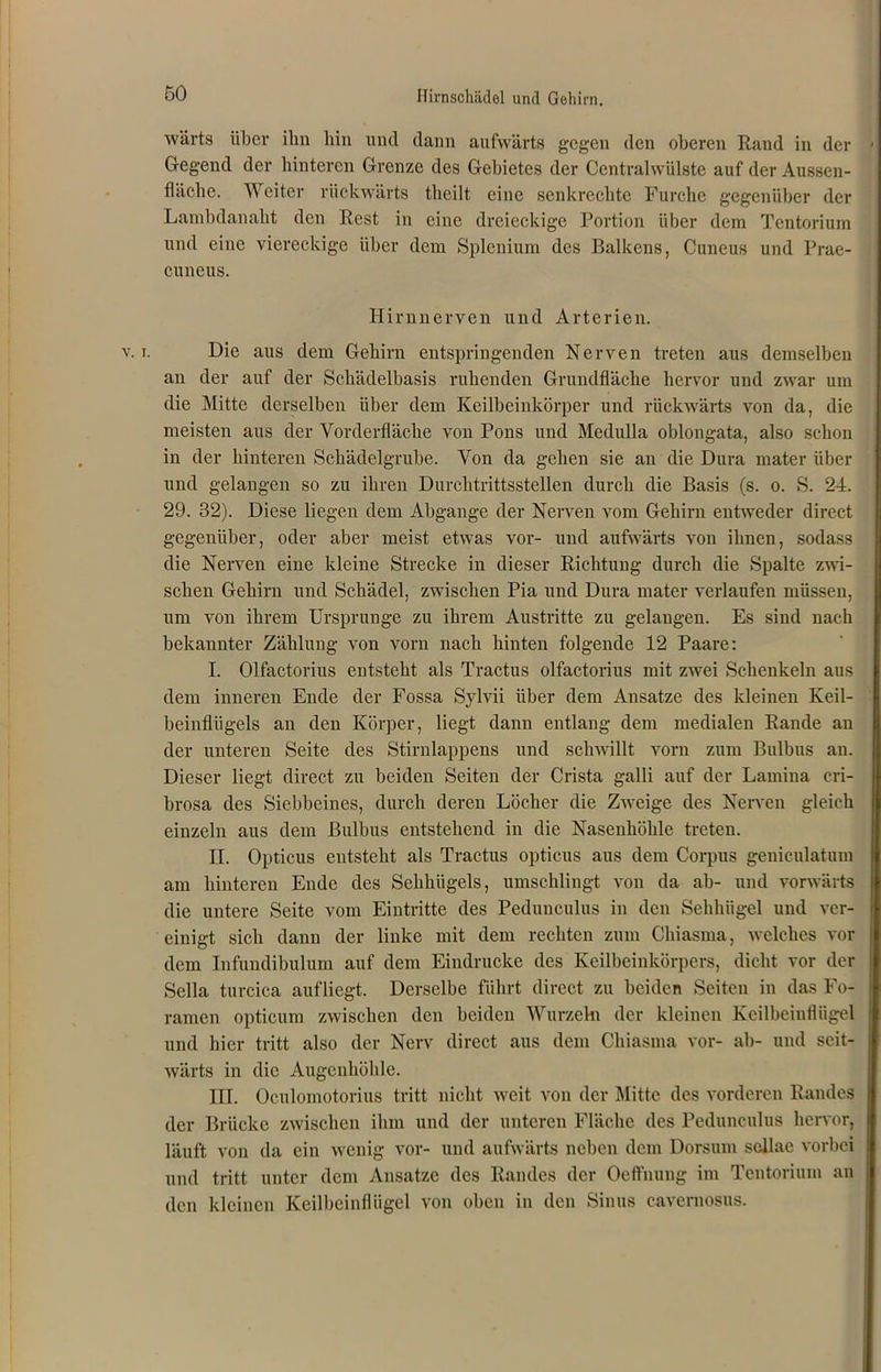 wärts über ihn hin und dann aufwärts gegen den oberen Rand in der Gegend der hinteren Grenze des Gebietes der Centralwülste auf der Aussen- fhichc. Weiter rückwärts theilt eine senkrechte Furche gegenüber der Lambdanaht den Rest in eine dreieckige Portion über dem Tentorium und eine viereckige über dem Splenium des Balkens, Cuneus und Prae- cuneus. Hirnnerven und Arterien. t. Die aus dem Gehirn entspringenden Nerven treten aus demselben an der auf der Schädelbasis ruhenden Grundfläche hervor und zwar um die Mitte derselben über dem Keilbeinkörper und rückwärts von da, die meisten aus der Vorderfläche von Pons und Medulla oblongata, also schon in der hinteren Schädelgrube. Von da gehen sie an die Dura mater über und gelangen so zu ihren Durchtrittsstellen durch die Basis (s. o. S. 24. 29. 32). Diese liegen dem Abgänge der Nerven vom Gehirn entweder direct gegenüber, oder aber meist etwas vor- und aufwärts von ihnen, sodass die Nerven eine kleine Strecke in dieser Richtung durch die Spalte zwi- schen Gehirn und Schädel, zwischen Pia und Dura mater verlaufen müssen, um von ihrem Ursprünge zu ihrem Austritte zu gelangen. Es sind nach bekannter Zählung von vorn nach hinten folgende 12 Paare: I. Olfactorius entsteht als Tractus olfactorius mit zwei Schenkeln aus dem inneren Ende der Fossa Sylvii über dem Ansätze des kleinen Keil- beinfliigels an den Körper, liegt dann entlang dem medialen Rande an der unteren Seite des Stirnlappens und schwillt vorn zum Bulbus an. Dieser liegt direct zu beiden Seiten der Crista galli auf der Lamina cri- brosa des Siebbeines, durch deren Löcher die Zweige des Nerven gleich einzeln aus dem Bulbus entstehend in die Nasenhöhle treten. II. Opticus entsteht als Tractus opticus aus dem Corpus geniculatum am hinteren Ende des Sehhiigels, umschlingt von da ab- und vorwärts die untere Seite vom Eintritte des Pedunculus in den Sehhiigel und ver- einigt sich dann der linke mit dem rechten zum Chiasma, welches vor dem Infundibulum auf dem Eindrücke des Keilbeinkörpers, dicht vor der Sella turcica auf liegt. Derselbe führt direct zu beiden Seiten in das Fo- ramen opticum zwischen den beiden Wurzeln der kleinen Keilbeinflügel und hier tritt also der Nerv direct aus dem Chiasma vor- ab- und seit- wärts in die Augenhöhle. III. Oculomotorius tritt nicht weit von der Mitte des vorderen Randes der Brücke zwischen ihm und der unteren Fläche des Pedunculus hervor, läuft von da ein wenig vor- und aufwärts neben dem Dorsum scllae vorbei und tritt unter dem Ansätze des Randes der Oeffnung im Tentorium an den kleinen Keilbeinflügel von oben in den Sinus cavernosus.