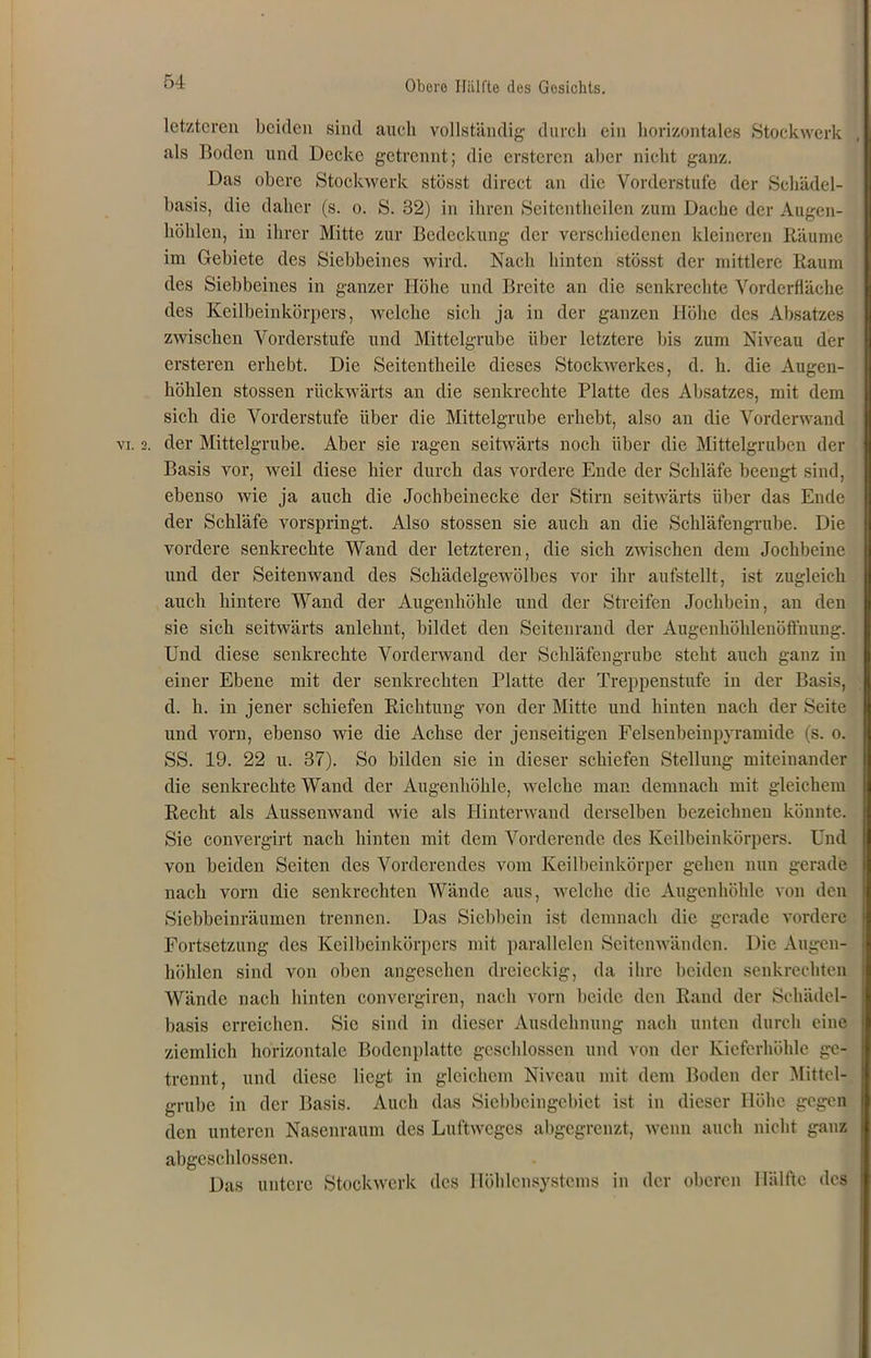 letzteren beiden sind auch vollständig durch ein horizontales Stockwerk als Boden und Decke getrennt; die ersteren aber nicht ganz. Das obere Stockwerk stösst direct an die Vorderstufe der Schädel- basis, die daher (s. o. S. 32) in ihren Seitentheilen zum Dache der Augen- höhlen, in ihrer Mitte zur Bedeckung der verschiedenen kleineren Räume im Gebiete des Siebbeines wird. Nach hinten stösst der mittlere Raum des Siebbeines in ganzer Höhe und Breite an die senkrechte Vorderfläche des Keilbeinkörpers, welche sich ja in der ganzen Höhe des Absatzes zwischen Vorderstufe und Mittelgrube über letztere bis zum Niveau der ersteren erhebt. Die Seitentheile dieses Stockwerkes, d. h. die Augen- höhlen stossen rückwärts an die senkrechte Platte des Absatzes, mit dem sich die Vorderstufe über die Mittelgrube erhebt, also an die Vorderwand vi. 2. der Mittelgrube. Aber sie ragen seitwärts noch über die Mittelgruben der Basis vor, weil diese hier durch das vordere Ende der Schläfe beengt sind, ebenso wie ja auch die Jochbeinecke der Stirn seitwärts über das Ende der Schläfe vorspringt. Also stossen sie auch an die Schläfengrube. Die vordere senkrechte Wand der letzteren, die sich zwischen dem Jochbeine und der Seitenwand des Schädelgewölbes vor ihr aufstellt, ist zugleich auch hintere Wand der Augenhöhle und der Streifen Jochbein, an den sie sich seitwärts anlelmt, bildet den Seitenrand der Augenhöhlenöffnung. Und diese senkrechte Vorderwand der Schläfengrube steht auch ganz in einer Ebene mit der senkrechten Platte der Treppenstufe in der Basis, d. h. in jener schiefen Richtung von der Mitte und hinten nach der Seite und vorn, ebenso wie die Achse der jenseitigen Felsenbeinpyramide (s. o. SS. 19. 22 u. 37). So bilden sie in dieser schiefen Stellung miteinander die senkrechte Wand der Augenhöhle, welche man demnach mit gleichem Recht als Aussenwand wie als Hinterwand derselben bezeichnen könnte. Sie convergirt nach hinten mit dem Vorderende des Keilbeinkörpers. Und von beiden Seiten des Vorderendes vom Keilbeinkörper gehen nun gerade nach vorn die senkrechten Wände aus, welche die Augenhöhle von den Siebbeinräumen trennen. Das Siebbein ist demnach die gerade vordere Fortsetzung des Keilbeinkörpers mit parallelen Seitenwänden. Die Augen- höhlen sind von oben angesehen dreieckig, da ihre beiden senkrechten Wände nach hinten convergiren, nach vorn beide den Rand der Schädel- basis erreichen. Sic sind in dieser Ausdehnung nach unten durch eine ziemlich horizontale Bodenplatte geschlossen und von der Kieferhöhle ge- trennt, und diese liegt in gleichem Niveau mit dem Boden der Mittel- grube in der Basis. Auch das Siebbeingebiet ist in dieser Höhe gegen den unteren Nasenraum des Luftweges abgegrenzt, wenn auch nicht ganz abgeschlossen. Das untere Stockwerk des Höhlensystems in der oberen Hälfte des