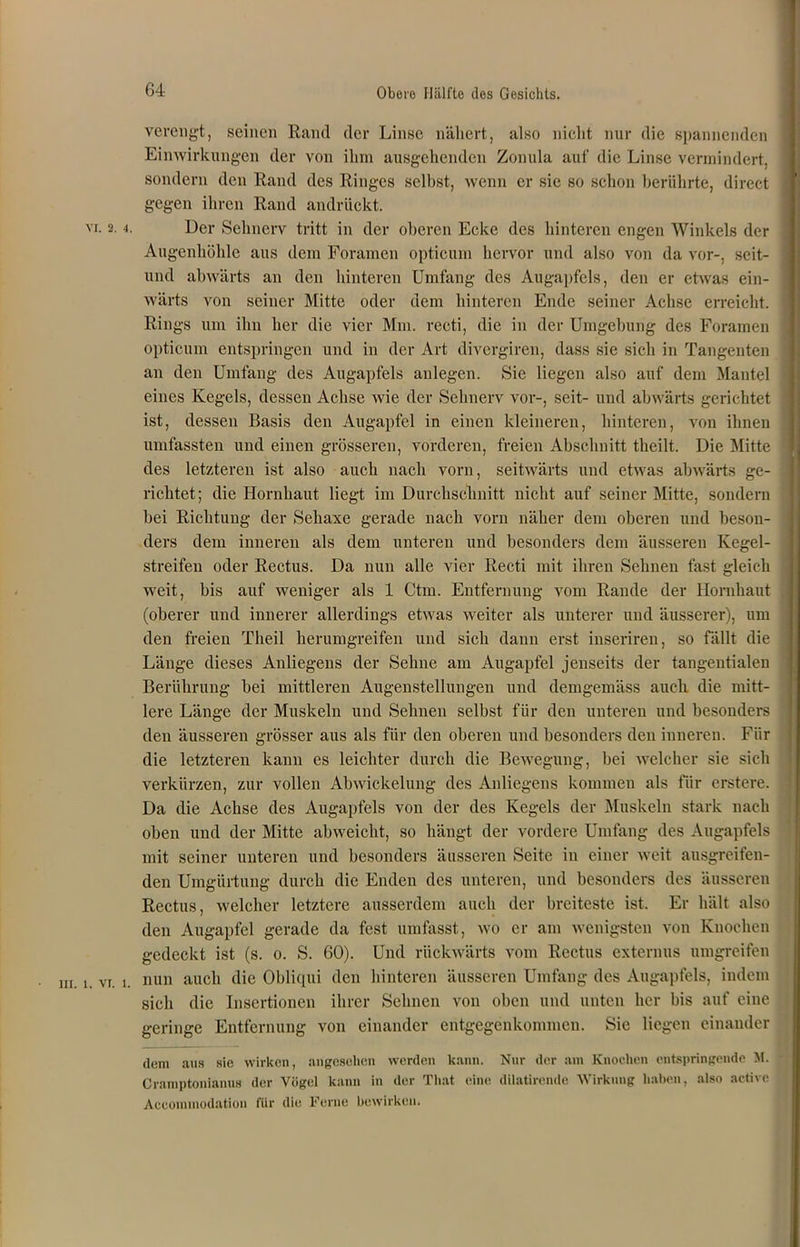 verengt, seinen Rand der Linse nähert, also nicht nur die spannenden Einwirkungen der von ihm ausgehenden Zonula auf die Linse vermindert, sondern den Rand des Ringes selbst, wenn er sie so schon berührte, direct j gegen ihren Rand andrückt. vi. 2.4. Der Sehnerv tritt in der oberen Ecke des hinteren engen Winkels der j Augenhöhle aus dem Foramen opticum hervor und also von da vor-, scit- und abwärts an den hinteren Umfang des Augapfels, den er etwas ein- ; wärts von seiner Mitte oder dem hinteren Ende seiner Achse erreicht. Rings um ihn her die vier Mm. recti, die in der Umgehung des Foramen opticum entspringen und in der Art divergiren, dass sie sich in Tangenten an den Umfang des Augapfels anlegen. Sie liegen also auf dem Mantel 1 eines Kegels, dessen Achse wie der Sehnerv vor-, seit- und abwärts gerichtet ist, dessen Basis den Augapfel in einen kleineren, hinteren, von ihnen umfassten und einen grösseren, vorderen, freien Abschnitt theilt. Die Mitte des letzteren ist also auch nach vorn, seitwärts und etwas abwärts ge- richtet; die Hornhaut liegt im Durchschnitt nicht auf seiner Mitte, sondern bei Richtung der Seliaxe gerade nach vorn näher dem oberen und beson- ders dem inneren als dem unteren und besonders dem äusseren Kegel- streifen oder Rectus. Da nun alle vier Recti mit ihren Sehnen fast gleich weit, bis auf weniger als 1 Ctm. Entfernung vom Rande der Hornhaut (oberer und innerer allerdings etwas weiter als unterer und äusserer), um den freien Tlieil herumgreifen und sich dann erst inseriren, so fällt die Länge dieses Anliegens der Sehne am Augapfel jenseits der tangentialen Berührung bei mittleren Augenstellungen und demgemäss auch die mitt- lere Länge der Muskeln und Sehnen selbst für den unteren und besonders den äusseren grösser aus als für den oberen und besonders den inneren. Für die letzteren kann es leichter durch die Bewegung, bei welcher sie sich verkürzen, zur vollen Abwickelung des Anliegens kommen als für erstere. Da die Achse des Augapfels von der des Kegels der Muskeln stark nach oben und der Mitte abweicht, so hängt der vordere Umfang des Augapfels mit seiner unteren und besonders äusseren Seite in einer weit ausgreifen- den Umgürtung durch die Enden des unteren, und besonders des äusseren Rectus, welcher letztere ausserdem auch der breiteste ist. Er hält also den Augapfel gerade da fest umfasst, wo er am wenigsten von Knochen gedeckt ist (s. o. S. 60). Und rückwärts vom Rectus externus umgreifen ni , VI , nun auch die Obliqui den hinteren äusseren Umfang des Augapfels, indem sich die Insertionen ihrer Sehnen von oben und unten her bis auf eine geringe Entfernung von einander entgegenkommen. Sic liegen einander dem aus sie wirken, angesehen werden kann. Nur der am Knochen entspringende M. Cramptonianus der Vögel kann in der That eine dilatirende Wirkung haben, also active Accominodation für die Ferne bewirken.