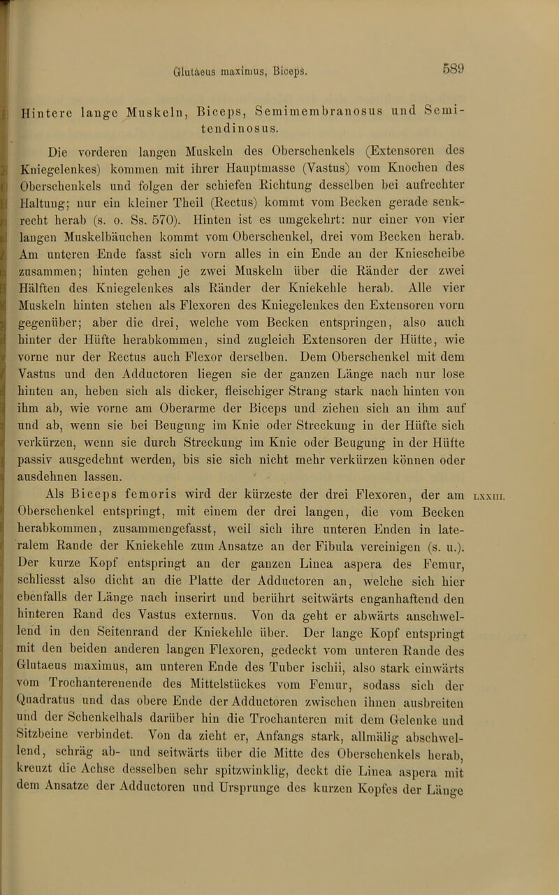 ; , Giutaeus maximus, BicepS. 589 Hintere lange Muskeln, Biceps, Semimembranosus und Semi- tendinosus. Die vorderen langen Muskeln des Oberschenkels (Extensoren des Kniegelenkes) kommen mit ihrer Hauptmasse (Vastus) vom Knochen des Oberschenkels und folgen der schiefen Richtung desselben bei aufrechter k Haltung; nur ein kleiner Theil (Rectus) kommt vom Becken gerade senk- recht herab (s. o. Ss. 570). Hinten ist es umgekehrt: nur einer von vier [langen Muskelbäuchen kommt vom Oberschenkel, drei vom Becken herab. Am unteren Ende fasst sich vorn alles in ein Ende an der Kniescheibe zusammen; hinten gehen je zwei Muskeln über die Ränder der zwei Hälften des Kniegelenkes als Ränder der Kniekehle herab. Alle vier Muskeln hinten stehen als Flexoren des Kniegelenkes den Extensoren vorn gegenüber; aber die drei, welche vom Becken entspringen, also auch hinter der Hüfte herabkommen, sind zugleich Extensoren der Hütte, wie J vorne nur der Rectus auch Flexor derselben. Dem Oberschenkel mit dem Vastus und den Adductoren liegen sie der ganzen Länge nach nur lose I hinten an, heben sich als dicker, fleischiger Strang stark nach hinten von ihm ab, wie vorne am Oberarme der Biceps und ziehen sich an ihm auf und ab, wenn sie bei Beugung im Knie oder Streckung in der Hüfte sich verkürzen, wenn sie durch Streckung im Knie oder Beugung in der Hüfte passiv ausgedehnt werden, bis sie sich nicht mehr verkürzen können oder ausdehnen lassen. Als Biceps femoris wird der kürzeste der drei Flexoren, der am Oberschenkel entspringt, mit einem der drei langen, die vom Becken herabkommen, zusammengefasst, weil sich ihre unteren Enden in late- ralem Rande der Kniekehle zum Ansätze an der Fibula vereinigen (s. u.). Der kurze Kopf entspringt an der ganzen Linea aspera des Femur, schliesst also dicht an die Platte der Adductoren an, welche sich hier ebenfalls der Länge nach inserirt und berührt seitwärts enganhaftend den hinteren Rand des Vastus externus. Von da geht er abwärts anschwel- lend in den Seitenrand der Kniekehle über. Der lange Kopf entspringt mit den beiden anderen langen Flexoren, gedeckt vom unteren Rande des Giutaeus maximus, am unteren Ende des Tuber ischii, also stark einwärts vom Trochanterenende des Mittelstückes vom Femur, sodass sich der Quadratus und das obere Ende der Adductoren zwischen ihnen ausbreiten und der Schenkelhals darüber hin die Trochanteren mit dem Gelenke und Sitzbeine verbindet. Von da zieht er, Anfangs stark, allmälig abschwel- lend, schräg ab- und seitwärts über die Mitte des Oberschenkels herab, kreuzt die Achse desselben sehr spitzwinklig, deckt die Linea aspera mit dem Ansätze der Adductoren und Ursprünge des kurzen Kopfes der Länge Lxxur.