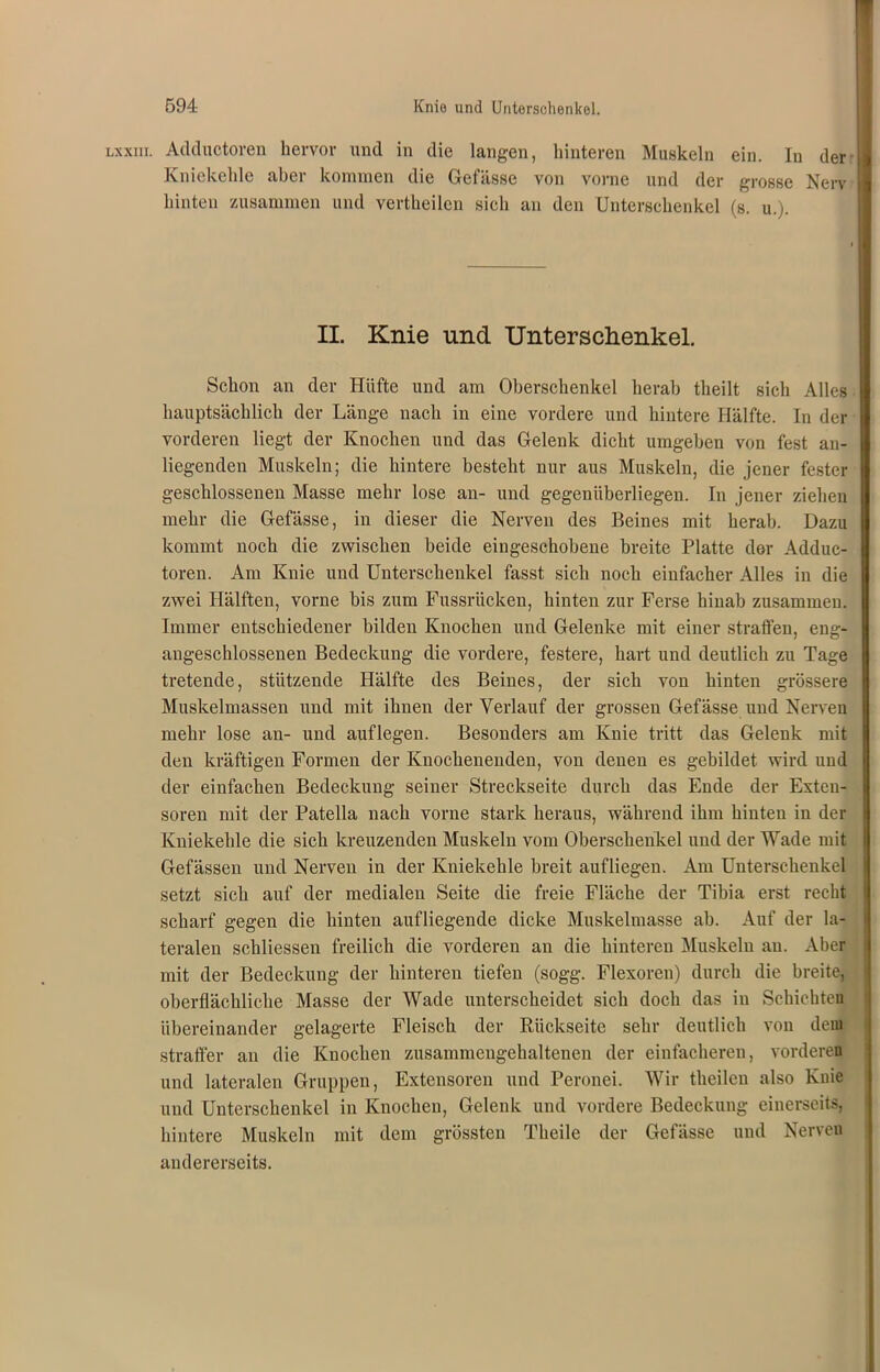 lxxiii. Adductoren hervor und in die langen, hinteren Muskeln ein. In der Kniekehle aber kommen die Gefässe von vorne und der grosse Nerv hinten zusammen und vertheilen sich an den Unterschenkel (s. u.). II. Knie und Unterschenkel. Schon an der Hüfte und am Oberschenkel herab theilt sich Alles hauptsächlich der Länge nach in eine vordere und hintere Hälfte. In der vorderen liegt der Knochen und das Gelenk dicht umgeben von fest an- liegenden Muskeln; die hintere besteht nur aus Muskeln, die jener fester geschlossenen Masse mehr lose an- und gegenüberliegen. In jener ziehen mehr die Gefässe, in dieser die Nerven des Beines mit herab. Dazu kommt noch die zwischen beide eingeschobene breite Platte der Addue- toren. Am Knie und Unterschenkel fasst sich noch einfacher Alles in die zwei Hälften, vorne bis zum Fussriicken, hinten zur Ferse hinab zusammen. Immer entschiedener bilden Knochen und Gelenke mit einer straffen, eng- augeschlossenen Bedeckung die vordere, festere, hart und deutlich zu Tage tretende, stützende Hälfte des Beines, der sich von hinten grössere Muskelmassen und mit ihnen der Verlauf der grossen Gefässe und Nerven mehr lose an- und auflegen. Besonders am Knie tritt das Gelenk mit den kräftigen Formen der Knochenenden, von deneu es gebildet wird und der einfachen Bedeckung seiner Streckseite durch das Ende der Exten- soren mit der Patella nach vorne stark heraus, während ihm hinten in der Kniekehle die sich kreuzenden Muskeln vom Oberschenkel und der Wade mit Gefässen und Nerven in der Kniekehle breit aufliegen. Am Unterschenkel setzt sich auf der medialen Seite die freie Fläche der Tibia erst recht scharf gegen die hinten aufliegende dicke Muskelmasse ab. Auf der la- teralen schliessen freilich die vorderen an die hinteren Muskeln au. Aber mit der Bedeckung der hinteren tiefen (sogg. Flexoren) durch die breite, oberflächliche Masse der Wade unterscheidet sich doch das in Schichten übereinander gelagerte Fleisch der Rückseite sehr deutlich von dem straffer an die Knochen zusammengehaltenen der einfacheren, vorderen und lateralen Gruppen, Extensoren und Peronei. Wir theilen also Kuie und Unterschenkel in Knochen, Gelenk und vordere Bedeckung einerseits, hintere Muskeln mit dem grössten Tlieile der Gefässe und Nerven andererseits.