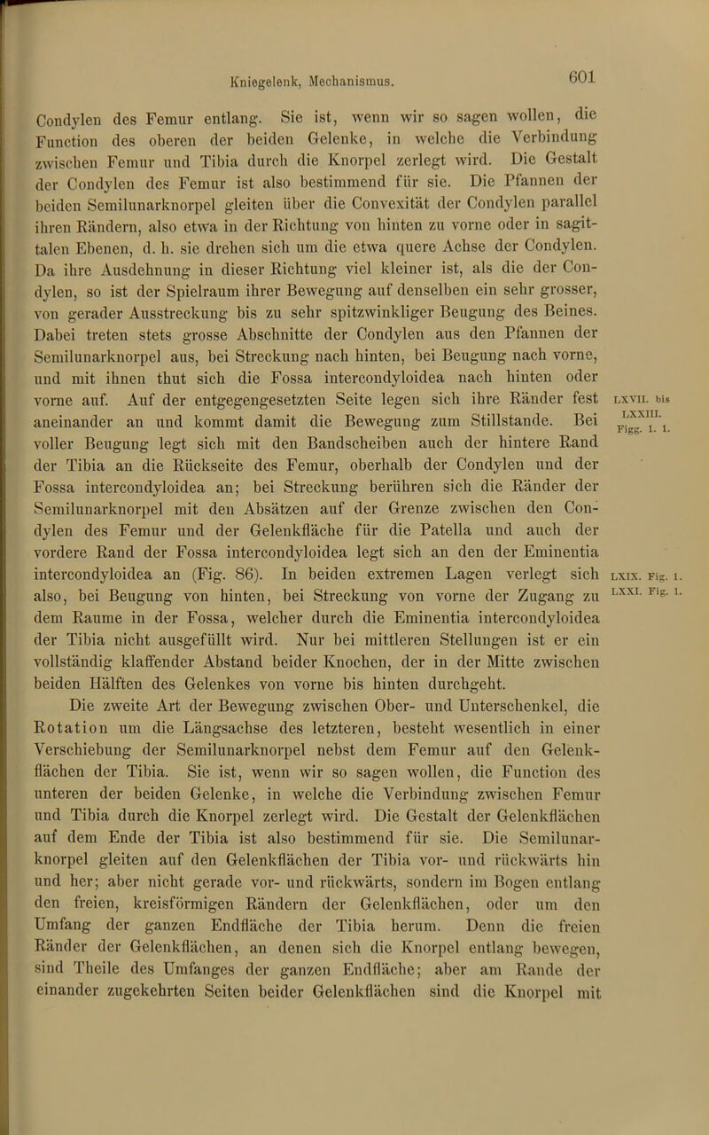 Condylen des Femur entlang1. Sie ist, wenn wir so sagen wollen, die Function des oberen der beiden Gelenke, in welche die Verbindung zwischen Femur und Tibia durch die Knorpel zerlegt wird. Die Gestalt der Condylen des Femur ist also bestimmend für sie. Die Pfannen der beiden Semilunarknorpel gleiten über die Convexität der Condylen parallel ihren Rändern, also etwa in der Richtung von hinten zu vorne oder in sagit- talen Ebenen, d. h. sie drehen sich um die etwa quere Achse der Condylen. Da ihre Ausdehnung in dieser Richtung viel kleiner ist, als die der Con- dylen, so ist der Spielraum ihrer Bewegung auf denselben ein sehr grosser, von gerader Ausstreckung bis zu sehr spitzwinkliger Beugung des Beines. Dabei treten stets grosse Abschnitte der Condylen aus den Pfannen der Semilunarknorpel aus, bei Streckung nach hinten, bei Beugung nach vorne, und mit ihnen thut sich die Fossa intercondyloidea nach hinten oder vorne auf. Auf der entgegengesetzten Seite legen sich ihre Ränder fest aneinander an und kommt damit die Bewegung zum Stillstände. Bei voller Beugung legt sich mit den Bandscheiben auch der hintere Rand der Tibia an die Rückseite des Femur, oberhalb der Condylen und der Fossa intercondyloidea an; bei Streckung berühren sich die Ränder der Semilunarknorpel mit den Absätzen auf der Grenze zwischen den Con- dylen des Femur und der Gelenkfläche für die Patella und auch der vordere Rand der Fossa intercondyloidea legt sich an den der Eminentia intercondyloidea an (Fig. 86). In beiden extremen Lagen verlegt sich also, bei Beugung von hinten, bei Streckung von vorne der Zugang zu dem Raume in der Fossa, welcher durch die Eminentia intercondyloidea der Tibia nicht ausgefüllt wird. Nur bei mittleren Stellungen ist er ein vollständig klaffender Abstand beider Knochen, der in der Mitte zwischen beiden Hälften des Gelenkes von vorne bis hinten durchgeht. Die zweite Art der Bewegung zwischen Ober- und Unterschenkel, die Rotation um die Längsachse des letzteren, besteht wesentlich in einer Verschiebung der Semilunarknorpel nebst dem Femur auf den Gelenk- flächen der Tibia. Sie ist, wenn wir so sagen wollen, die Function des unteren der beiden Gelenke, in welche die Verbindung zwischen Femur und Tibia durch die Knorpel zerlegt wird. Die Gestalt der Gelenkflächen auf dem Ende der Tibia ist also bestimmend für sie. Die Semilunar- knorpel gleiten auf den Gelenkflächen der Tibia vor- und rückwärts hin und her; aber nicht gerade vor- und rückwärts, sondern im Bogen entlang den freien, kreisförmigen Rändern der Gelenkflächen, oder um den Umfang der ganzen Endfläche der Tibia herum. Denn die freien Ränder der Gelenkflächen, an denen sich die Knorpel entlang bewegen, sind Theile des Umfanges der ganzen Endfläche; aber am Rande der einander zugekehrten Seiten beider Gelenkflächen sind die Knorpel mit LXVII. bis lxxiu. Figg. 1. 1. LXIX. Fig. 1