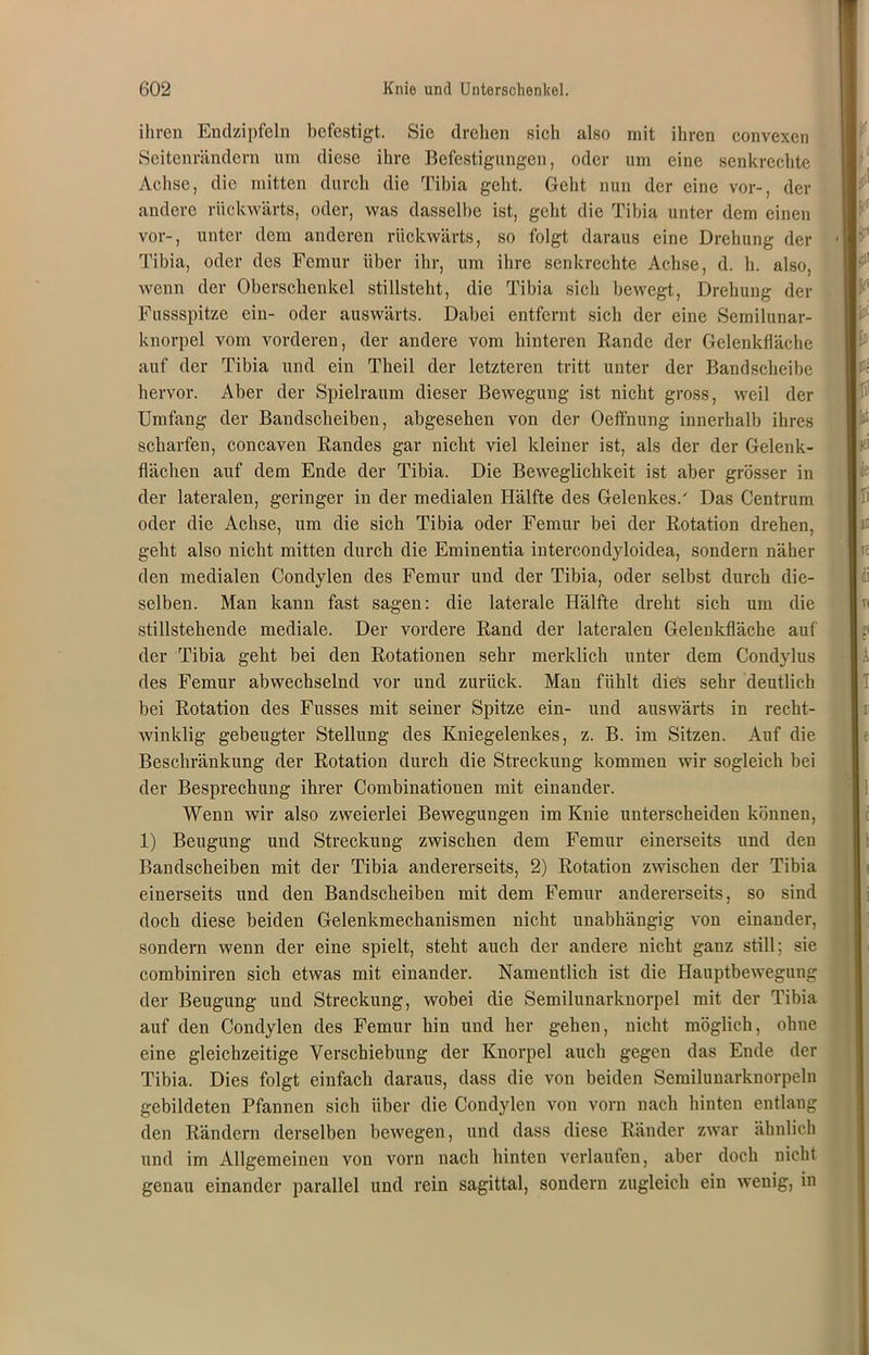 ihren Endzipfeln befestigt. Sie drehen sich also mit ihren convexen Seitenrändern um diese ihre Befestigungen, oder um eine senkrechte Achse, die mitten durch die Tibia geht. Geht nun der eine vor-, der andere rückwärts, oder, was dasselbe ist, geht die Tibia unter dem einen vor-, unter dem anderen rückwärts, so folgt daraus eine Drehung der Tibia, oder des Femur über ihr, um ihre senkrechte Achse, d. h. also, wenn der Oberschenkel stillsteht, die Tibia sich bewegt, Drehung der Fussspitze ein- oder auswärts. Dabei entfernt sich der eine Semilunar- knorpel vom vorderen, der andere vom hinteren Rande der Gelenklläche auf der Tibia und ein Theil der letzteren tritt unter der Bandscheibe hervor. Aber der Spielraum dieser Bewegung ist nicht gross, weil der Umfang der Bandscheiben, abgesehen von der Oeffnung innerhalb ihres scharfen, concaven Randes gar nicht viel kleiner ist, als der der Gelenk- flächen auf dem Ende der Tibia. Die Beweglichkeit ist aber grösser in der lateralen, geringer in der medialen Hälfte des Gelenkes/ Das Centrum oder die Achse, um die sich Tibia oder Femur bei der Rotation drehen, geht also nicht mitten durch die Eminentia intercondyloidea, sondern näher den medialen Condylen des Femur und der Tibia, oder selbst durch die- selben. Man kann fast sagen: die laterale Hälfte dreht sich um die stillstehende mediale. Der vordere Rand der lateralen Gelenkfläche auf der Tibia geht bei den Rotationen sehr merklich unter dem Condylus des Femur abwechselnd vor und zurück. Man fühlt dies sehr deutlich bei Rotation des Fusses mit seiner Spitze ein- und auswärts in recht- winklig gebeugter Stellung des Kniegelenkes, z. B. im Sitzen. Auf die Beschränkung der Rotation durch die Streckung kommen wir sogleich bei der Besprechung ihrer Combinationen mit einander. Wenn wir also zweierlei Bewegungen im Knie unterscheiden können, 1) Beugung und Streckung zwischen dem Femur einerseits und den Bandscheiben mit der Tibia andererseits, 2) Rotation zwischen der Tibia einerseits und den Bandscheiben mit dem Femur andererseits, so sind doch diese beiden Gelenkmechanismen nicht unabhängig von einander, sondern wenn der eine spielt, steht auch der andere nicht ganz still; sie combiniren sich etwas mit einander. Namentlich ist die Hauptbewegung der Beugung und Streckung, wobei die Semilunarknorpel mit der Tibia auf den Condylen des Femur hin und her gehen, nicht möglich, ohne eine gleichzeitige Verschiebung der Knorpel auch gegen das Ende der Tibia. Dies folgt einfach daraus, dass die von beiden Semilunarknorpeln gebildeten Pfannen sich über die Condylen von vorn nach hinten entlang den Rändern derselben bewegen, und dass diese Ränder zwar ähnlich und im Allgemeinen von vorn nach hinten verlaufen, aber doch nicht genau einander parallel und rein sagittal, sondern zugleich ein wenig, in