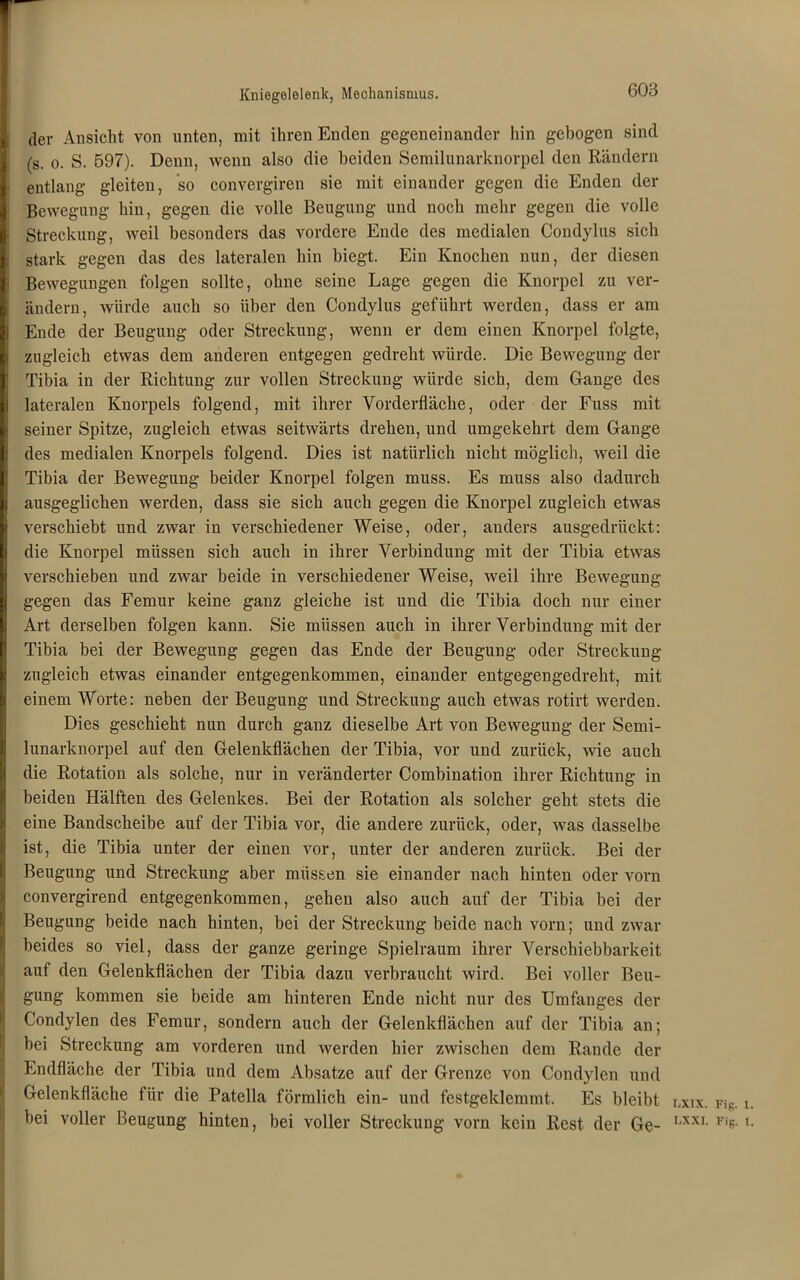 { dev Ansicht von unten, mit ihren Enden gegeneinander hin gebogen sind (s. o. S. 597). Denn, wenn also die beiden Semilunarknorpel den Rändern . entlang gleiten, so convergiren sie mit einander gegen die Enden der Bewegung hin, gegen die volle Beugung und noch mehr gegen die volle : Streckung, weil besonders das vordere Ende des medialen Condylus sich I stark gegen das des lateralen hin biegt. Ein Knochen nun, der diesen | Bewegungen folgen sollte, ohne seine Lage gegen die Knorpel zu ver- ändern, würde auch so über den Condylus geführt werden, dass er am Ende der Beugung oder Streckung, wenn er dem einen Knorpel folgte, j zugleich etwas dem anderen entgegen gedreht würde. Die Bewegung der Tibia in der Richtung zur vollen Streckung würde sich, dem Gange des lateralen Knorpels folgend, mit ihrer Vorderfläche, oder der Fuss mit j seiner Spitze, zugleich etwas seitwärts drehen, und umgekehrt dem Gange des medialen Knorpels folgend. Dies ist natürlich nicht möglich, weil die Tibia der Bewegung beider Knorpel folgen muss. Es muss also dadurch ausgeglichen werden, dass sie sich auch gegen die Knorpel zugleich etwas verschiebt und zwar in verschiedener Weise, oder, anders ausgedrückt: die Knorpel müssen sich auch in ihrer Verbindung mit der Tibia etwas verschieben und zwar beide in verschiedener Weise, weil ihre Bewegung gegen das Femur keine ganz gleiche ist und die Tibia doch nur einer Art derselben folgen kann. Sie müssen auch in ihrer Verbindung mit der Tibia bei der Bewegung gegen das Ende der Beugung oder Streckung zugleich etwas einander entgegenkommen, einander entgegengedreht, mit einem Worte: neben der Beugung und Streckung auch etwas rotirt werden. Dies geschieht nun durch ganz dieselbe Art von Bewegung der Semi- lunarknorpel auf den Gelenkflächen der Tibia, vor und zurück, wie auch die Rotation als solche, nur in veränderter Combination ihrer Richtung in beiden Hälften des Gelenkes. Bei der Rotation als solcher geht stets die eine Bandscheibe auf der Tibia vor, die andere zurück, oder, was dasselbe ist, die Tibia unter der einen vor, unter der anderen zurück. Bei der Beugung und Streckung aber müssen sie einander nach hinten oder vorn convergirend entgegenkommen, gehen also auch auf der Tibia bei der Beugung beide nach hinten, bei der Streckung beide nach vorn; und zwar beides so viel, dass der ganze geringe Spielraum ihrer Verschiebbarkeit auf den Gelenkflächen der Tibia dazu verbraucht wird. Bei voller Beu- gung kommen sie beide am hinteren Ende nicht nur des Umfanges der Condylen des Femur, sondern auch der Gelenkflächen auf der Tibia an; bei Streckung am vorderen und werden hier zwischen dem Rande der Endfläche der Tibia und dem Absätze auf der Grenze von Condylen und Gelenkfläche für die Patella förmlich ein- und festgeklemmt. Es bleibt r.xix. FiP. i bei voller Beugung hinten, bei voller Streckung vorn kein Rest der Ge- LXXI- Fig- 1