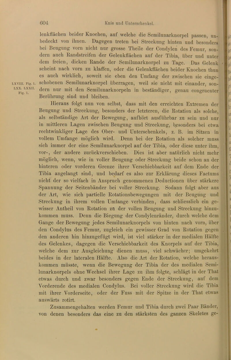 LX VIII. Fig. I. LXX. LXXII. Fig. 1. lenkflächen beider Knochen, auf welche die Semilunarknorpel passen, un- bedeckt von ihnen. Dagegen treten bei Streckung hinten und besonders hei Beugung vorn nicht nur grosse Theilc der Condylen des Femur, son- dern auch Randstreifen der Gelenkflächen auf der Tibia, über und unter dem freien, dicken Rande der Semilunarknorpel zu Tage. Das Gelenk scheint nach vorn zu klaffen, oder die Gelenkflächen beider Knochen thun es auch wirklich, soweit sie eben den Umfang der zwischen sie einge- schobenen Semilunarknorpel überragen, weil sie nicht mit einander, son- dern nur mit den Semilunarknorpeln in beständiger, genau congruenter Berührung sind und bleiben. Hieraus folgt nun von selbst, dass mit den erreichten Extremen der Beugung und Streckung, besonders der letzteren, die Rotation als solche, als selbständige Art der Bewegung, auf hört ausführbar zu sein und nur in mittleren Lagen zwischen Beugung und Streckung, besonders bei etwa rechtwinkliger Lage des Ober- und Unterschenkels, z. B. im Sitzen in vollem Umfange möglich wird. Denn bei der Rotation als solcher muss sich immer der eine Semilunarknorpel auf der Tibia, oder diese unter ihm, vor-, der andere zurückverschieben. Dies ist aber natürlich nicht mehr möglich, wenn, wie in voller Beugung oder Streckung beide schon an der hinteren oder vorderen Grenze ihrer Verschiebbarkeit auf dem Ende der Tibia angelangt sind, und bedarf es also zur Erklärung dieses Factums nicht der so vielfach in Anspruch genommenen Deductionen über stärkere Spannung der Seitenbänder bei voller Streckung. Sodann folgt aber aus der Art, wie sich partielle Rotationsbewegungen mit der Beugung und Streckung in ihrem vollen Umfange verbinden, dass schliesslich ein ge- wisser Antheil von Rotation zu der vollen Beugung und Streckung hinzu- kommen muss. Denn die Biegung der Condylenränder, durch welche dem Gange der Bewegung jedes Semilunarknorpels von hinten nach vorn, über den Condylus des Femur, zugleich ein gewisser Grad von Rotation gegen den anderen hin hinzugefügt wird, ist viel stärker in der medialen Hälfte des Gelenkes, dagegen die Verschiebbarkeit des Knorpels auf der Tibia, welche dem zur Ausgleichung dienen muss, viel schwächer; umgekehrt beides in der lateralen Hälfte. Also die Art der Rotation, welche heraus- kommen müsste, wenn die Bewegung der Tibia der des medialen Semi- lunarknorpels ohne Wechsel ihrer Lage zu ihm folgte, schlägt in der That etwas durch und zwar besonders gegen Ende der Streckung, auf dem Vorderende des medialen Condylus. Bei voller Streckung wird die Tibia mit ihrer Vorderseite, oder der Fuss mit der Spitze in der That etwas auswärts rotirt. Zusammcngehalten werden Femur und Tibia durch zwei Paar Bänder, von denen besonders das eine zu den stärksten des ganzen Skeletes ge- I •c llff so jS I i I Bl