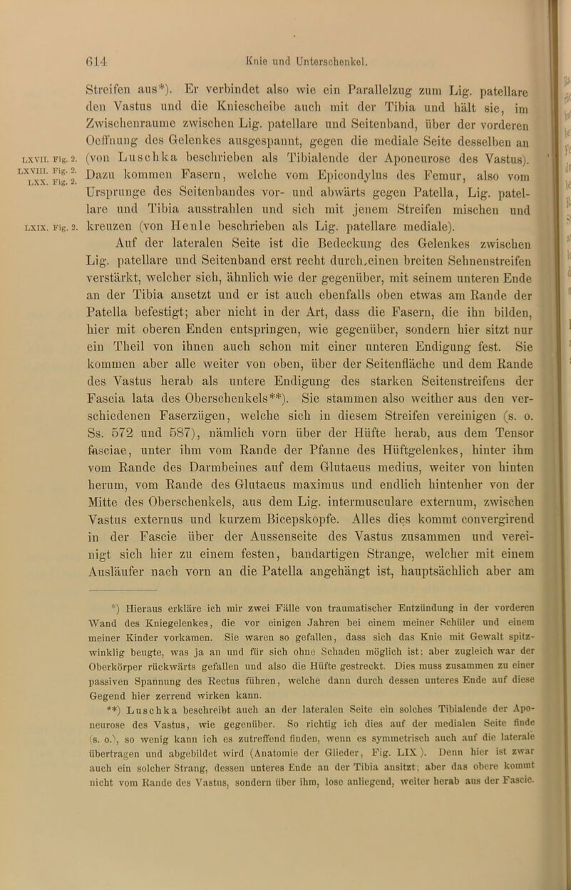 Streifen aus*). Er verbindet also wie ein Parallelzug zum Lig. patellare den Vastns und die Kniescheibe auch mit der Tibia und hält sie, im Zwischenräume zwischen Lig. patellare und Scitenband, über der vorderen Ocffnung des Gelenkes ausgespannt, gegen die mediale Seite desselben an lxvii. Fig.3. (von Luschka beschrieben als Tibialende der Aponeurose des Yastus). LXlxx Fig 2 Dazu kommen Fasern, welche vom Epicondylus des Femur, also vom Ursprünge des Seitenbandes vor- und abwärts gegen Patella, Lig. patel- lare und Tibia ausstrahlen und sich mit jenem Streifen mischen und lxix. rig. 2. kreuzen (von Henle beschrieben als Lig. patellare mediale). Auf der lateralen Seite ist die Bedeckung des Gelenkes zwischen Lig. patellare und Seitenband erst recht durch,einen breiten Sehnenstreifen verstärkt, welcher sich, ähnlich wie der gegenüber, mit seinem unteren Ende an der Tibia ansetzt und er ist auch ebenfalls oben etwas am Rande der Patella befestigt; aber nicht in der Art, dass die Fasern, die ihn bilden, hier mit oberen Enden entspringen, wie gegenüber, sondern hier sitzt nur ein Theil von ihnen auch schon mit einer unteren Endigung fest. Sie kommen aber alle weiter von oben, über der Seitenfläche und dem Rande des Vastus herab als untere Endigung des starken Seitenstreifens der Fascia lata des Oberschenkels**). Sie stammen also weither aus den ver- schiedenen Faserzügen, welche sich in diesem Streifen vereinigen (s. o. Ss. 572 und 587), nämlich vorn über der Hüfte herab, aus dem Tensor fasciae, unter ihm vom Rande der Pfanne des Hüftgelenkes, hinter ihm vom Rande des Darmbeines auf dem Glutaeus medius, weiter von hinten herum, vom Rande des Glutaeus maximus und endlich hintenher von der Mitte des Oberschenkels, aus dem Lig. intermusculare externum, zwischen Yastus externus und kurzem Bicepskopfe. Alles dies kommt convergirend in der Fascie über der Aussenseite des Vastus zusammen und verei- nigt sich hier zu einem festen, bandartigen Strange, welcher mit einem Ausläufer nach vorn an die Patella angehängt ist, hauptsächlich aber am *) Hieraus erkläre ich mir zwei Fälle von traumatischer Entzündung in der vorderen Wand des Kniegelenkes, die vor einigen Jahren hei einem meiner Schüler und einem meiner Kinder vorkamen. Sie waren so gefallen, dass sich das Knie mit Gewalt spitz- winklig beugte, was ja an und für sich ohne Schaden möglich ist: aber zugleich war der Oberkörper rückwärts gefallen und also die Hüfte gestreckt. Dies muss zusammen zu einer passiven Spannung des Rectus führen, welche daun durch dessen unteres Ende auf diese Gegend hier zerrend wirken kann. **) Luschka beschreibt auch au der lateralen Seite ein solches Tibialende der Apo- neurose des Yastus, wie gegenüber. So richtig ich dies auf der medialen Seite finde (s. o.), so wenig kann ich es zutreffend finden, wenn es symmetrisch auch auf die laterale übertragen und abgebildet wird (Anatomie der Glieder, Fig. LIX). Denn hier ist zwar auch ein solcher Strang, dessen unteres Ende an der Tibia ansitzt; aber das obere kommt nicht vom Rande des Yastus, sondern über ihm, lose anliegend, weiter herab aus der Fascie.