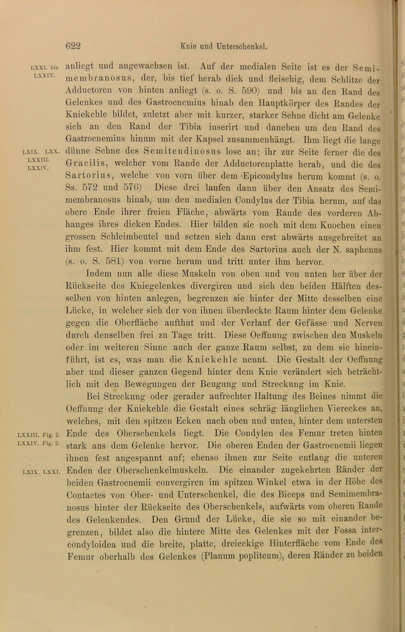 LXXI. bis LXXIV. LXIX. LXX. LXXIII. LXXIV. LXXIII. Fig. 2. LXXIV. Fig. 2. LXIX. LXXI. anliegt und angewachsen ist. Auf der medialen Seite ist es der Semi- membranosus, der, bis tief herab dick und fleischig, dem Schlitze der Adductoren von hinten anliegt (s. o. S. 590) und bis an den Rand des Gelenkes und des Gastrocnemius hinab den Hauptkörper des Randes der Kniekehle bildet, zuletzt aber mit kurzer, starker Sehne dicht am Gelenke sich an den Rand der Tibia inserirt und daneben um den Rand des Gastrocnemius hinum mit der Kapsel zusammenhängt. Ihm liegt die lange dünne Sehne des Semitendinosus lose an; ihr zur Seite ferner die des Gracilis, welcher vom Rande der Adductorenplatte herab, und die des Sartorius, welche von vorn über dem Epicowlylus herum kommt (s. o. Ss. 572 und 576) Diese drei laufen dann über den Ansatz des Semi- membranosus hinab, um den medialen Condylus der Tibia herum, auf das obere Ende ihrer freien Fläche, abwärts vom Rande des vorderen Ab- hanges ihres dicken Endes. Hier bilden sie noch mit dem Knochen einen grossen Schleimbeutel und setzen sich dann erst abwärts ausgebreitet an ihm fest. Hier kommt mit dem Ende des Sartorius auch der N. saphenus (s. o. S. 581) von vorne herum und tritt unter ihm hervor. Indem nun alle diese Muskeln von oben und von unten her über der Rückseite des Kniegelenkes divergiren und sich den beiden Hälften des- selben von hinten anlegen, begrenzen sie hinter der Mitte desselben eine Lücke, in welcher sich der von ihnen überdeckte Raum hinter dem Gelenke gegen die Oberfläche aufthut und der Verlauf der Gefässe und Nerven durch denselben frei zu Tage tritt. Diese Oeffnung zwischen den Muskeln oder im weiteren Sinne auch der ganze Raum selbst, zu dem sie hiuein- führt, ist es, was man die Kniekehle nennt. Die Gestalt der Oeffnung aber und dieser ganzen Gegend hinter dem Knie verändert sich beträcht- lich mit den Bewegungen der Beugung und Streckung im Kuie. Bei Streckung oder gerader aufrechter Haltung des Beines nimmt die Oeffnung der Kniekehle die Gestalt eines schräg länglichen Viereckes au, welches, mit den spitzen Ecken nach oben und unten, hinter dem untersten Ende des Oberschenkels liegt. Die Condylen des Femur treten hinten stark aus dem Gelenke hervor. Die oberen Enden der Gastrocnemii liegen ihnen fest angespannt auf; ebenso ihnen zur Seite entlang die unteren Enden der Oberschenkelmuskeln. Die einander zugekehrten Ränder der beiden Gastrocnemii convergiren im spitzen Winkel etwa in der Höhe des Contactes von Ober- und Unterschenkel, die des Biceps und Semimcmbra- nosus hinter der Rückseite des Oberschenkels, aufwärts vom oberen Rande des Gelenkendes. Den Grund der Lücke, die sie so mit einander be- grenzen, bildet also die hintere Mitte des Gelenkes mit der Fossa inter- condyloidea und die breite, platte, dreieckige Hinterfläche vom Ende des Femur oberhalb des Gelenkes (Planum popliteum), deren Ränder zu beiden