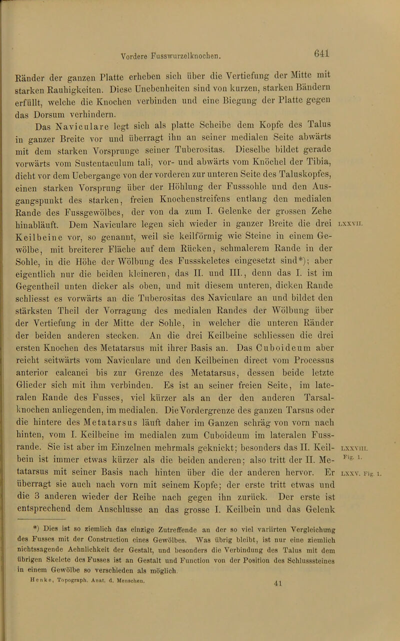 Vordere Fusswurzelknoclien. Ränder der ganzen Platte erheben sicli über die Vertiefung der Mitte mit starken Rauhigkeiten. Diese Unebenheiten sind von kurzen, starken Bändern erfüllt, welche die Knochen verbinden und eine Biegung der Platte gegen das Dorsum verhindern. Das Naviculare legt sich als platte Scheibe dem Kopfe des Talus in ganzer Breite vor und überragt ihn an seiner medialen Seite abwärts mit dem starken Vorsprunge seiner Tuberositas. Dieselbe bildet gerade vorwärts vom Sustentaculum tali, vor- und abwärts vom Knöchel der Tibia, dicht vor dem Uebergange von der vorderen zur unteren Seite des Taluskopfes, einen starken Vorsprung über der Höhlung der Fusssohle und den Aus- gangspunkt des starken, freien Knochenstreifens entlang den medialen Rande des Fussgewölbes, der von da zum I. Gelenke der grossen Zehe hinabläuft. Dem Naviculare legen sich wieder in ganzer Breite die drei Keilbeine vor, so genannt, weil sie keilförmig wie Steine in einem Ge- wölbe, mit breiterer Fläche auf dem Rücken, schmalerem Rande in der Sohle, in die Höhe der Wölbung des Fussskeletes eingesetzt sind*); aber eigentlich nur die beiden kleineren, das II. und in., denn das I. ist im Gegentheil unten dicker als oben, und mit diesem unteren, dicken Rande schliesst es vorwärts an die Tuberositas des Naviculare an und bildet den stärksten Tlieil der Vorragung des medialen Randes der Wölbung über der Vertiefung in der Mitte der Sohle, in welcher die unteren Ränder der beiden anderen stecken. An die drei Keilbeine schliessen die drei ersten Knochen des Metatarsus mit ihrer Basis an. Das Cuboideum aber reicht seitwärts vom Naviculare und den Keilbeinen direct vom Processus anterior calcanei bis zur Grenze des Metatarsus, dessen beide letzte Glieder sich mit ihm verbinden. Es ist an seiner freien Seite, im late- ralen Rande des Fusses, viel kürzer als an der den anderen Tarsal- knochen anliegenden, im medialen. Die Vordergrenze des ganzen Tarsus oder die hintere des Metatarsus läuft daher im Ganzen schräg von vorn nach hinten, vom I. Keilbeine im medialen zum Cuboideum im lateralen Fuss- rande. Sie ist aber im Einzelnen mehrmals geknickt; besonders das II. Keil- bein ist immer etwas kürzer als die beiden anderen; also tritt der II. Me- tatarsus mit seiner Basis nach hinten über die der anderen hervor. Er überragt sie auch nach vorn mit seinem Kopfe; der erste tritt etwas und die 3 anderen wieder der Reihe nach gegen ihn zurück. Der erste ist entsprechend dem Anschlüsse an das grosse I. Keilbein und das Gelenk *) Dies ist so ziemlich das einzige Zutreffende an der so viel variirten Vergleichung des Fusses mit der Construction eines Gewölbes. Was übrig bleibt, ist nur eine ziemlich nichtssagende Aehnlichkeit der Gestalt, und besonders die Verbindung des Talus mit dem übrigen Skelete des Fusses ist an Gestalt und Function von der Position des Schlusssteines in einem Gewölbe so verschieden als möglich. Henke, Topograph. Anat. d. Menschen, LXXYII. LXXY1II. Fig. 1. LXXV. Fig. 1. 41