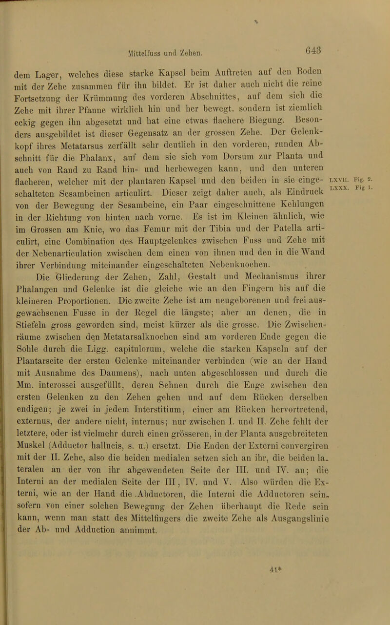 Mittelfuss und Zehen. dem Lager, welches diese starke Kapsel beim Auftreten auf den Boden mit der Zelie zusammen für ihn bildet. Er ist daher auch nicht die reine Fortsetzung der Krümmung des vorderen Abschnittes, auf dem sich die Zehe mit ihrer Pfanne wirklich hin und her bewegt, sondern ist ziemlich eckig gegen ihn abgesetzt und hat eine etwas flachere Biegung. Beson- ders ausgebildet ist dieser Gegensatz an der grossen Zehe. Der Gelenk- kopf ihres Metatarsus zerfällt sehr deutlich in den vorderen, runden Ab- schnitt für die Phalanx, auf dem sie sich vom Dorsum zur Planta und auch von Rand zu Rand hin- und herbewegen kann, und den unteren flacheren, welcher mit der plantaren Kapsel und den beiden in sie eilige- lxvii. i ig. 2 schalteten Sesambeinen articulirt. Dieser zeigt daher auch, als Eindruck von der Bewegung der Sesambeine, ein Paar eingeschnittene Kehlungen in der Richtung von hinten nach vorne. Es ist im Kleinen ähnlich, wie im Grossen am Knie, wo das Femur mit der Tibia und der Patella arti- culirt, eine Combination des Hauptgelenkes zwischen Fuss und Zehe mit der Nebenarticulation zwischen dem einen von ihnen und den in die Wand ihrer Verbindung miteinander eingeschalteten Nebenknochen. Die Gliederung der Zehen, Zahl, Gestalt und Mechanismus ihrer Phalangen und Gelenke ist die gleiche wie an den Fingern bis auf die kleineren Proportionen. Die zweite Zehe ist am neugeborenen und frei aus- gewachsenen Fusse in der Regel die längste; aber an denen, die in Stiefeln gross geworden sind, meist kürzer als die grosse. Die Zwischen- räume zwischen den Metatarsalknochen sind am vorderen Ende gegen die Sohle durch die Ligg. capitulorum, welche die starken Kapseln auf der Plantarseite der ersten Gelenke miteinander verbinden (wie an der Hand mit Ausnahme des Daumens), nach unten abgeschlossen und durch die Mm. interossei ausgefüllt, deren Sehnen durch die Enge zwischen den ersten Gelenken zu den Zehen gehen und auf dem Rücken derselben endigen; je zwei in jedem Interstitium, einer am Rücken hervortretend, externus, der andere nicht, internus; nur zwischen I. und II. Zehe fehlt der letztere, oder ist vielmehr durch einen grösseren, in der Planta ausgebreiteten Muskel (Adductor hallucis, s. u.) ersetzt. Die Enden der Externi convergiren mit der II. Zehe, also die beiden medialen setzen sich an ihr, die beiden la- teralen an der von ihr abgewendeten Seite der III. und IV. an; die Interni an der medialen Seite der III, IV. und V. Also würden die Ex- terni, wie an der Hand die .Abductoren, die Interni die Adductoren sein. sofern von einer solchen Bewegung der Zehen überhaupt die Rede sein kann, wenn man statt des Mittelfingers die zweite Zehe als Ausgangslinie der Ab- und Adduction annimmt. 4i*