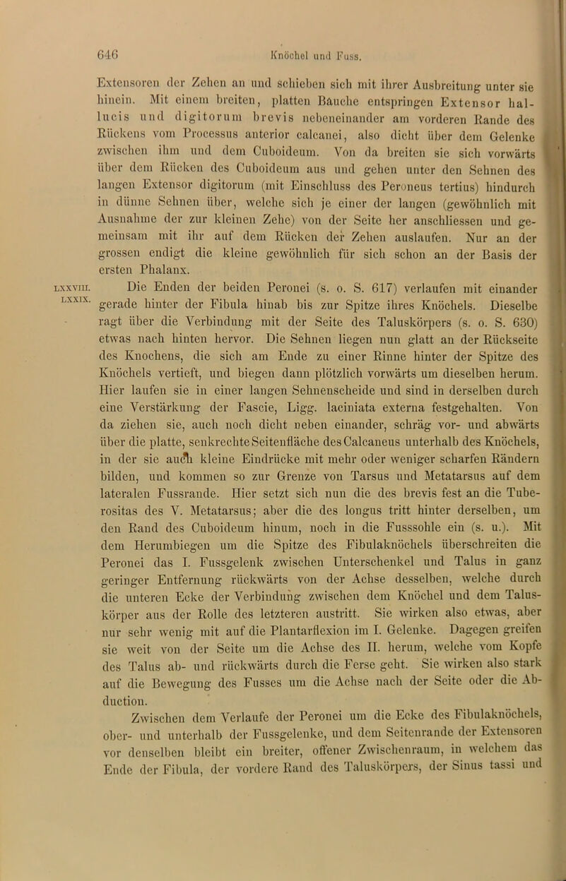 Lxxvm. LXX1X. Extensoren der Zehen an und schieben sich mit ihrer Ausbreitung unter sie hinein. Mit einem breiten, platten Bauche entspringen Extensor hal- lucis und digitorum brevis nebeneinander am vorderen Rande des Rückens vom Processus anterior calcanei, also dicht über dem Gelenke zwischen ihm und dem Cuboideum. Von da breiten sie sich vorwärts über dem Rücken des Cuboideum aus und gehen unter den Sehnen des langen Extensor digitorum (mit Einschluss des Peroneus tertius) hindurch in dünne Sehnen über, welche sich je einer der langen (gewöhnlich mit Ausnahme der zur kleinen Zehe) von der Seite her anschliessen und ge- meinsam mit ihr auf dem Rücken der Zehen auslaufen. Nur an der grossen endigt die kleine gewöhnlich für sich schon an der Basis der ersten Phalanx. Die Enden der beiden Peronei (s. o. S. 617) verlaufen mit einander gerade hinter der Fibula hinab bis zur Spitze ihres Knöchels. Dieselbe ragt über die Verbindung mit der Seite des Taluskörpers (s. o. S. 630) etwas nach hinten hervor. Die Sehnen liegen nun glatt an der Rückseite des Knochens, die sich am Ende zu einer Rinne hinter der Spitze des Knöchels vertieft, und biegen dann plötzlich vorwärts um dieselben herum. Hier laufen sie in einer langen Sehnenscheide und sind in derselben durch eine Verstärkung der Fascie, Ligg. laciniata externa festgehalten. Von da ziehen sie, auch noch dicht neben einander, schräg vor- und abwärts über die platte, senkrechte Seitenfläche desCalcaneus unterhalb des Knöchels, in der sie auc*h kleine Eindrücke mit mehr oder weniger scharfen Rändern bilden, und kommen so zur Grenze von Tarsus und Metatarsus auf dem lateralen Fussrande. Hier setzt sich nun die des brevis fest an die Tube- rositas des V. Metatarsus; aber die des longus tritt hinter derselben, um den Rand des Cuboideum hinurn, noch in die Fusssohle ein (s. u.). Mit- tlern Herumbiegen um die Spitze des Fibulaknöchels überschreiten die Peronei das I. Fussgelenk zwischen Unterschenkel und Talus in ganz geringer Entfernung rückwärts von der Achse desselben, welche durch die unteren Ecke der Verbindung zwischen dem Knöchel und dem Talus- körper aus der Rolle des letzteren austritt. Sie wirken also etwas, aber nur sehr wenig mit auf die Plantarflexion im I. Gelenke. Dagegen greiten sie weit von der Seite um die Achse des II. herum, welche vom Kopfe des Talus ab- und rückwärts durch die Ferse geht. Sie wirken also stark auf die Bewegung des Fusses um die Achse nach der Seite oder die Ab- duction. Zwischen dem Verlaufe der Peronei um die Ecke des Fibulaknöchels, ober- und unterhalb der Fussgelenke, und dem Seitenrande der Extensoren vor denselben bleibt ein breiter, offener Zwischenraum, in welchem das Ende der Fibula, der vordere Rand des Taluskörpers, der Sinus tassi und