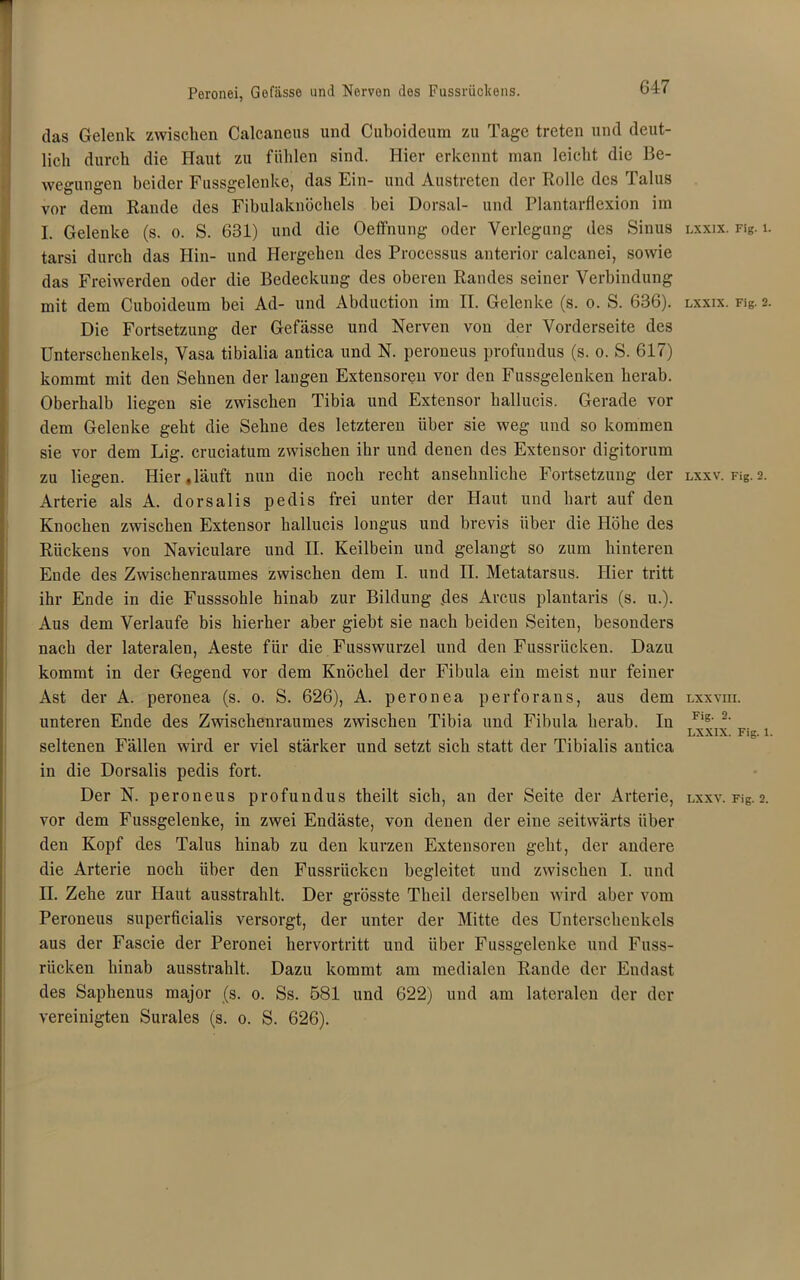 das Gelenk zwischen Calcaneus und Cuboideum zu Tage treten und deut- lich durch die Haut zu fühlen sind. Hier erkennt man leicht die Be- wegungen beider Fussgelenke, das Ein- und Austreten der Rolle des Talus vor dem Rande des Fibulaknöchels bei Dorsal- und Plantarflexion im I. Gelenke (s. o. S. 631) und die Oeffnung oder Verlegung des Sinus tarsi durch das Hin- und Hergehen des Processus anterior calcanei, sowie das Freiwerden oder die Bedeckung des oberen Randes seiner Verbindung mit dem Cuboideum bei Ad- und Abduction im II. Gelenke (s. o. S. 636). Die Fortsetzung der Gefässe und Nerven von der Vorderseite des Unterschenkels, Vasa tibialia antica und N. peroneus profundus (s. o. S. 617) kommt mit den Sehnen der langen Extensoren vor den Fussgelenken herab. Oberhalb liegen sie zwischen Tibia und Extensor hallucis. Gerade vor dem Gelenke geht die Sehne des letzteren über sie weg und so kommen sie vor dem Lig. cruciatum zwischen ihr und denen des Extensor digitorum zu liegen. Hier «läuft nun die noch recht ansehnliche Fortsetzung der Arterie als A. dorsalis pedis frei unter der Haut und hart auf den Knochen zwischen Extensor hallucis longus und brevis über die Höhe des Rückens von Naviculare und II. Keilbein und gelangt so zum hinteren Ende des Zwischenraumes zwischen dem I. und II. Metatarsus. Hier tritt ihr Ende in die Fusssohle hinab zur Bildung des Arcus plantaris (s. u.). Aus dem Verlaufe bis hierher aber giebt sie nach beiden Seiten, besonders nach der lateralen, Aeste für die Fusswurzel und den Fussrücken. Dazu kommt in der Gegend vor dem Knöchel der Fibula ein meist nur feiner Ast der A. peronea (s. o. S. 626), A. peronea perforans, aus dem unteren Ende des Zwischenraumes zwischen Tibia und Fibula herab. Iu seltenen Fällen wird er viel stärker und setzt sich statt der Tibialis antica in die Dorsalis pedis fort. vor dem Fussgelenke, in zwei Endäste, von denen der eine seitwärts über den Kopf des Talus hinab zu den kurzen Extensoren geht, der andere die Arterie noch über den Fussrücken begleitet und zwischen I. und II. Zehe zur Haut ausstrahlt. Der grösste Theil derselben wird aber vom Peroneus superficialis versorgt, der unter der Mitte des Unterschenkels aus der Fascie der Peronei hervortritt und über Fussgelenke und Fuss- rücken hinab ausstrahlt. Dazu kommt am medialen Rande der Endast des Saphenus major (s. o. Ss. 581 und 622) und am lateralen der der vereinigten Surales (s. o. S. 626). LXXIX. Fig. 1. LXXIX. Fig. 2. LXXV. Fig. 2. LXXVIII. Fig. 2. LXXIX. Fig. 1.