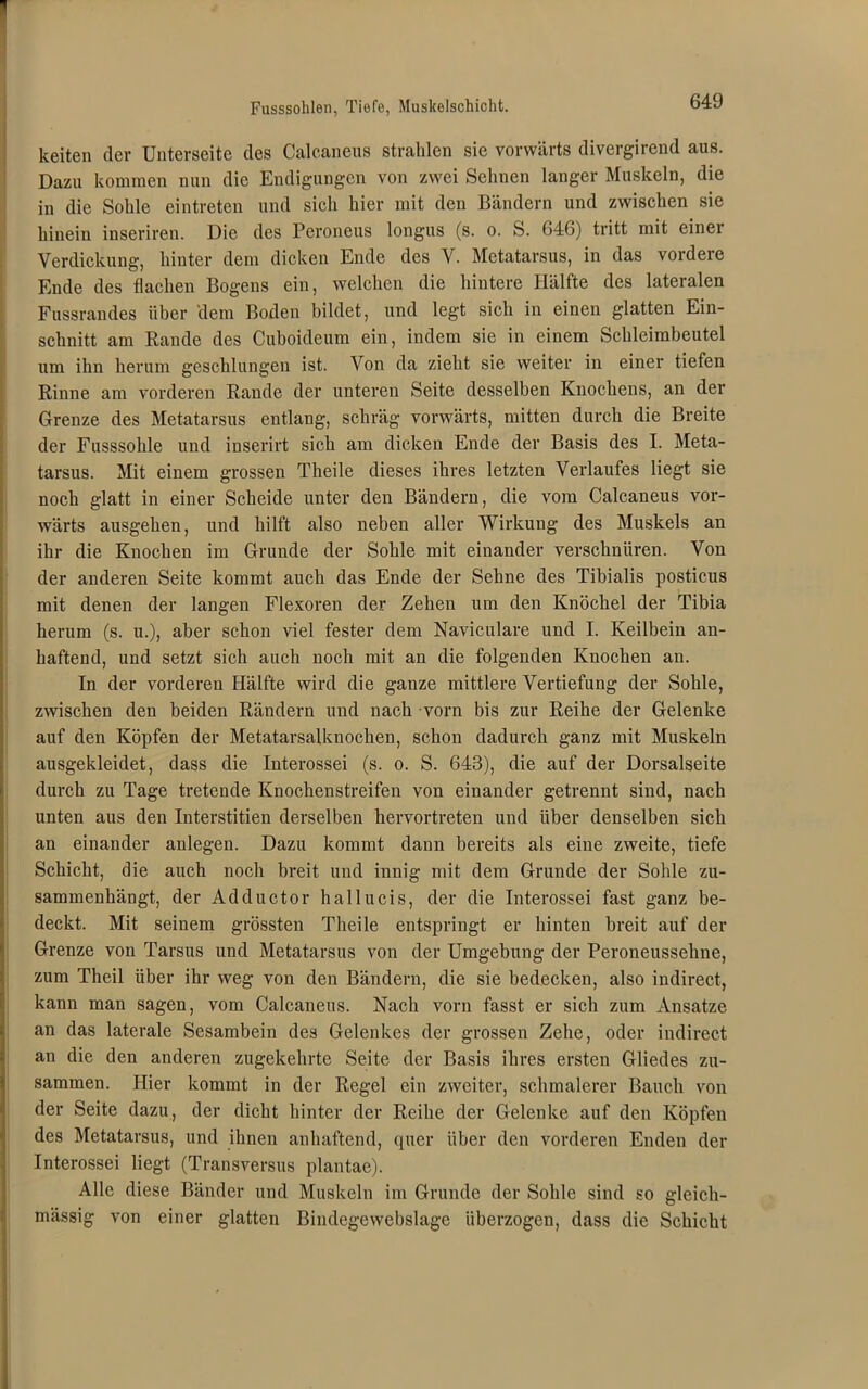 Fusssohlen, Tiefe, Muskelschicht. keiten der Unterseite des Calcaneus strahlen sie vorwärts divergirend aus. Dazu kommen nun die Endigungen von zwei Sehnen langer Muskeln, die in die Sohle eintreten und sich hier mit den Bändern und zwischen sie hinein inseriren. Die des Peroneus longus (s. o. S. 646) tritt mit einer Verdickung, hinter dem dicken Ende des V. Metatarsus, in das vordere Ende des flachen Bogens ein, welchen die hintere Hälfte des lateralen Fussrandes über dem Boden bildet, und legt sich in einen glatten Ein- schnitt am Rande des Cuboideum ein, indem sie in einem Schleimbeutel um ihn herum geschlungen ist. Von da zieht sie weiter in einer tiefen Rinne am vorderen Rande der unteren Seite desselben Knochens, an der Grenze des Metatarsus entlang, schräg vorwärts, mitten durch die Breite der Fusssolile und inserirt sich am dicken Ende der Basis des I. Meta- tarsus. Mit einem grossen Theile dieses ihres letzten Verlaufes liegt sie noch glatt in einer Scheide unter den Bändern, die vom Calcaneus vor- wärts ausgehen, und hilft also neben aller Wirkung des Muskels an ihr die Knochen im Grunde der Sohle mit einander verschnüren. Von der anderen Seite kommt auch das Ende der Sehne des Tibialis posticus mit denen der langen Flexoren der Zehen um den Knöchel der Tibia herum (s. u.), aber schon viel fester dem Naviculare und I. Keilbein an- haftend, und setzt sich auch noch mit an die folgenden Knochen an. In der vorderen Hälfte wird die ganze mittlere Vertiefung der Sohle, zwischen den beiden Rändern und nach vorn bis zur Reihe der Gelenke auf den Köpfen der Metatarsalknocken, schon dadurch ganz mit Muskeln ausgekleidet, dass die Interossei (s. o. S. 643), die auf der Dorsalseite durch zu Tage tretende Knochenstreifen von einander getrennt sind, nach unten aus den Interstitiell derselben hervortreten und über denselben sich an einander anlegen. Dazu kommt dann bereits als eine zweite, tiefe Schicht, die auch noch breit und innig mit dem Grunde der Sohle zu- sammenhängt, der Adductor hallueis, der die Interossei fast ganz be- deckt. Mit seinem grössten Theile entspringt er hinten breit auf der Grenze von Tarsus und Metatarsus von der Umgebung der Peroneussekne, zum Theil über ihr weg von den Bändern, die sie bedecken, also indirect, kann man sagen, vom Calcaneus. Nach vorn fasst er sich zum Ansätze an das laterale Sesambein des Gelenkes der grossen Zehe, oder indirect an die den anderen zugekehrte Seite der Basis ihres ersten Gliedes zu- sammen. Hier kommt in der Regel ein zweiter, schmalerer Bauch von der Seite dazu, der dicht hinter der Reihe der Gelenke auf den Köpfen des Metatarsus, und ihnen anhaftend, quer über den vorderen Enden der Interossei liegt (Transversus plantae). Alle diese Bänder und Muskeln im Grunde der Sohle sind so gleicli- mässig von einer glatten Bindegewebslage überzogen, dass die Schicht