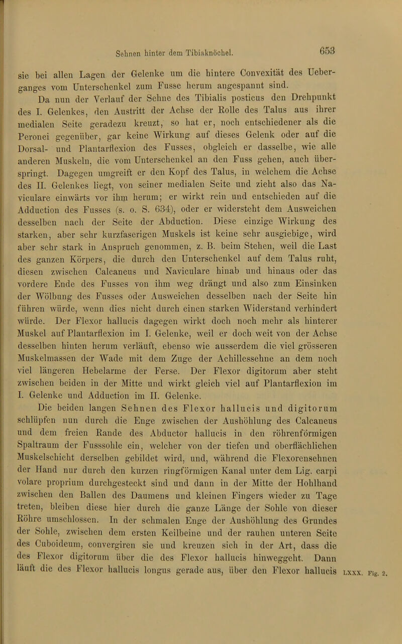 Seimen hinter dem TibiaknÖchel. sie bei allen Lagen der Gelenke um die hintere Convexität des Ueber- ganges vom Unterschenkel zum Fasse herum angespannt sind. Da nun der Verlauf der Sehne des Tibialis postious den Drehpunkt des I. Gelenkes, den Austritt der Achse der Rolle des Talus aus ihrer medialen Seite geradezu kreuzt, so hat er, noch entschiedener als die Peronei gegenüber, gar keine Wirkung auf dieses Gelenk oder auf die Dorsal- und Plantarflexion des Fusses, obgleich er dasselbe, wie alle anderen Muskeln, die vom Unterschenkel an den Fuss gehen, auch über- springt. Dagegen umgreift er den Kopf des Talus, in welchem die Achse des II. Gelenkes liegt, von seiner medialen Seite und zieht also das Na- viculare einwärts vor ihm herum; er wirkt rein und entschieden aut die Adduction des Fusses (s. o. S. 634), oder er widersteht dem Ausweichen desselben nach der Seite der Abduction. Diese einzige Wirkung des starken, aber sehr kurzfaserigen Muskels ist keine sehr ausgiebige, wird aber sehr stark in Anspruch genommen, z. B. beim Stehen, weil die Last des ganzen Körpers, die durch den Unterschenkel auf dem Talus ruht, diesen zwischen Calcaneus und Naviculare hinab und hinaus oder das vordere Ende des Fusses von ihm weg drängt und also zum Einsinken der Wölbung des Fusses oder Ausweichen desselben nach der Seite hin führen würde, wenn dies nicht durch einen starken Widerstand verhindert würde. Der Flexor hallucis dagegen wirkt doch noch mehr als hinterer Muskel auf Plantarflexion im I. Gelenke, weil er doch weit von der Achse desselben hinten herum verläuft, ebenso wie ausserdem die viel grösseren Muskelmassen der Wade mit dem Zuge der Achillessehne an dem noch viel längeren Hebelarme der Ferse. Der Flexor digitorum aber steht zwischen beiden in der Mitte und wirkt gleich viel auf Plantarflexion im I. Gelenke und Adduction im II. Gelenke. Die beiden langen Sehnen des Flexor hallucis und digitorum schlüpfen nun durch die Enge zwischen der Aushöhlung des Calcaneus und dem freien Rande des Abductor hallucis in den röhrenförmigen Spaltraum der Fusssohle ein, welcher von der tiefen und oberflächlichen Muskelschicht derselben gebildet wird, und, während die Flexoreusehnen der Hand nur durch den kurzen ringförmigen Kanal unter dem Lig. carpi volare proprium durchgesteckt sind und dann in der Mitte der Hohlhand zwischen den Ballen des Daumens und kleinen Fingers wieder zu Tage treten, bleiben diese hier durch die ganze Länge der Sohle von dieser Röhre umschlossen. In der schmalen Enge der Aushöhlung des Grundes der Sohle, zwischen dem ersten Keilbeine und der rauhen unteren Seite des Cuboideum, convergiren sie und kreuzen sich in der Art, dass die des Flexor digitorum über die des Flexor hallucis hinweggeht. Dann läuft die des Flexor hallucis longus gerade aus, über den Flexor hallucis lxxx. Fig. 2,