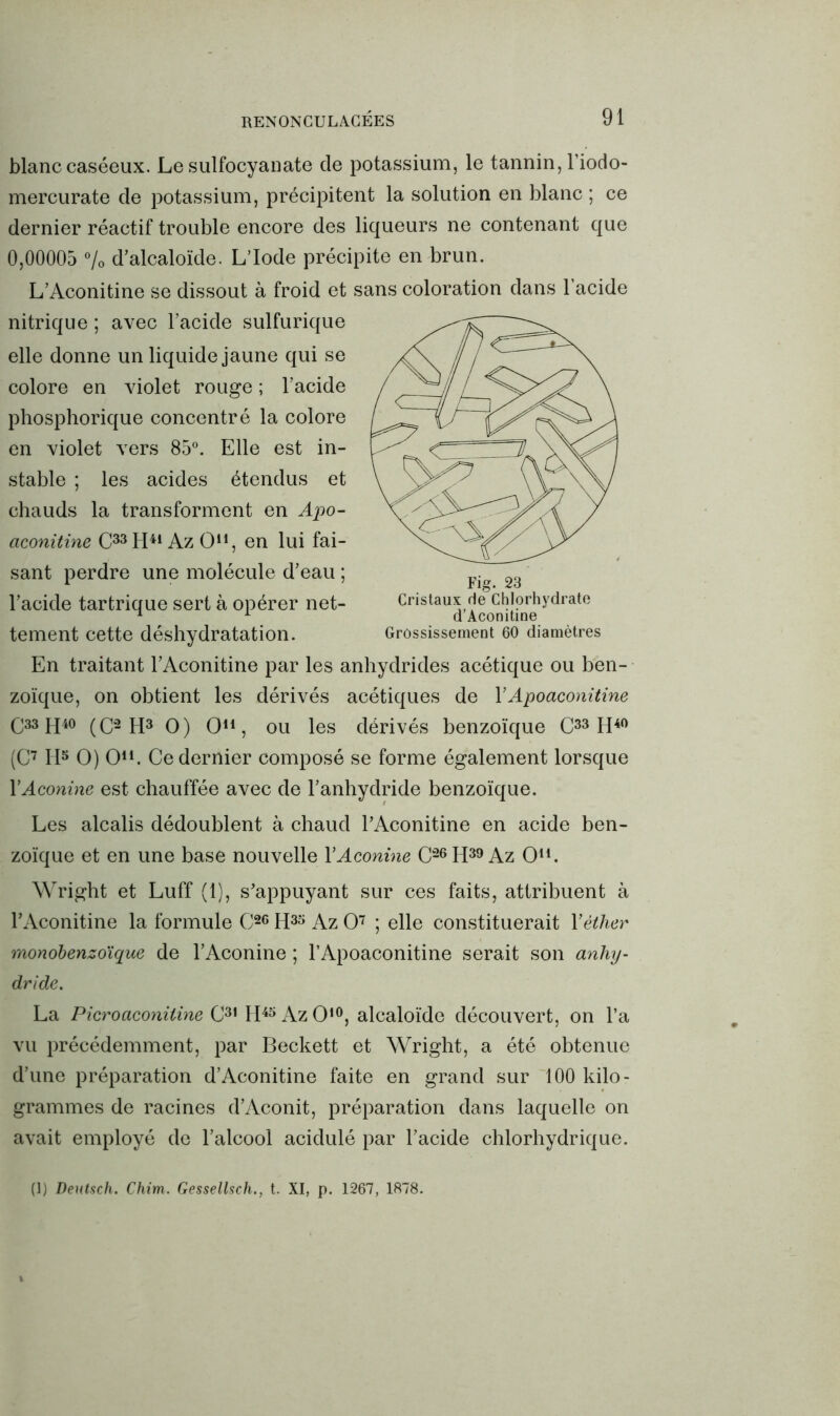 blanc caséeux. Le sulfocyanate de potassium, le tannin, l’iodo- mercurate de potassium, précipitent la solution en blanc ; ce dernier réactif trouble encore des liqueurs ne contenant que 0,00005 % d’alcaloïde. L’Iode précipite en brun. L’Aconitine se dissout à froid et sans coloration dans l’acide nitrique ; avec l’acide sulfurique elle donne un liquide jaune qui se colore en violet rouge ; l’acide phosphorique concentré la colore en violet vers 85°. Elle est in- stable ; les acides étendus et chauds la transforment en Apo- aconitine C33H41 Az O11, en lui fai- sant perdre une molécule d’eau ; l’acide tartrique sert à opérer net- tement cette déshydratation. En traitant l’Aconitine par les anhydrides acétique ou ben- zoïque, on obtient les dérivés acétiques de YApoaconitine G33H40 (C2 H3 O) O11, ou les dérivés benzoïque C33 H40 (C7 II5 O) O11. Ce dernier composé se forme également lorsque YAconine est chauffée avec de l’anhydride benzoïque. Les alcalis dédoublent à chaud l’Aconitine en acide ben- zoïque et en une base nouvelle YAconine C26H39 Az O11. Wright et Luff (1), s’appuyant sur ces faits, attribuent à l’Aconitine la formule C26 H35 Az O7 ; elle constituerait Y éther monobenzoïque de l’Aconine ; l’Apoaconitine serait son anhy- dride. La Picroaconüine C31 H45 Az O10, alcaloïde découvert, on l’a vu précédemment, par Beckett et Wright, a été obtenue d’une préparation d’Aconitine faite en grand sur 100 kilo- grammes de racines d’Aconit, préparation dans laquelle on avait employé de l’alcool acidulé par l’acide chlorhydrique. (!) Deutsch. Chim. Gessellsch., t. XI, p. 1267, 1878.