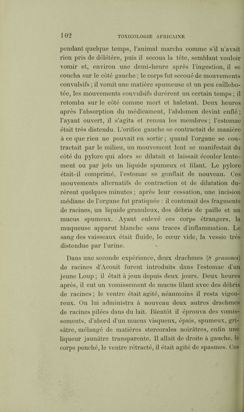 pendant quelque temps, l’animal marcha comme s’il n’avait rien pris de délétère, puis il secoua la tête, semblant vouloir vomir et, environ une demi-heure après l’ingestion, il se coucha sur le côté gauche ; le corps fut secoué de mouvements convulsifs ; il vomit une matière spumeuse et un peu caillebo- tée, les mouvements convulsifs durèrent un certain temps ; il retomba sur le côté comme mort et haletant. Deux heures après l’absorption du médicament, l’abdomen devint enflé ; l’ayant ouvert, il s’agita et remua les membres ; l’estomac était très distendu. L’orifice gauche se contractait de manière à ce que rien ne pouvait en sortir ; quand l’organe se con- tractait par le milieu, un mouvement lent se manifestait du côté du pylore qui alors se dilatait et laissait écouler lente- ment ou par jets un liquide spumeux et filant. Le pylore était-il comprimé, l’estomac se gonflait de nouveau. Ces mouvements alternatifs de contraction et de dilatation du- rèrent quelques minutes ; après leur cessation, une incision médiane de l’organe fut pratiquée : il contenait des fragments de racines, un liquide granuleux, des débris de paille et un mucus spumeux. Ayant enlevé ces corps étrangers, la muqueuse apparut blanche sans traces d’inflammation. Le sang des vaisseaux était fluide, le cœur vide, la vessie très distendue par l’urine. Dans une seconde expérience, deux drachmes (8 grammes) de racines d’Aconit furent introduits dans l’estomac d’un jeune Loup ; il était à jeun depuis deux jours. Deux heures après, il eut un vomissement de mucus filant avec des débris de racines ; le ventre était agité, néanmoins il resta vigou- reux. On lui administra à nouveau deux autres drachmes de racines pilées dans du lait. Bientôt il éprouva des vomis- sements, d’abord d’un mucus visqueux, épais, spumeux, gri- sâtre, mélangé de matières stercorales noirâtres, enfin une liqueur jaunâtre transparente. Il allait de droite à gauche, le corps penché, le ventre rétracté, il était agité de spasmes. Ces