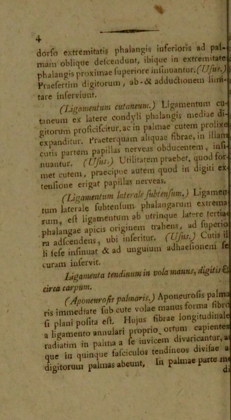 *r dorfn extwmitati* phalangis inferior* ad pal mam oblique delceudunt, ibique in extreinitate phalangis proximae fuperiore mluiuantur. ( Ufus.) WaeferVim digitorum, ab-<5t addudionem li.m tare inferviunt. niei viuui. nj(r ament urn cufaneum.) Ligamentum cu taneum ex latere condylt phnlangis mediae d. gitonlm proficifcitur.ac in palmae cutem probx« expanditur. Praeterquam aliquae fibrae, m ilia cutis partem popilUs nerve.* obduccattem, n r+ nuantur. (UJ«s.) Util.tatem praebet. tmod for met cutem, ptaeeipue autem quod m d.gm tenfione erigat papillas nerve*. _ CUliamcntum laiiratifubtenfnm.) Ligamep turn Inter ale fubtenlum phalangaruirt extrema rum ert ligamentum ab utrinque latere tcm»< phalangae apicis originem trabem, ad ^pono ra adfcendens, ubt mfentur. (UJty Cut* tl li lefe infinuat & ad unguium adhaefionem curam inlervita Ugamenta tendinumin volamanns,digitise circa carp um. (Aponeurofts pahnaris.) Aponeurofis palm, ris immediate Tub cute voiae manus 01 ma fi plani pofita eft. Hujus fibrae longitudinal a lLmento annuiari propno, orfum capiente ® o | r itiwirem divancantur, a radiatim in palma a Te mvicein aiva < one in quinqne t'afciculos tendmeos d.v.iae digitorum paimas abeunt, In palmae parte rm