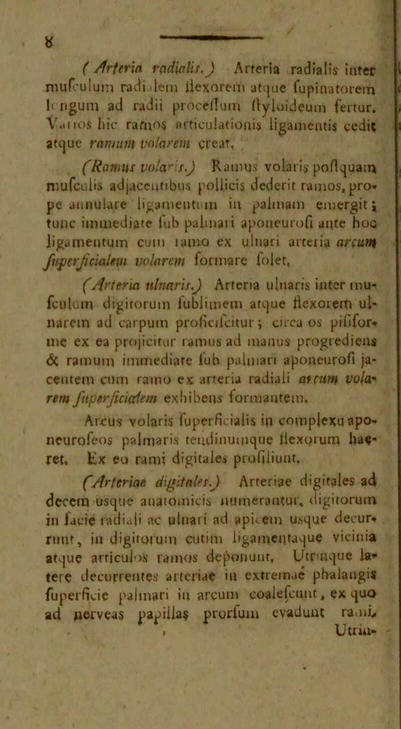 ( /frferia radio lit.) Arteria radialis inter mufculuni radi dem ilexorem atque fupinatorem l< ngum ad radii procellum llyloideum fertur. V.inos nic rafno$ articulatioais ligameutis cedic atque ranmm valorem creat, (Ramus volant.J Ramus volati>- poflquam mu feu l is adjaceutibus poliicis dederit ramos, pro* pe annulare ligameuti in in palmam emergit j tunc immediate Tub paimaii apoueurofi ante hoc Jigamentum cum tamo ex ulnati arteria arcum fuferjicialm volarem formare (olet, (/irttria nlnnris.J Arteria ulnaris inter mu- fculum digitorum fublimetn atque Hexorem ui- narem ad carpum proficikiturj circa os pillfor* me ex ea projicitur ramus ad manus progrediens <k ramum immediate iub palmari aponeurofi ja* ctntem cum ramo ex arteria radiali at cum vola- rem fnperjicitflem ex In bens format} tem. Arcus volaris fuperficialis in cnmplexuapo- neurofeos paimaris teudinumque iiexorum hae* ret. Ex eu rami digitales profiiiuut, (Arteriae digitales.) Arteriae digitales ad dccem usque auatomicis numerautur, digitorum in Jaeie radiali ac ulnati ad ppicem usque decur* runt, in digitorum cutim ligamcntaque vicinia atque articulos ramos deponunt, Utrmque ia* tere decurrentes arteriae in extremae phalangis fuperficie palmari in arcum coalelcunt, ex quo ad nerveas papilla? prorfum evadunt rami, Utrur-