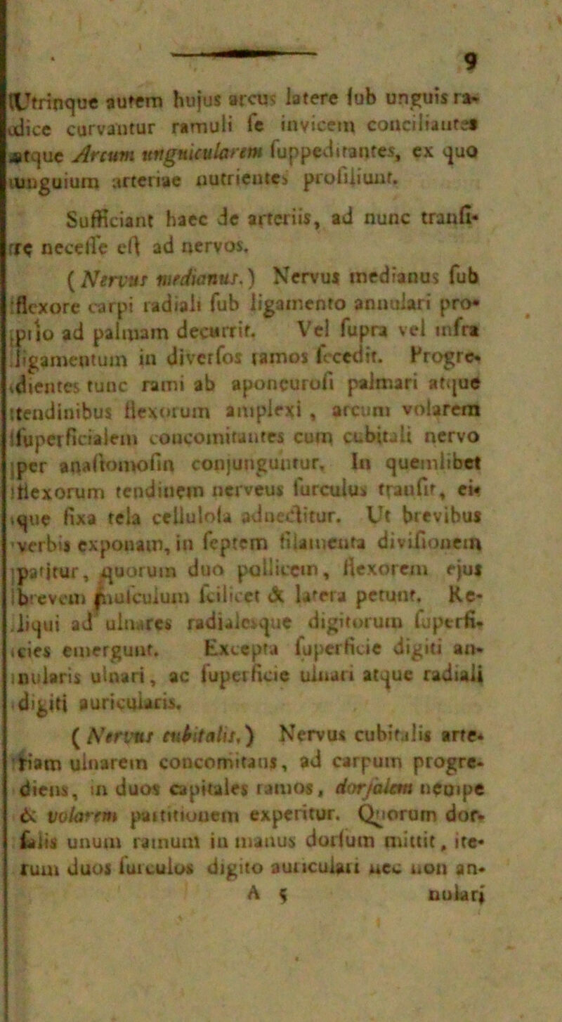 tUtrincjue autem hujus arcus latere lub unguis ra* olice curvantur ramuli fc invicem conciliautea *t<]ue Arcum uttguicularem fuppedirantes, ex quo miiguium arteriae nutrientc> prohiiunf. Sufficiant haec Je artcriis, ad nunc tranfi* rre necelte ef\ ad nervos. (Nervttr meduinur.) Nervus medtanus Tub flexore carpi radial* fub ligamento anuuiari pro* jprio ad paliuam decurrif. Vel fupra vei infra ligamentuin in divcrfos lamos fecedtt. Progre* vdientes tunc rami ab aponcurufi palmari at<|ue stendinibus liexorum amplrxi , arcum volarera tfuperficiaJem coueomitantes cum cubitali nervo per anaftomofm conjunguutur, In quemiibet ,‘ttexorum tendiocm nerveus furculu* traufir, ei* «ue fixa tela cellulola adneditur. Ut brevibus verbis exponam, in feptem fiUmenta divifionein ipa'itur, quorum duo pallicctn, Hexorem e|us ibrevem (nulcuium kilicet & lafera permit. Re- jjitjui ad ulnares radialcrque digitorurn fuptrfi- icies emergunt. Exccpta fuperficie digiti an. inularis ulnari, ac fuperficie uiuan aque radtaii digiti aurkuiaris. ( Ntrvns euHtalU,) Nervus cubifalis arte* tiam ulnarem concorrutaus, ad carpum progre* diens, ui duos opttales ramos, dorjaitm nempc 6; volarem poimiuuem experitur. Quorum dor. &Jis unum rainum in manus dorium mictit, ite* Cum duos iuicuius digito auncuiau nec non an* A 5 nuiarj