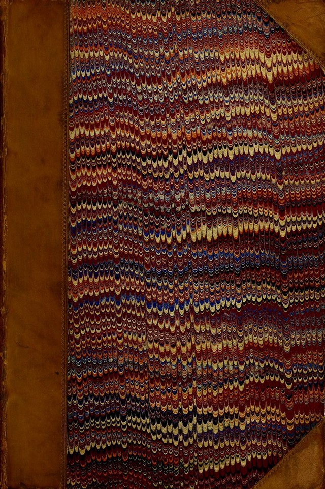 No text description is available for this image