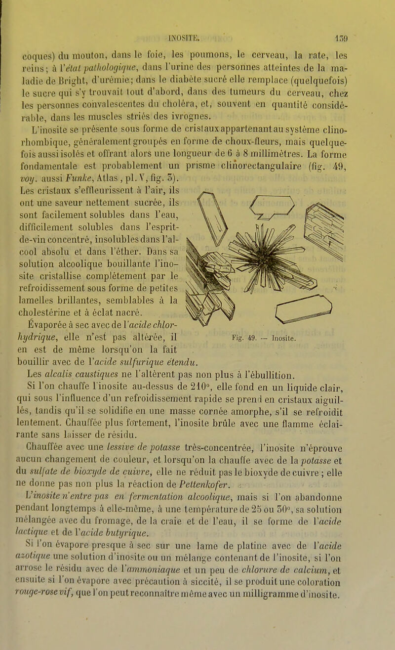 INOSITIi. coques) du mouton, dans le foie, les poumons, le cerveau, la rate, les reins; à {'état pathologique, dans l'urine des personnes atteintes de la ma- ladie de Bright, d'urémie; dans le diabète sucré elle remplace (quelquefois) le sucre qui s'y trouvait tout d'abord, dans des tumeurs du cerveau, chez les personnes coiivalescentes du choléra, et, souvent en quantité considé- rable, dans les muscles striés des ivrognes. L'inosite se présente sous forme de cristauxappartenantau système clino- rhombique, généralement groupés en forme de choux-fleurs, mais quelque- fois aussi isolés et offrant alors une longueur de 6 à 8 millimètres. La forme fondamentale est probablement un prisme clinorectangulaire (fig. 49, voij. aussi Fîinke, Atlas , pl. V, fig. 3). Les cristaux s'effleurissent à l'air, ils ont une saveur nettement sucrée, ils sont facilement solubles dans l'eau, difficilement solubles dans l'esprit- de-vin concentré, insolubles dans l'al- cool absolu et dans l'éther. Dans sa solution alcoolique bouillante l'ino- site cristallise complètement par le refroidissement sous forme de petites lamelles brillantes, semblables à la cholestérine et à éclat nacré. Evaporée à sec avec de l'acide chlor- hydrigue, elle n'est pas altérée, il Fig. 49. — inosite. en est de même lorsqu'on la fait bouillir avec de Vacide sulfiiriqiie étendu. Les alcalis caustiques ne l'altèrent pas non plus à l'ébuHition. Si l'on chauffe l'inosite au-dessus de 210°, elle fond en un liquide clair, qui sous l'influence d'un refroidissement rapide se prend en cristaux aiguil- lés, tandis qu'il se solidifie en une masse cornée amorphe, s'il se refroidit lentement. Chauffée plus fortement, l'inosite brûle avec une flamme éclai- rante sans liiisser de résidu. Chauffée avec une lessive de potasse très-concentrée, l'inosite n'éprouve aucun changement de couleur, et lorsqu'on la chauffe avec de la potasse et du sulfate de hioxyde de cuivre, elle ne réduit pas le bioxyde de cuivre ; elle ne donne pas non plus la réaction de Peltenkofer. . L'inosite n'entre pas en fermentation alcoolique, mais si l'on abandonne pendant longtemps à elle-même, à une température de 25 ou 50°, sa solution mélangée avec du fromage, de la craie et de l'eau, il se forme de Vacide lactique et de Vacide butyrique. Si l'on évapore presque à sec sur une lame de platine avec de Vacide azotique une solution d'inosite ou un mélange contenant de l'inosite, si l'on arrose le résidu avec de Vammoniaque et un peu de chlorure de calcium, et ensuite si l'on évapore avec précaution à siccité, il se produit une coloration rouge-rose vif, que l'on peut reconnaître môme avec un milligramme d'inosite.