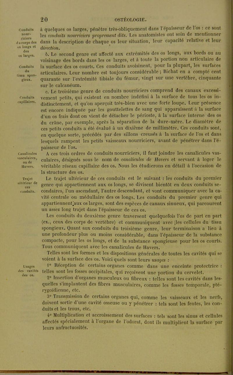 Conduits nour- riciers il u corps des os longs et des os lai'ges. Conduits du lissu spon- gieux. Conduits capillaires. r.analicules vasculaires, ou de Havers. Trajet ultérieur de ces conduits. Usages des cavités (les os. c\ quelques os larges, pénètre très-obliquemeiit dans l'épaisseur de l'os : ce sont les comluits nowriciers proprement dits. Les anatomisles ont soin de mentionne)- dans la description de chaque os leur situation, leur capacité relative et leur direction. b. Le second genre est affecté aux extrémités des os longs, aux bords ou au voisinage des bords dans les os larges, et à toute la portion non articulaire de la surface des os courts. Ces conduits avoisinent, pour la plupart, les surfaces articulaires. Leur nombre est toujours considérable ; Bichat en a compté cent quarante sur l'extrémité tibiale du fémur, vingt sur une vertèbre, cinquante sur le calcanéum. c. Le troisième genre de conduits nourriciers comprend des canaux excessi- vement petits, qui existent en nombre indéfini à la surface de tous les os in- distinctement, et qu'on aperçoit très-bien avec une forte loupe. Leur présence est encore indiquée par les gouttelettes de sang qui apparaissent à la surface d'un os frais dont on vient de détacher le périoste, à la surface interne des os du crâne, par exemple, après la séparation de la dure-mère. Le diamètre de ces petits conduits a été évalué à un dixième de millimètre. Ces conduits sont, en quelque sorte, précédés par des sillons creusés à la surface de l'os et dans lesquels rampent les petits vaisseaux nourriciers, avant de pénétrer dans l'é- paisseur de l'os. A ces trois ordres de conduits noui-riciers, il faut joindre les canalicules vas- culaires, désignés sous le nom de canalicules de Havers et servant à loger le véritable réseau capillaire des os. Nous les étudiei'ons en détail à l'occasion de la structure des os. Le trajet ultérieur de ces conduits est le suivant : les conduits du premier genre qui appartiennent aux os longs, se divisent bientôt en deux conduits se- condaires, l'un ascendant, l'autre descendant, et vont communiquer avec la ca- vité centrale ou médullaire des os longs. Les conduits du premier genre qui appartiennent^aux os larges, sont des espèces de canaux sinueux, qui parcourent un assez long trajet dans l'épaisseur de ces os. Les conduits du deuxième genre traversent quelquefois l'os de part en part (ex., ceux des corps de vertèbre) et communiquent avec [les cellules du tissu spongieux. Quant aux conduits du troisième genre, leur terminaison a lieu à une profondeur plus ou moins considérable, dans l'épaisseur de la substance compacte, pour les os longs, et de la substance spongieuse pour les os courts. Tous communiquent avec les canalicules de Havers. Telles sont les formes et les dispositions générales de toutes les cavités qui se voient à la surface des os. Voici quels sont leurs usages : \° Réception de certains organes comme dans une enceinte protectrice : telles sont les fosses occipitales, qui reçoivent une portion du cervelet. 2» Insertion d'organes musculeux ou fibreux : telles sont les cavités dans les- quelles s'implantent des fibres musculaires, comme les fosses temporale, pté- rygoïdicnne, etc. 3° Transmission de certains organes qui, comme les vaisseaux et les nerfs, doivent sortir d'une cavité osseuse ou y pénétrer : tels sont les fentes, les con- duits et les trous, etc. 4» Multiplication et accroissement des surfaces : tels sont les sinus et cellules affectés spécialement à l'organe de l'odorat, dont ils multiplient la surface par leurs anfracluosités.