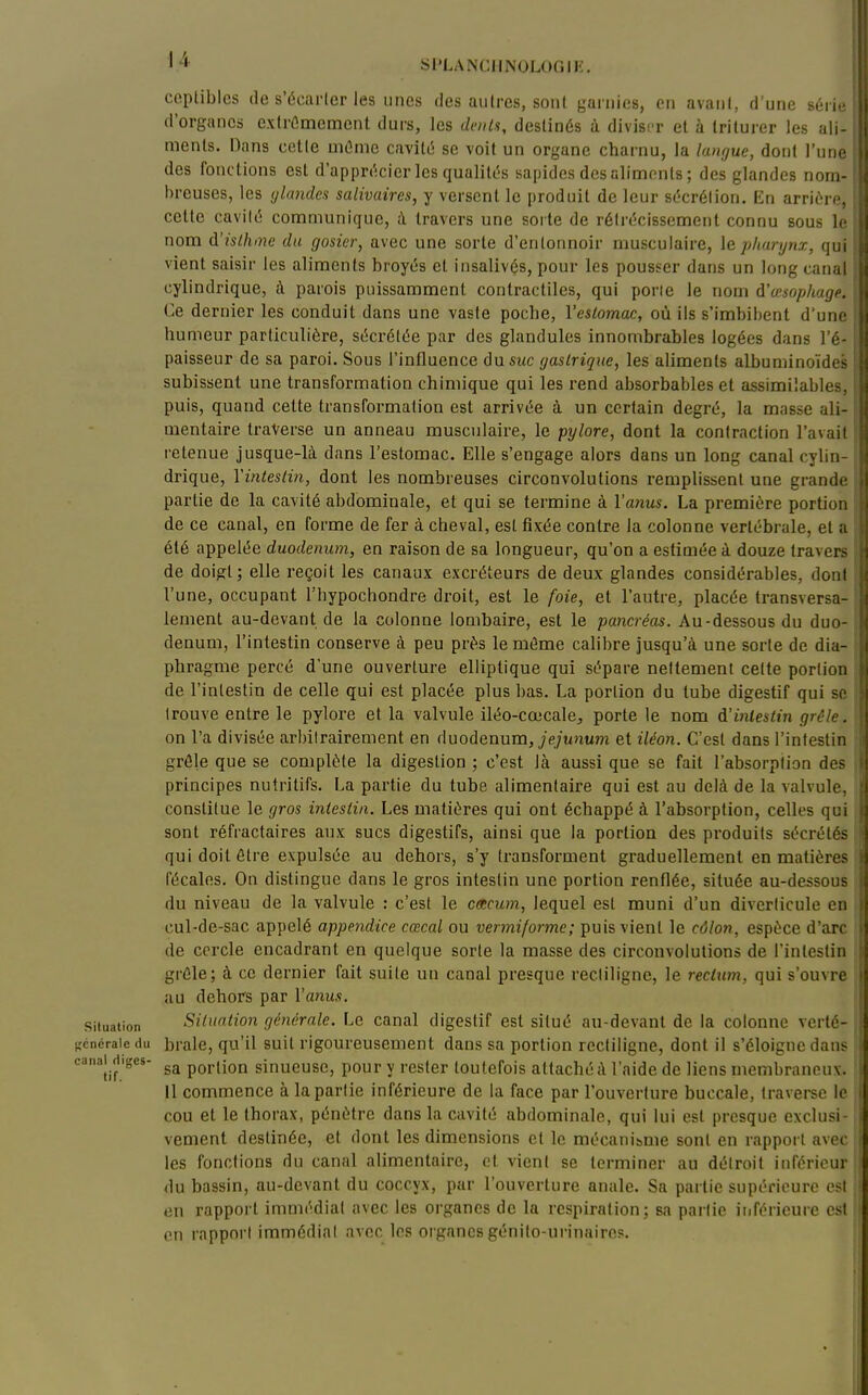 'si'LAN(;:iiNOL(>r.ii'. ceptibics de s'ecarler les unes des aiilrcs, soiil garnies, en avanl, d'une série d'organes exlrûmemenl durs, les dciils, destinés à divisi r et à triturer les ali- ments. Dans cette mûme cavité se voit un organe charnu, la langue, dont l'une des fonctions est d'apprécier les qualités sapides des aliments ; des glandes nom- breuses, les (jlandex salivaires, y versent le produit de leur sécrélion. Kn arriére, celte cavité communique, à travers une soite de rétrécissement connu sous le nom A'isthmc du gosier, avec une sorte d'entonnoir musculaire, \& pharynx, qui vient saisir les aliments broyés et insalivés, pour les pousser dans un long canal* cylindrique, à parois puissamment contractiles, qui porle le nom d'œsophage.' Ce dernier les conduit dans une vaste poche, l'eslomac, où ils s'imbibent d'une humeur particulière, sécrétée par des glandules innombrables logées dans l'é- paisseur de sa paroi. Sous l'influence duswc gastrique, les aliments albuminoïdes ; subissent une transformation ch imique qui les rend absorbables et assimilables, puis, quand cette transformation est arrivée à un certain degré, la masse ali- mentaire traverse un anneau musculaire, le pylore, dont la contraction l'avait retenue jusque-là dans l'estomac. Elle s'engage alors dans un long canal cylin- drique, Yinteslin, dont les nombreuses circonvolutions remplissent une grande partie de la cavité abdominale, et qui se termine à Vanus. La première portion de ce canal, en forme de fer à cheval, est fixée contre la colonne vertébrale, et a été appelée duodénum, en raison de sa longueur, qu'on a estimée à douze travers de doigt; elle reçoit les canaux excréteurs de deux glandes considérables, dont l'une, occupant Thypochondre droit, est le foie, et l'autre, placée transversa- lement au-devant de la colonne lombaire, est le pancréas. Au-dessous du duo- dénum, l'intestin conserve à peu prés le même calibre jusqu'à une sorte de dia- phragme percé d'une ouverture elliptique qui sépare nettement celte portion de l'intestin de celle qui est placée plus bas. La portion du tube digestif qui se trouve entre le pylore et la valvule iléo-cœcale, porte le nom d'inlestin grêle. on l'a divisée arbitrairement en duodénum, je/unum et iléon. C'est dans l'intestin grêle que se complète la digestion ; c'est là aussi que se fait l'absorplion des principes nutritifs. La partie du tube alimentaire qui est au delà de la valvule, constitue le gros intestin. Les matières qui ont échappé à l'absorption, celles qui sont réfracfaires aux sucs digestifs, ainsi que la portion des produits sécrétés qui doit être expulsée au dehors, s'y transforment graduellement en matières fécales. On distingue dans le gros intestin une portion renflée, située au-dessous du niveau de la valvule : c'est le cacum, lequel est muni d'un diverticule en cul-de-sac appelé appendice cœcal ou vermiforme; puis vient le côlon, espèce d'arc de cercle encadrant en quelque sorte la masse des circonvolutions de l'intestin f grCle; à ce dernier fait suite un canal presque recliligne, le rectum, qui s'ouvre t au dehors par l'anus. Situation Situation générale. Le canal digestif est situé au-devant de la colonne vcrté- •(cncraie du bralc, qu'il suit rigoureusement dans sa portion recliligne, dont il s'éloigne dans canaMiges- portion sinucuse, pour y rester toutefois attaché à l'aide de liens membraneux. 11 commence à la partie inférieure de la face par l'ouverture buccale, traverse le i cou et le thorax, pénètre dans la cavité abdominale, qui lui est presque exclusi- vement destinée, et dont les dimensions et le mécani&me sont en rapport avec les fonctions du canal alimentaire, et vient se terminer au détroit inférieur du bassin, au-devant du coccyx, par l'ouverture anale. Sa partie supénourc est en rapport immédiat avec les organes de la respiration; sa partie iiiféricure est on rapport immédiat avec les organes génito-urinaircs.