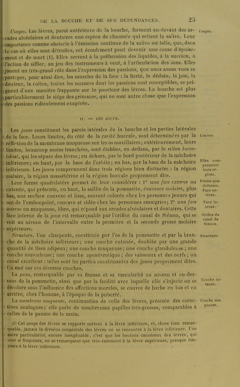 Uioges. Les lèvres, paroi antérieure iIc la bouche, forment au-devant des ar- usages, c udes alvéolaires et dentaires une espèce de chausst'e qui refient la salive. Leur i inportance comme obstacle à l'émission continue delà salive est telle, que, dans \c cas où elles sont détruites, cet écoulement peut devenir une cause d'épuise- ment et de mort (1). lîllcs servent à la préhension des liquides, à la succion, à iclion de siffler, au jeu des instrunienis à vent, à l'articulation des sons. Elles ,,jLient un très-grand rôle dans l'expression des passions, que nous avons vues se [larfrger, pour ainsi dire, les muscles de la face : la fierté, le dédain, la joie, la douleur, la colère, toules les nuances dont les passions sont susceptibles, se pei- gnent d'une manière frappante sur le pourtour des lèvres. La bouche est plus parliculièrement le siège des grimaces, qui ne sont autre chose que l'expression lies passions ridiculement exagérée. II. — DES JOLTS. Les joués constituent les parois latérales de la bouche et les parties latérales de la face. Leurs limites, du côté de la cavité buccale, sont déterminées par la réflpxion de la membrane muqueuse sur les os maxillaires ; extérieurement, leurs limites, beaucoup moins tranchées, sont établies, en dedans, par le sillon biicco- labial, qui les sépare des lèvres ; en dehors, par le bord postérieur de la mâchoire inférieure; en haut, par la base de l'orbite; en bas, par la base de la mâchoire inférieure. Les Joues comprennent donc trois régions bien distinctes : la région malaire, la région massétérine et la région buccale proprement dite. Leur forme quadrilatère permet de leur considérer : \° une face externe ou cutanée, qui présente, en haut, la saillie de la pommette, éminence molaire, plus bas, une surface convexe et lisse, souvent colorée chez les personnes jeunes qui ont de l'embonpoint, concave et ridée chez les personnes amaigries; 2 une face interne ou muqueuse, libre, qui répond aux arcades alvéolaires et denlaires. Celte face interne de la Joue est remarquable par l'orifice du canal de Sténon, qui se voit au niveau de l'intervalle entre la première et la seconde grosse molaire supérieure. Structure. Une charpente, constituée par l'os de la pommette et par la bran- che de la niAchoire inférieure; une couche cutanée, doublée par une grande quantité de tissu adipeux; une couche muqueuse; une couche glanduleuse ; une couche niusculeuse; une couche aponévrolique ; des vaisseaux et des nerfs; un canal excréteur : telles sont les parties coiistituanles des joues proprement dites. Un mol sur ces diverses couches. La peau, reniarquable par sa finesse et sa vascularilé au niveau et au-des- sous de la pommette, ainsi que par la facilité avec laquelle elle s'injecte ou se décolore sous l'inHuence des affections morales, se couvre de barbe en bas et en arrière, chez l'homme, à l'époque de la puberté. La. membrane muqueuse, continuation de celle des lèvres, présente des carac- tères analogues; elle porte de nombreuses papilles très-grosses, comparables à celles de la paume de la main. fl) Cet usiige des lèvres se rapporte surtout à la lèvre inférieure, et, chose l)ien remar- quable, jamais In division congéniîilc des lèvres ne se lenconlre i\ la lèvre inférieure. Une autre particiilariié, encore inexplicalile, c'est que les Ijoiitoiis cancéreux drs lèvres, qui sont si fréquents, ne se remarquent que Irùs-raremcnl ;i la lèvre supérieure, presque tou- jours à la lùvro inférieure. ' Limilef. Elles com preuneiit trois ré- gions. Forme qiia- (Irilalère. Face e:i- terne. Face in- terne. OriDce du canal de Sténon. Structure. Couche eu tance. Couche mu queuse.