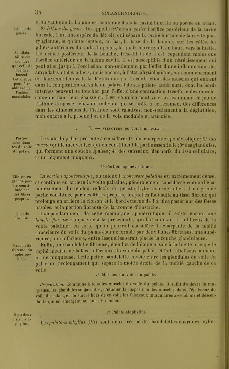 'M yPLANCHNOLOLilL;. Islliiiie ilii Sa dilata- bilité est moindre que celle de l'orifice buccal. Cet orifice peut êire oblitéré par l'action musculaire. ol suivant que lu langue est contenue dans la cavité Ijuccale ou portée en avanl. 8» Isllime du gosier. On appelle isthme du gosier l'orifice postérieur de la caviti- buccale. C'est une espiH'e de détroit, qui st'-pare la cavité buccale de la cavité plia- ryngionne, cl qu'interceptent, en bas, la base de la langue, sur les cftlés, les piliers antérieurs du voile du palais, lesquels convergent, en haut, vers la luette. Cet orifice postérieur de la bouche, trOis-dilalable, l'est cependant moins que l'orifice antérieur de la môme cavité. 11 est susceptible d'un rétrécissement qui peut aller jusqu'à l'occlusion, non-seulement par l'eilet d'une inflammation des amygdales et des piliers, mais encore, à l'état physiologique, au commencement du deuxième temps de la déglutition, par la contraction des muscles qui entrent dans la composilion du voile du palais et de ses piliers antérieurs, dont les bords internes peuvent se toucher par l'effet d'une contraction trés-forte des muscles contenus dans leur épaisseur. C'est ce qu'on peut voir en examinant le jeu de l'isthme du gosier chez un individu qui se prête à cet examen. Ces différences dans les dimensions de l'isthme sont relatives, non-seulement à la déglutition, mais encore à la produclion de la voix modulée et articulée. ê. — SIRLCTUIIE DU VOILE DU PALAIS. Parties constituan- tes du voile du palais. Elle est en grande par- tie consti- tuée par des fibres propres. Lamelle fibreuse. Raudelette fibreuse du raphé mé- dian . Le voile du palais présente à considérer 1  une charpente aponévrotique ; 2° des muscles qui le meuvent, et qui en constituent la partie essentielle; 3° des gland nies, qui forment une couche épaisse; 4° des vaisseaux, des nerfs, du tissu cellulaire; 5° un tégument niuqueux. 1» Portion aponévrotique. La portion aponévrotique, ou mieux Vaponévrose palatine est extrêmement dense, et continue en arrière la voûte palatine; généralement considérée comme l'épa- nouissement du tendon réfléchi du péristaphylin externe, elle est en grande partie constituée par des fibres propres, lesquelles font suite au tissu fibreux qui prolonge en arrière la cloison et le bord externe de l'orifice postérieur des fosses nasales, et la portion fibreuse de la trompe d'Lustache. Indépendamment de cette membrane aponévrotique, il existe encore une lamelle fibreuse, subjacente à la précédente, qui fait suite au tissu fibreux de la voûte palatine; en sorte qu'on pourrait considérer la charpenle de la moitié supérieure du voile du palais comme formée par deux lames fibreuses, une supé- rieure, une inférieure, entre lesquelles serait placée la couche glanduleuse. Enfin, une bandelette fibreuse, étendue de l'épine nasale à la luette, occupe le raphé médian de la face inférieure du voile du palais, et fait relief sous la mem- brane muqueuse. Cette petite bandelette envoie entre les glandules du Aoile du palais un prolongement qui sépare la moitié droite de la moitié gauche de ce voile. 2 Muscles du volie du palais. Préparation. Commune à tous les muscles dn voile du palais. Il suffit d'enlever la mu- queuse, les glandules suhjacentes, d'étudier la disposition des muscles dans l'épaisseur du voile du palais, et de suivre hors de ce voile les faisceaux musculaires ascendants et descen- dants qui en émergent ou qui s'y rendent. Il y u deux palatosla- phyliiis. 1 l*alato-staphyIlns. Les palato-slaphylins [Vis) sont deux très-petites bandelettes charnues, cylin-