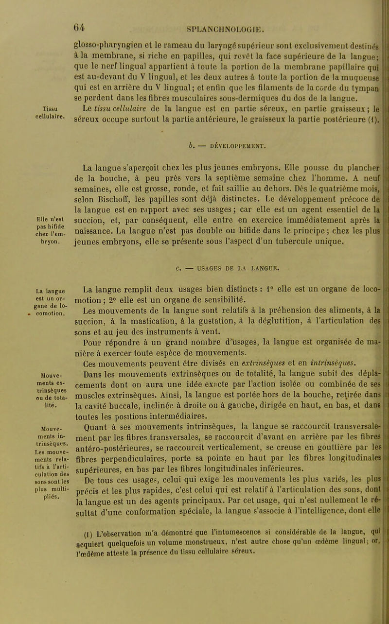 glosso-phnryngien et le rameau du laryngé supérieur sont exclusivement deslinég à la membrane, si riche en papilles, qui rcvOt la face supérieure de la langue; que le nerf lingual appartient à foule la portion de la membrane papillaire qui est au-devant du V lingual, et les deux autres à toute la portion de la muqueuse qui est en arrière du V lingual ; et enfin que les filaments de la corde du tympan se perdent dans les fibres musculaires sous-dermiques du dos de la langue. Tissu Le tissu cellulaire de la langue est en partie séreux, en partie graisseux ; le lluiaire. gércux occups surtout la partie antérieure, le graisseux la partie postérieure (1). b. — DÉVELOPPEMENT. La langue s'aperçoit chez les plus jeunes embryons. Elle pousse du plancher de la bouche, à peu près vers la septième semaine chez l'homme. A neuf semaines, elle est grosse, ronde, et fait saillie au dehors. Dès le quatrième mois, selon Bischoff, les papilles sont déjà distinctes. Le développement précoce de la langue est en r;ipport avec ses usages ; car elle est un agent essentiel de la Elle n'est succiou, et, par conséquent, elle entre en exercice immédiatement après la ^hez^'em- naissance. La langue n'est pas double ou bifide dans le principe ; chez les plus bryon. jeunes embryous, elle se présente sous l'aspect d'un tubercule unique. C. — USAGES DE LA LANGUE. La langue est un or- gane de lo- comotion. Mouve- ments ex- trinsèques ou de tota- lité. Mouve- ments in- trinsèques. Les mouve- ments rela- tifs à l'arti- culation des sons sont les plus multi- pliés. La langue remplit deux usages bien distincts : 1° elle est un organe de loco- motion ; 2° elle est un organe de sensibilité. Les mouvements de la langue sont relatifs à la préhension des aliments, à la succion, à la mastication, à la gustation, à la déglutition, à l'articulation des sons et au jeu des instruments à vent. Pour répondre à un grand nombre d'usages, la langue est organisée de ma- nière à exercer toute espèce de mouvements. Ces mouvements peuvent être divisés en extrinsèques et en intrinsèques. Dans les mouvements extrinsèques ou de totalité, la langue subit des dépla- cements dont on aura une idée exncte par l'action isolée ou combinée de se:^ muscles extrinsèques. Ainsi, la langue est portée hors de la bouche, retirée dan* la cavité buccale, inclinée à droite ou à gauche, dirigée en haut, en bas, et dans toutes les positions intermédiaires. Quant à ses mouvements intrinsèques, la langue se raccourcit transversale- ment par les fibres transversales, se raccourcit d'avant en arrière par les fibres antéro-postérieures, se raccourcit verticalement, se creuse en gouttière par le? fibres perpendiculaires, porte sa pointe en haut par les fibres longitudinales supérieures, en bas par les fibres longitudinales inférieures. De tous ces usages, celui qui exige les mouvements les plus variés, les plus précis et les plus rapides, c'est celui qui est relatif à l'articulation des sons, dont la langue est un des agents principaux. Par cet usage, qui n'est nullement le ré- sultat d'une conformation spéciale, la langue s'associe à l'intelligence, dont elle (1 ) L'observation m'a démontré que l'intumescence si considérable de la langue, qui acquiert quelquefois un volume monstrueux, n'est autre chose qu'un œdème lingual ; or, l'œdème atteste la présence du tissu cellulaire séreux.