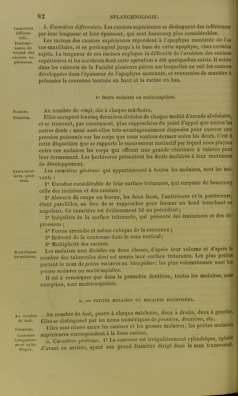 Caraclcrcs diflcrcu- tiels. Prédomi- nance de volume des canines su- périeures. b. Caractères difj'érenliels. Les canines supérieures se distinguent des inférieures parleur longueur et leur épaisseur, qui sont beaucoup plus considérables. Les racines des canines supérieures répondent à l'apophyse montante de l'os sus-maxillaire, et se prolongent jusqu'à la base de cette apophyse, chez certains sujets. La longueur de ces racines explique la difficulté de l'avulsion des canines supérieures et les accidents dont celte opération a été quelquefois suivie. 11 existe dans les cabinets de la Faculté plusieurs pièces sur lesquelles on voit les canines développées dans l'épaisseur de l'apophyse montante, et renversées de manière à présenter la couronne tournée en haut et la racine en bas. 4° Dents molaires ou mullicuspidées. Nombre. Au nombre de vingt, dix à chaque mâchoire. Situation. Elles occupent les cinq dernières alvéoles de chaque moitié d'arcade alvéolaire, et se trouvent, par conséquent, plus rapprochées du point d'appui que toutes les autres dents : aussi sont-elles très-avantageusement disposées pour exercer une pression puissante sur les corps que nous voulons écraser entre les dents. C'est à cette disposition que se rapporte le mouvement instinctif par lequel nous plaçons entre ces molaires les corps qui offrent une grande résistance à vaincre pour leur écrasement. Les herbivores présentent les dents molaires à leur maximum de développement. Leurscarac- Lcs Caractères généraux qui appartiennent à toutes les molaires, sont les sui- lères géné- ^.^^^^ . i° Étendue considérable de leur surface triturante, qui surpasse de beaucoup celle des incisives et des canines ; 2 Absence de coupe en biseau, les deux faces, l'antérieure et la postérieure, étant parallèles, au lieu de se rapprocher pour former un bord tranchant ou anguleux. Ce caractère est évidemment lié au précédent; 3° Inégalités de la surface triturante, qui présente des éminences et des dé- pressions ; 4° Forme arrondie et même cubique de la couronne ; 5° Brièveté de la couronne dans le sens vertical; 6° Multiplicité des racines. Deux classes Lcs molaircs sont divisées en deux classes, d'après leur volume et d'après le de molaires, nombre des tubercules dont est armée leur surface triturante. Les plus petites portent le nom de petites molaires oa bicu^pidées ; les plus volumineuses sont les grosses molaires ou multicuspidées. Il est à remarquer que dans la première dentition, toutes les molaires, sans exception, sont multicuspidées. I. — PETITES MOLAIRES OU MOLAIRES BICUSPIDÉES. Au nombre Au nombre de huit, quatre à chaque mâchoire, deux à droite, deux à gauche. de huit. Elles se distinguent par les noms numériques de première, deuxième, etc. Situation. Llles sont situées entre les canines et les grosses molaires ; les petites molaires Couronne supérieures correspondent à la fosse canine. irréguiicre- ^ Caractères généraux. 1° La couronne est irrégulièrement cylindrique, aplatie drlquï!' d'avant en arrière, ayant son grand diamètre dirigé dans le sens transversal.