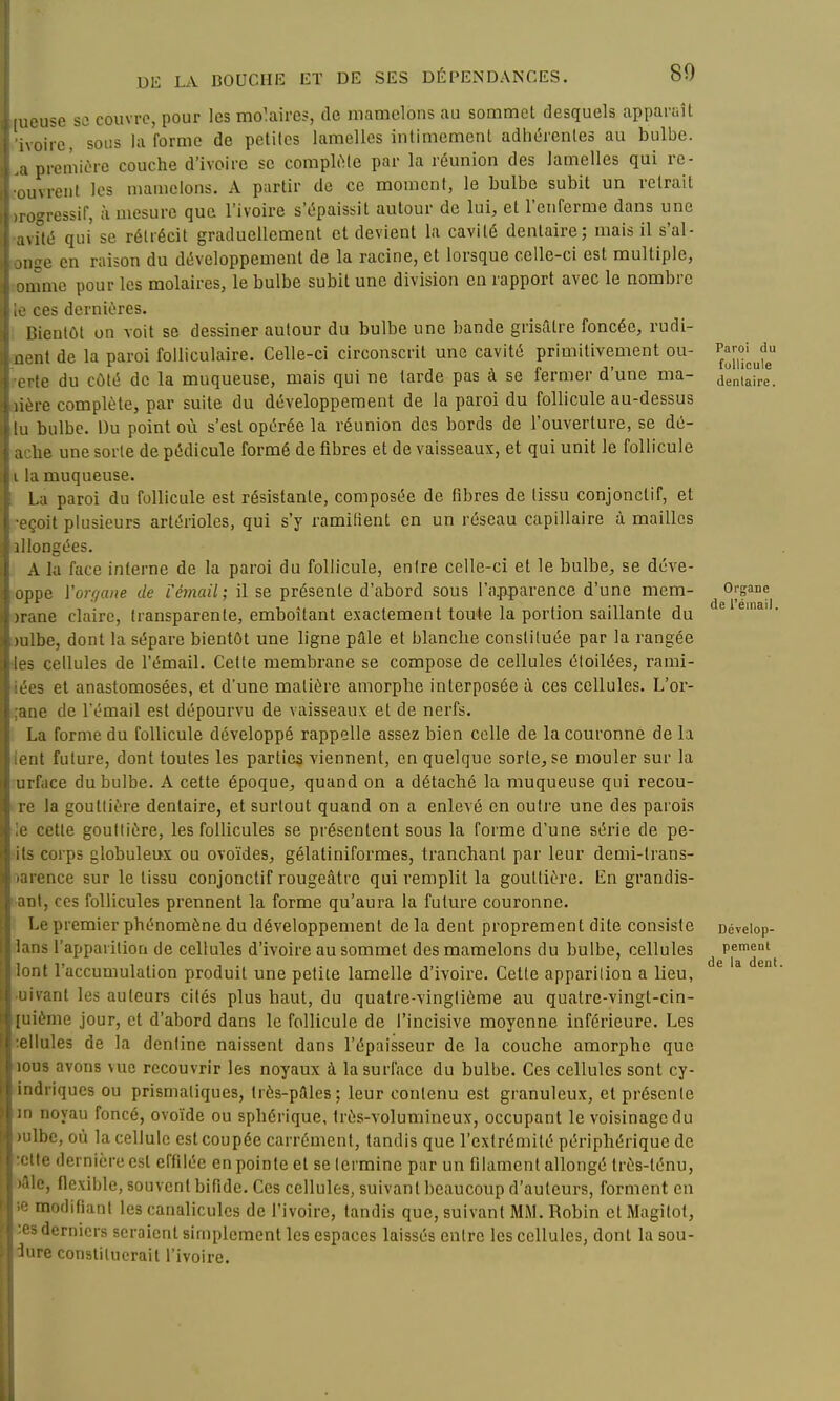 80 [uouse se couvre, pour les molaires, de mamelons au sommet desquels apparaît ivoire, soiis la forme de petites lamelles intimement adhérentes au bulbe. :i première couche d'ivoire se compltMe par la réunion des lamelles qui re- ivreiit les mamelons. A partir de ce moment, le bulbe subit un retrait igressif, à mesure que l'ivoire s'épaissit autour de lui, et l'enferme dans une ivUé qui se rétrécit graduellement et devient la cavité dentaire; mais il s'ai- de en raison du développement de la racine, et lorsque celle-ci est multiple, nme pour les molaires, le bulbe subit une division en rapport avec le nombre ces dernières. lîientôt on voit se dessiner autour du bulbe une bande grisfitre foncée, rudi- nt de la paroi folliculaire. Celle-ci circonscrit une cavité primitivement ou- ïe du côté de la muqueuse, mais qui ne tarde pas à se fermer d'une ma- re complète, par suite du développement de la paroi du follicule au-dessus bulbe. Ou point où s'est opérée la réunion des bords de l'ouverture, se dé- lie une sorte de pédicule formé de fibres et de vaisseaux, et qui unit le follicule i muqueuse. La paroi du follicule est résistante, composée de fibres de tissu conjonctif, et •oit plusieurs artérioles, qui s'y ramifient en un réseau capillaire à mailles ongées. A la face interne de la paroi du follicule, entre celle-ci et le bulbe, se déve- ipe Vorr/aiie de 'l'émail; il se présente d'abord sous l'apparence d'une mem- )rane claire, transparente, emboîtant exactement toute la portion saillante du :!be, dont la sépare bientôt une ligne pûle et blanche constituée par la rangée ~ cellules de l'émail. Cette membrane se compose de cellules éloilées, rami- •3 et anastomosées, et d'une matière amorpbe interposée à ces cellules. L'or- le de l'émail est dépourvu de vaisseaux et de noi'fs. La forme du follicule développé rappelle assez bien celle de la couronne de la :it future, dont toutes les parties -viennent, en quelque sorte, se mouler sur la urface du bulbe. A cette époque, quand on a détaché la muqueuse qui recou- ■ la gouttière dentaire, et surtout quand on a enlevé en outre une des parois cette gouttière, les follicules se présentent sous la forme d'une série de pe- - corps globuleux ou ovoïdes, gélatiniformes, tranchant par leur demi-trans- ' iience sur le tissu conjonctif rougeâtre qui remplit la gouttière. En grandis- •il, ces follicules prennent la forme qu'aura la future couronne. Le premier phénomène du développement delà dent proprement dite consiste 1 ins l'apparition de cellules d'ivoire au sommet des mamelons du bulbe, cellules rit l'accumulation produit une petite lamelle d'ivoire. Cette apparilion a lieu, vaut les auteurs cités plus haut, du quatre-vingtième au quatre-vingt-cin- iènie jour, et d'abord dans le follicule de l'incisive moyenne inférieure. Les Iules de la dentine naissent dans l'épaisseur de la couche amorpbe que us avons vue recouvrir les noyaux à la surface du bulbe. Ces cellules sont cy- driques ou prismatiques, très-pâles; leur contenu est granuleux, et présente noyau foncé, ovoïde ou sphérique, très-volumineux, occupant le voisinage du Ibe, où la cellule est coupée carrément, tandis que l'extrémité périphérique de te dernière est effilée en pointe et se termine par un filament allongé très-ténu, •■<!, flexible, souvent bifide. Ces cellules, suivant beaucoup d'auteurs, forment en modifiant les canalicules de l'ivoire, tandis que, suivant MM. Robin et Magilot, ~ derniers seraient simplement les espaces laissés entre les cellules, dont la sou- iiire constituerait l'ivoire. Paroi du follicule dentaire. Oi'gane de réiiiail. Dévelop- pement de la dent.