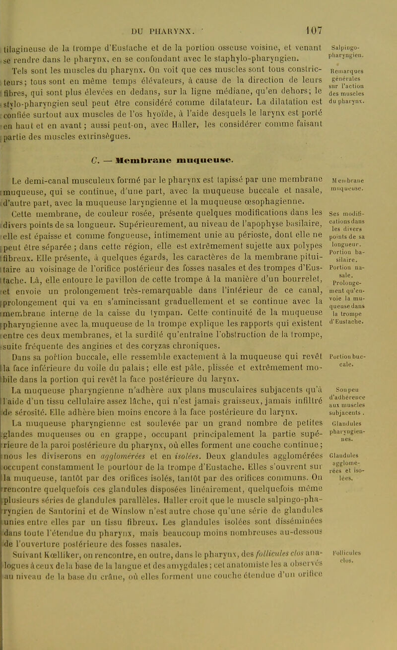 Ulagineuse de la (rompe d'EusIache et de la portion osseuse voisine, et venant Saipiugo- -se rendre dans le pharynx, en se confondant avec le slaphylo-pliaryngien. piiarj-nyicn. Tels sont les mnscles du pharynx. On voit que ces muscles sont tous conslric- Remarques leurs; toussent en môme temps élévateurs, à cause de la direction de leurs générales ' ' sur 1 uctioii fibres, qui sont plus t51evées en dedans, sur la ligne médiane, qu'en dehors; le des muscles stylo-pharyngien seul peut être considéré comme dilatateur. La dilatation est du pharynx, confiée surtout aux muscles de l'os hyoïde, à l'aide desquels le larynx est porté en haut et en avant; aussi peut-on, avec Haller, les considérer comme faisant [ partie des muscles exIrinsAgues. C. — llembraue muqueuse. Le demi-canal musculeux formé par le pharynx est tapissé par une membrane [muqueuse, qui se continue, d'une part, avec la muqueuse buccale et nasale, i d'autre part, avec la muqueuse laryngienne et la muqueuse œsophagienne. Cette membrane, de couleur rosée, présente quelques modifications dans les 1 divers points de sa longueur. Supérieurement, au niveau de l'apophyse basilaire, elle est épaisse et comme fongueuse, intimement unie au périoste, dont elle ne ipeut être séparée ; dans cette région, elle est extrêmement sujette aux polypes ! fibreux. Elle présente, à quelques égards, les caractères de la membrane pitui- I taire au voisinage de l'orifice postérieur des fosses nasales et des trompes d'Eus- I tache. Là, elle entoure le pavillon de cette trompe à la manière d'un bourrelet, eet envoie un prolongement très-remarquable dans l'intérieur de ce canal, [prolongement qui va en s'amincissant graduellement et se continue avec la Imembrane interne de la caisse du tympan. Cette continuité de la muqueuse [pharyngienne avec la muqueuse de la trompe explique les rapports qui existent ientre ces deux membranes, et la surdité qu'entraîne l'obstruction de la trompe, rsuite fréquente des angines et des coryzas chroniques. Dans sa portion buccale, elle resseml)le exactement à la muqueuse qui revêt lia face inférieure du voile du palais; elle est pille, plissée et extrêmement mo- bile dans la portion qui revêt la face postérieure du larynx. La muqueuse pharyngienne n'adhère aux plans musculaires subjacents qu'à l aide d'un tissu cellulaire assez lïlche, qui n'est jamais graisseux, jamais infiltré de sérosité. Elle adhère bien moins encore à la face postérieure du larynx. La muqueuse pharyngienne est soulevée par un grand nombre de petites glandes muqueuses ou en grappe, occupant principalement la partie supé- rieure de la paroi postérieure du pharynx, où elles forment une couche continue; mous les diviserons en agglomérées et en isolées. Deux glandules agglomérées occupent constamment le pourtour de la trompe d'Eustache. Elles s'ouvrent sur la muqueuse, tantôt par des orifices isolés, tantôt par des orifices communs. On ■rencontre quelquefois ces glandules disposées linéairement, quelquefois même plusieurs séries de glandules parallèles. Haller croit que le muscle salpingo-pha- ryngien de Santorini et de Winslow n'est autre chose qu'une série de glandules unies entre elles par un tissu fibreux. Les glandules isolées sont disséminées dans toute l'étendue du pharynx, mais beaucoup moins nombreuses au-dessous ide l'ouverture postérieure des fosses nasales. Suivant Kœlliker, on rencontre, en outre, dans le pharynx, des follicules clos ana- logues àccux delà base de la langue et des amygdales; cet anatoniiste les a observés au niveau de la base du crfine, où elles lormcnl niic couche étendue d'un urilice U enibraiie rauq UL'use. Ses modili- caliousdans les divers points de sa longueur. Portion ba- silaire. Portion na- sale. Prolonge- ment qu'en- voie la mu- queuse dans la trompe d'EusIache. Portion buc- cale. Son peu d'adhérence aux muscles subjacents . Glandules pharyngien- nes. Glandules agglomé- rées et iso- lées. Kolliculcs clos.