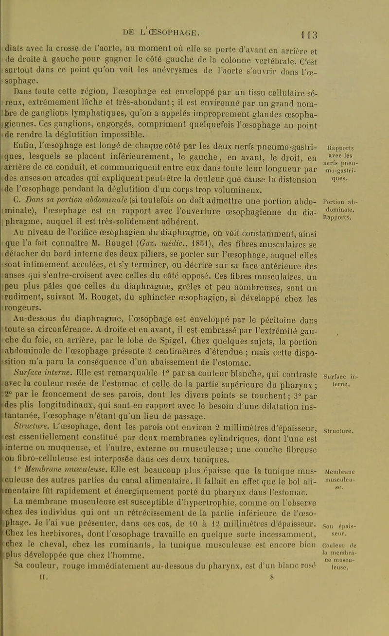 dials avec la ciossq de l'aorte, au moment où elle se porte d'avant en arrii-re et (le droite à gauche pour gagner le côté gauche de la colonne vertébrale. C'est surtout dans ce point qu'on voit les anévrysmes de l'aorte s'ouvrir dans l'œ- • sophage. Dans toute cette ru^giou, l'œsophnge est enveloppé par un tissu cellulaire sé- reux, extrêmement hlche et très-abondant ; il est environné par un grand nom- :bre de ganglions lymphatiques, qu'on a appelés improprement glandes œsopha- igieunes. Ces ganglions, engorgés, compriment quelquefois l'œsophage au point de rendre la déglutition impossible. Enfin, l'œsophage est longé de chaque côté par les deux nerfs pneumo-gaslri- ques, lesquels se placent inférieurement, le gauche, en avant, le droit, en . arrière de ce conduit, et communiquent entre eux dans toute leur longueur par ides anses ou arcades qui expliquent peut-être la douleur que cause la distension ide l'œsophage pendant la déglutition d'un corps trop volumineux. C. Dans sa portion abdominale (si toutefois on doit admettre une portion abdo- iminale), l'œsophage est en rapport avec l'ouverture œsophagienne du dia- phragme, auquel il est très-solidement adhérent. Au niveau de l'orifice œsophagien du diaphragme, on voit constamment, ainsi que l'a fait connaître M. Rouget {Gaz. médic, 1851), des fibres musculaires se détacher du bord interne des deux piliers, se porter sur l'œsophage, auquel elles •sont intimement accolées, et s'y terminer, ou décrire sur sa face antérieure des anses qui s'entre-croisent avec celles du côté opposé. Ces fibres musculaires, un peu plus pâles que celles du diaphragme, grêles et peu nombreuses, sont un irudiment, suivant M. Rouget, du sphincter œsophagien, si développé chez les Rapports avec les nerfs pneii- mo-gaslri- ques. Portion ab- dominale. Rapports. Au-dessous du diaphragme, l'œsophage est enveloppé par le péritoine dans toute sa circonférence. A droite et en avant, il est embrassé par l'extrémité gau- che du foie, en arrière, par le lobe de Spigel. Chez quelques sujets, la portion abdominale de l'œsophage présente 2 centimètres d'étendue ; mais cette dispo- sition m'a paru la conséquence d'un abaissement de l'estomac. Surface interne. Elle est remarquable 1 par sa couleur blanche, qui contraste avec la couleur rosée de l'estomac et celle de la partie supérieure du pharynx ; 2» par le froncement de ses parois, dont les divers points se touchent; 3° par des plis longitudinaux, qui sont en rapport avec le besoin d'une dilatation ins- tantanée, l'œsophage n'étant qu'un lieu de passage. Structure. L'œsophage, dont les parois ont environ 2 millimètres d'épaisseur, est essenliellement constitué par deux membranes cylindriques, dont l'une est interne ou muqueuse, et l'autre, externe ou musculeuse ; une couche fibreuse ou fibro-cellulcuse est interposée dans ces deux tuniques. 1° Membrane musculeuse. Elle est beaucoup plus épaisse que la tunique mus- culeuse des autres parties du canal alimenlairo. 11 fallait en effet que le bol ali- mentaire fût rapidement et énergiquement porté du pharynx dans l'estomac. \/<i membrane musculeuse est susceptible d'hypertrophie, comme on l'observe chez des individus qui ont un rétrécissement de la partie inférieure de l'œso- .phage. Je l'ai vue présenter, dans ces cas, de 10 à 12 millimètres d'épaisseur. Chez les herbivores, dont l'œsophage travaille en quelque sorte incessamment, chez le cheval, chez les ruminants, la tunique musculeuse est encore bien plus développée que chez l'homme. Sa couleur, rouge immédiatement au-dessous du pharynx, est d'un blanc rosé FI. 8 Surface in- terne. Structure. Membrane ntnscule li- se. Son cpais- senr. Couleur de la membra- ne muscu- leuse.